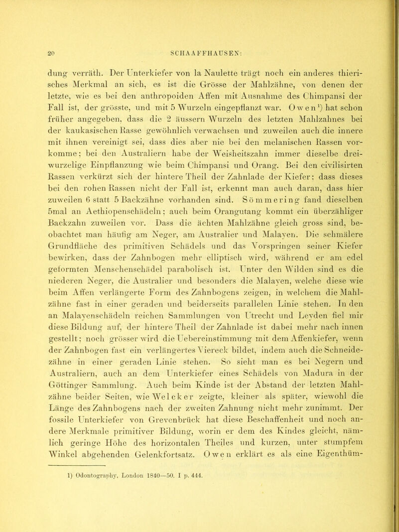 dimg verrätli. Der Unterkiefer von la Naulette trägt noch ein anderes thieri- sches Merkmal an sich, es ist die Grösse der Mahlzähne, von denen der letzte, wie es bei den anthropoiden Affen mit Ausnahme des Chimpansi der Fall ist, der grösste, und mit 5 Wurzeln eingepflanzt war. Owen') hat schon früher angegeben, dass die 2 äussern Wurzeln des letzten Mahlzahnes bei der kaukasischen Rasse gewöhnlich verwachsen und zuweilen auch die innere mit ihnen vereinigt sei, dass dies aber nie bei den melanischen Rassen vor- komme; bei den Australiern habe der Weisheitszahn immer dieselbe drei- wurzelige Einpflanzung wie beim Chimpansi und Orang. Bei den civilisirten Rassen verkürzt sich der hintere Theil der Zahnlade der Kiefer: dass dieses bei den rohen Rassen niclit der Fall ist, erkennt man auch daran, dass hier zuweilen 6 statt 5 Backzähne vorhanden sind. Sörnmering fand dieselben 5mal an Aethiopenschädeln; auch beim Orangutang kommt ein überzähliger Backzahn zuweilen vor. Dass die ächten Mahlzähne gleich gross sind, be- obachtet man häufig am Neger, am Australier und Malayen. Die schmälere Grundfläche des primitiven Schädels und das Vorspringen seiner Kiefer bewirken, dass der Zahnbogen mehr elliptisch wird, wäiirend er am edel geformten Menschenschädel parabolisch ist. FTnter den A¥ilden sind es die niederen Neger, die xkustralier und besonders die Malayen, welche diese wie beim Affen verlängerte Form des Zahnbogens zeigen, in welchem die Mahl- zähne fast in einer geraden und beiderseits parallelen Linie stehen. In den an Malayenschädeln reichen Sammlungen von Utrecht und Leyden fiel mir diese Bildung auf, der hintere Theil der Zahnlade ist dabei mehr nach innen gestellt; noch grösser Avird die Uebereinstimmung mit dem Affenkiefer, wenn der Zahnbogen fast ein verlängertes Viereck bildet, indem auch die Schneide- zähne in einer geraden Linie stehen. So sieht man es bei Negern und Australiern, auch an dem Unterkiefer eines Schädels von Madura in der Göttinger Sammlung. Auch beim Kinde ist der Abstand dei‘ letzten Mahl- zähne beider Seiten, wieWelcker zeigte, kleiner als später, wicAvohl die Länge des Zahnbogens nach der zweiten Zahnung nicht mehr zunimmt. Der fossile Unterkiefer von Grevenbrück hat diese Beschaffenheit und noch an- dere Merkmale primitiver Bildung, Avorin er dem des Kindes gleicht, näm- lich geringe Höhe des horizontalen Theiles und kurzen, unter stumpfem Winkel abgehenden Gelenkfortsatz. Owen erklärt es als eine Eigenthüm- 1) Odontography, London 1840—50. I p. 444.