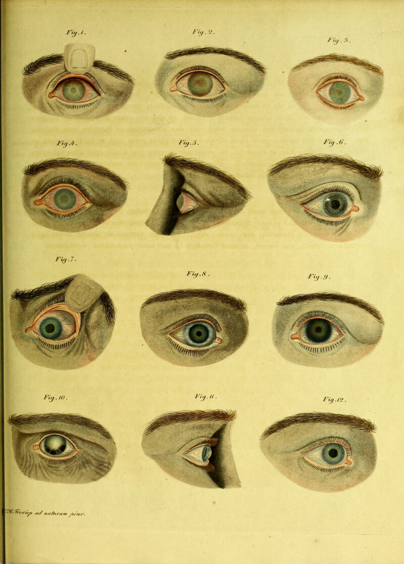 ftt/ H/f /tf t'tf f/r