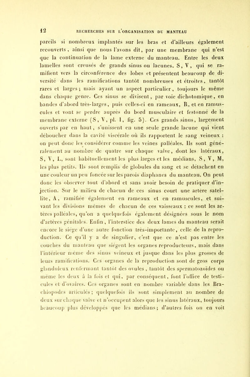 pareils si nombreux implantés sur les bras et d’ailleurs également recouverts, ainsi que nous l’avons dit, par une membrane qui n’est que la continuation de la lame externe du manteau. Entre les deux lamelles sont creusés de grands sinus ou lacunes. S, V, qui se ra- mifient vers la circonférence des lobes et présentent beaucoup de di- versité dans les ramifications tantôt nombreuses et étroites, tantôt rares et larges; mais ayant un aspect particulier, toujours le même dans chaque genre. Ces sinus se divisent, par voie dichotomique, en bandes d’abord très-larges, puis celles-ci en rameaux, R, et en ramus- cules et vont se perdre auprès du bord musculaire et festonné de la membrane externe (S, V, pl. 1, lig. 5). Ces grands sinus, largement ouverts par en haut, s’unissent en une seule grande lacune qui vient déboucher dans la cavité viscérale où ils rapportent le sang veineux: on peut donc les considérer comme les veines palléales. Ils sont géné- ralement au nombre de quatre sur chaque valve, dont les latéraux, S, Y, h, sont habituellement les plus larges et les médians, S, Y, M, les plus petits. Ils sont remplis de globules du sang et se détachent en une couleur un peu foncée sur les parois diaphanes du manteau. On peut donc les observer tout d’abord et sans avoir besoin de pratiquer d’in- jection. Sur le milieu de chacun de ces sinus court une artère satel- lite, A, ramifiée également en rameaux et en ramusculcs, et sui- vant les divisions mêmes de chacun de ces vaisseaux : ce sont les ar- tères palléales, qu’on a quelquefois également désignées sous le nom d’artères génitales. Enfin, l’interstice des deux lames du manteau serait encore le siège d’une autre fonction très-importante, celle de la repro- duction. Ce qu’il y a de singulier, c’est que ce n’est pas entre les couches du manteau que siègent les organes reproducteurs, mais dans l’intérieur même des sinus veineux et jusque dans les plus grosses de leurs ramifications. Ces organes de la reproduction sont de gros corps glanduleux renfermant tantôt des ovules, tantôt des spermatozoïdes ou même les deux à la fois et qui, par conséquent, font l’oflice de testi- cules et d’ovaires. Ces organes sont en nombre variable dans les Bra- cliiopodes articulés; quelquefois ils sont simplement au nombre de deux sur chaque valve et n’occupent alors que les sinus latéraux, toujours beaucoup plus développés que les médians; d’autres fois on en voit