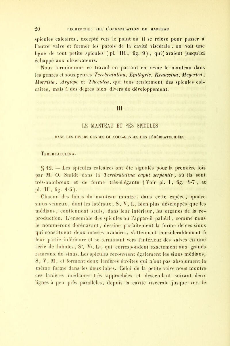 spiculés calcaires , excepté vers le point où il se relève pour passer à l’autre valve et former les parois de la cavité viscérale , on voit une ligne de tout petits spiculés ( pl. III, lig. 9), qui] avaient jusqu’ici échappé aux observateurs. Nous terminerons ce travail en passant en revue le manteau dans les genres et sous-genres Terebratulina, Epilhyris, Kraussina, Megcrlea, Morrisia, Argiope et TUecidea, qui tous renferment des spiculés cal- caires, mais à des degrés bien divers de développement. III. LE MANTEAU ET SES SPICULES DANS LES DIVERS GENRES OU SOUS-GENRES DES TÉRÉBRATULIDÉES. Terebratulina. § 12. — Les spiculés calcaires ont été signalés pour la première fois par M. O. Smidt dans la Terebratulina caput serpentis, où ils sont très-nombreux et de forme très-élégante (Voir pl. I, fig. 1-7, et pl. II , fig. 1-5). Chacun des lobes du manteau montre, dans cette espèce, quatre sinus veineux, dont les latéraux, S, Y, L, bien plus développés que les médians, contiennent seuls, dans leur intérieur, les organes de la re- production. L’ensemble des spiculés ou l’appareil palléal, comme nous le nommerons dorénavant, dessine parfaitement la forme de ces sinus qui constituent deux masses ovalaires, s’atténuant considérablement à leur partie inférieure et se terminant vers l’intérieur des valves en une série de lobules, S', Y', L', qui correspondent exactement aux grands rameaux du sinus. Les spiculés recouvrent également les sinus médians, S, V, M, et forment deux lanières étroites qui n’ont pas absolument la même forme dans les deux lobes. Celui de la petite valve nous montre ces lanières médianes très-rapprochées et descendant suivant deux lignes à peu près parallèles, depuis la cavité viscérale jusque vers le