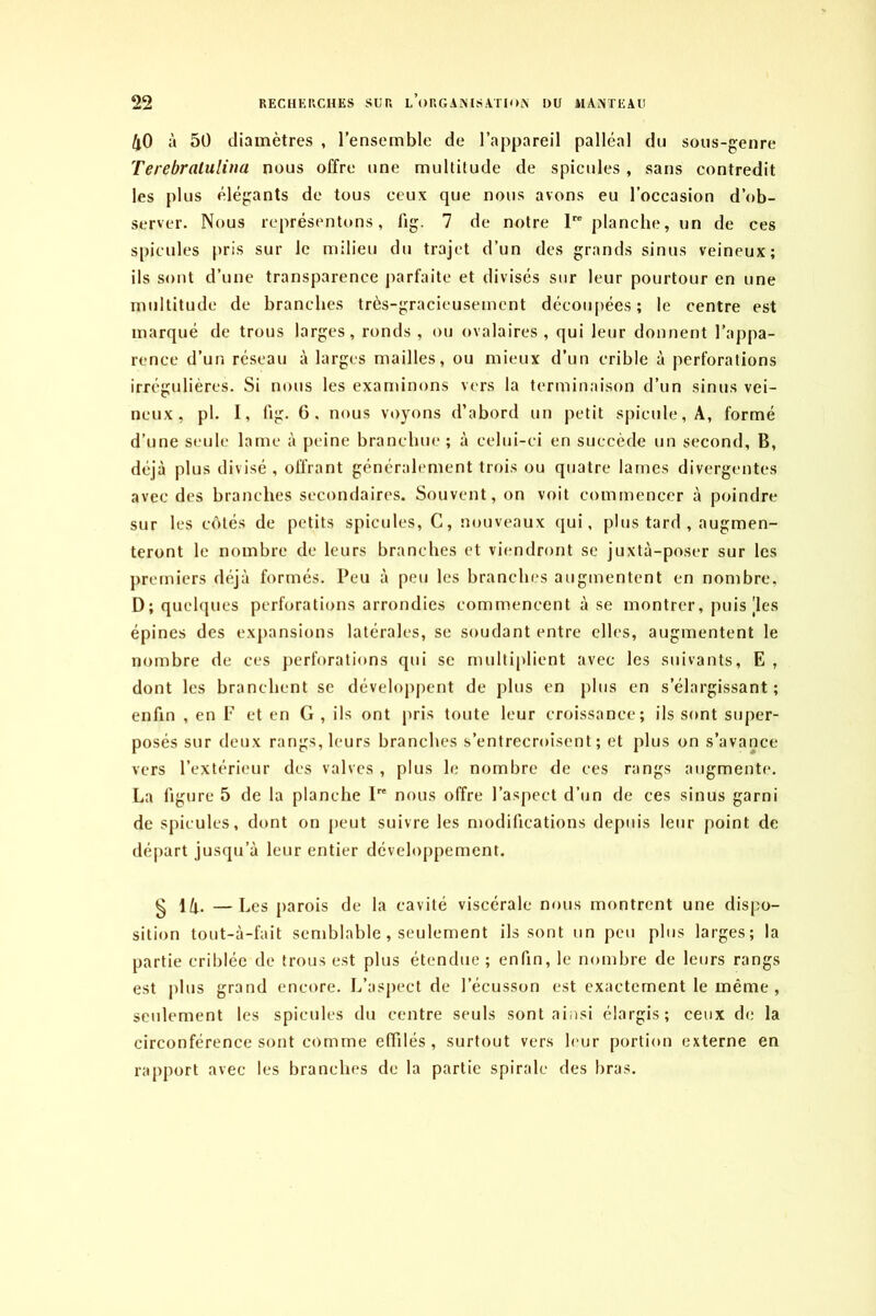 40 à 5Ü diamètres , l’ensemble de l’appareil palléal du sous-genre Terebralulina nous offre une multitude de spiculés, sans contredit les plus élégants de tous ceux que nous avons eu l’occasion d’ob- server. Nous représentons, fig. 7 de notre Ire planche, un de ces spiculés pris sur le milieu du trajet d’un des grands sinus veineux; ils sont d’une transparence parfaite et divisés sur leur pourtour en une multitude de branches très-gracieusement découpées; le centre est marqué de trous larges, ronds , ou ovalaires , qui leur donnent l’appa- rence d’un réseau à larges mailles, ou mieux d’un crible à perforations irrégulières. Si nous les examinons vers la terminaison d’un sinus vei- neux, pl. I, fig. 6. nous voyons d’abord un petit spiculé, A, formé d’une seule lame à peine branchue; à celui-ci en succède un second. B, déjà plus divisé , offrant généralement trois ou quatre lames divergentes avec des branches secondaires. Souvent, on voit commencer à poindre sur les côtés de petits spiculés, C, nouveaux qui, plus tard , augmen- teront le nombre de leurs branches et viendront se juxtà-poser sur les premiers déjà formés. Peu à peu les branches augmentent en nombre, D; quelques perforations arrondies commencent à se montrer, puis des épines des expansions latérales, se soudant entre elles, augmentent le nombre de ces perforations qui se multiplient avec les suivants, E , dont les branchent se développent de plus en plus en s’élargissant; enfin , en P et en G , ils ont pris toute leur croissance; ils sont super- posés sur deux rangs, leurs branches s’entrecroisent; et plus on s’avance vers l’extérieur des valves , plus le nombre de ces rangs augmente. La figure 5 de la planche Ir' nous offre l’aspect d’un de ces sinus garni de spiculés, dont on peut suivre les modifications depuis leur point de départ jusqu’à leur entier développement. g 14. —Les parois de la cavité viscérale nous montrent une dispo- sition tout-à-fait semblable , seulement ils sont un peu plus larges; la partie criblée de trous est plus étendue; enfin, le nombre de leurs rangs est plus grand encore. L’aspect de l’écusson est exactement le même, seulement les spiculés du centre seuls sont ainsi élargis; ceux de la circonférence sont comme effilés, surtout vers leur portion externe en rapport avec les branches de la partie spirale des bras.