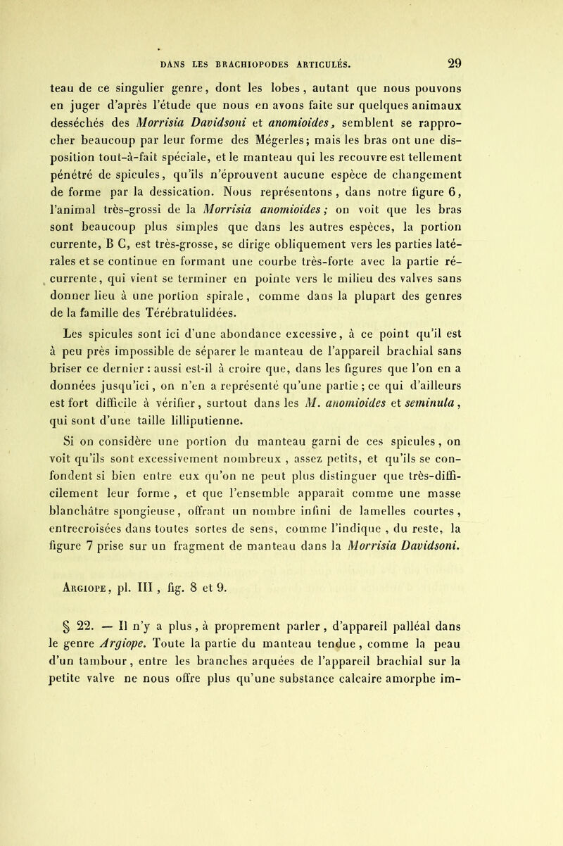 teau de ce singulier genre, dont les lobes, autant que nous pouvons en juger d’après l’étude que nous en avons faite sur quelques animaux desséchés des Morrisia Davidsoni et anomioides, semblent se rappro- cher beaucoup par leur forme des Mégerles; mais les bras ont une dis- position tout-à-fait spéciale, et le manteau qui les recouvre est tellement pénétré de spiculés, qu’ils n’éprouvent aucune espèce de changement de forme par la dessication. Nous représentons, dans notre figure 6, l’animal très-grossi de la Morrisia anomioides ; on voit que les bras sont beaucoup plus simples que dans les autres espèces, la portion currente, B G, est très-grosse, se dirige obliquement vers les parties laté- rales et se continue en formant une courbe très-forte avec la partie ré- currente, qui vient se terminer en pointe vers le milieu des valves sans donner lieu à une portion spirale, comme dans la plupart des genres de la famille des Térébratulidées. Les spiculés sont ici d’une abondance excessive, à ce point qu’il est à peu près impossible de séparer le manteau de l’appareil brachial sans briser ce dernier : aussi est-il à croire que, dans les figures que l’on en a données jusqu’ici, on n’en a représenté qu’une partie ; ce qui d’ailleurs est fort difficile à vérifier, surtout dans les M. anomioides et seminula, qui sont d’une taille lilliputienne. Si on considère une portion du manteau garni de ces spiculés, on voit qu’ils sont excessivement nombreux , assez petits, et qu’ils se con- fondent si bien entre eux qu’on ne peut plus distinguer que très-diffi- cilement leur forme , et que l’ensemble apparaît comme une masse blanchâtre spongieuse, offrant un nombre infini de lamelles courtes, entrecroisées dans toutes sortes de sens, comme l’indique , du reste, la figure 7 prise sur un fragment de manteau dans la Morrisia Davidsoni. Argiope , pl. III, fig. 8 et 9. § 22. — Il n’y a plus, à proprement parler , d’appareil palléal dans le genre Argiope. Toute la partie du manteau tendue, comme la peau d’un tambour, entre les branches arquées de l’appareil brachial sur la petite valve ne nous offre plus qu’une substance calcaire amorphe im-