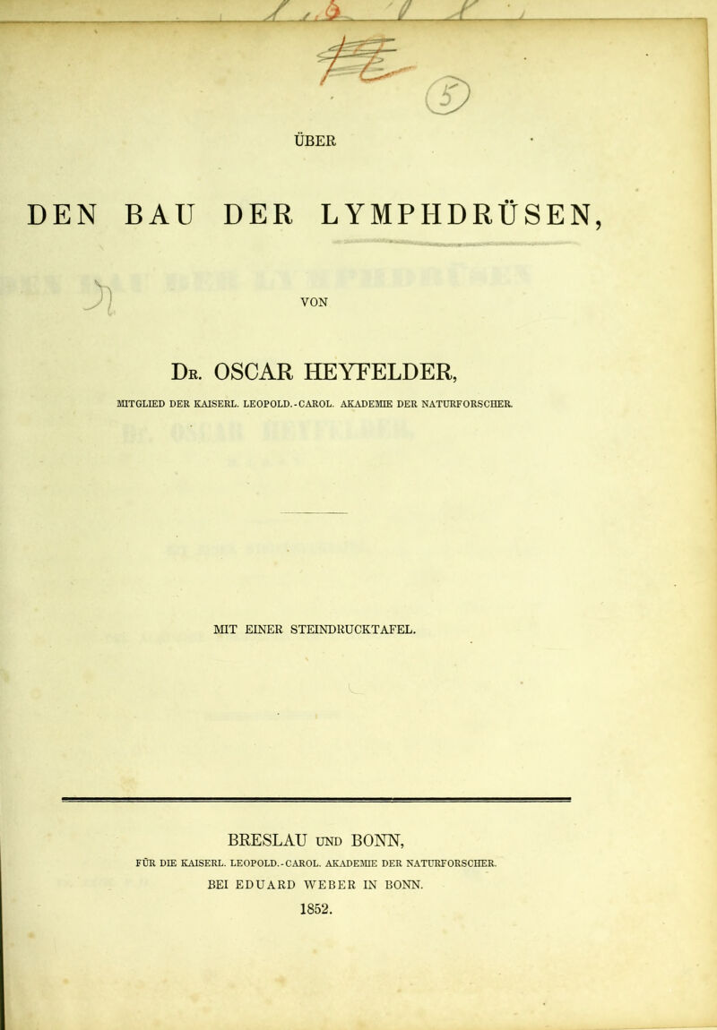 DEN BAU DER LYMPHDRÜSEN, De. OSCAR HEYFELDER, MITGLIED DER KAISERL. LEOPOLD.-CAROL. AKADEMIE DER NATURFORSCHER. MIT EINER STEINDRUCKTAFEL. BRESLAU und BONN, FÜR DIE KAISERL. LEOPOLD.-CAROL. AKADEMIE DER NATURFORSCHER. BEI EDUARD WEBER IN BONN. 1852.