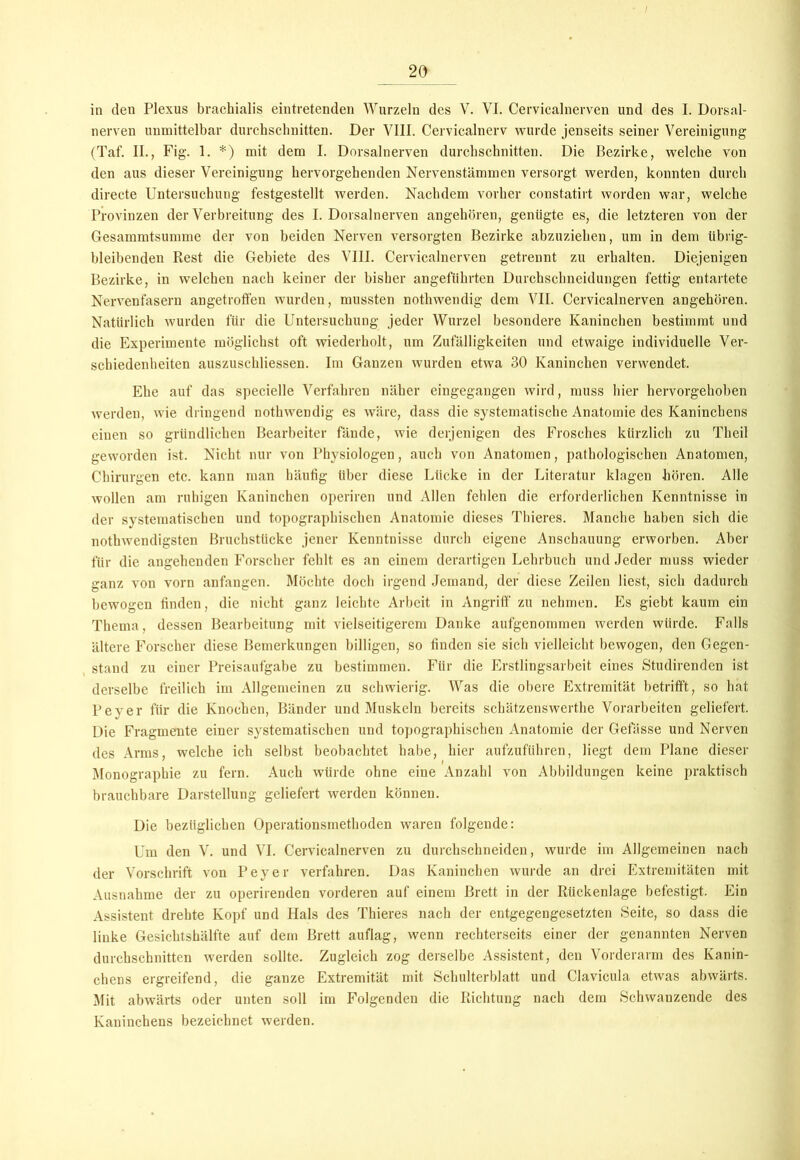 in den Plexus braehialis eintretenden Wurzeln des V. VI. Cervicalnerven und des I. Dorsal- nerven unmittelbar durchschnitten. Der VIII. Cervicalnerv wurde jenseits seiner Vereinigung (Taf. II., Fig. 1. *) mit dem I. Dorsalnerven durchschnitten. Die Bezirke, welche von den aus dieser Vereinigung hervorgehenden Nervenstämmen versorgt werden, konnten durch directe Untersuchung festgestellt werden. Nachdem vorher constatirt worden war, welche Provinzen der Verbreitung des I. Dorsalnerven angehören, genügte es, die letzteren von der Gesammtsumme der von beiden Nerven versorgten Bezirke abzuziehen, um in dem übrig- bleibenden Rest die Gebiete des VIII. Cervicalnerven getrennt zu erhalten. Diejenigen Bezirke, in welchen nach keiner der bisher angeführten Durchschneidungen fettig entartete Nervenfasern angetroffen wurden, mussten nothwendig dem VII. Cervicalnerven angehören. Natürlich wurden für die Untersuchung jeder Wurzel besondere Kaninchen bestimmt und die Experimente möglichst oft wiederholt, um Zufälligkeiten und etwaige individuelle Ver- schiedenheiten auszuschliessen. Im Ganzen wurden etwa 30 Kaninchen verwendet. Ehe auf das specielle Verfahren näher eingegangen wird, muss hier hervorgehoben werden, wie dringend nothwendig es wäre, dass die systematische Anatomie des Kaninchens einen so gründlichen Bearbeiter fände, wie derjenigen des Frosches kürzlich zu Theil geworden ist. Nicht nur von Physiologen, auch von Anatomen, pathologischen Anatomen, Chirurgen etc. kann man häutig über diese Lücke in der Literatur klagen hören. Alle wollen am ruhigen Kaninchen operiren und Allen fehlen die erforderlichen Kenntnisse in der systematischen und topographischen Anatomie dieses Thieres. Manche haben sich die nothwendigsten Bruchstücke jener Kenntnisse durch eigene Anschauung erworben. Aber für die angehenden Forscher fehlt es an einem derartigen Lehrbuch und Jeder muss wieder ganz von vorn anfangen. Möchte doch irgend Jemand, der diese Zeilen liest, sich dadurch bewogen finden, die nicht ganz leichte Arbeit in Angriff zu nehmen. Es giebt kaum ein Thema, dessen Bearbeitung mit vielseitigerem Danke aufgenommen werden würde. Falls ältere Forscher diese Bemerkungen billigen, so finden sie sich vielleicht bewogen, den Gegen- stand zu einer Preisaufgabe zu bestimmen. Für die Erstlingsarbeit eines Studirenden ist derselbe freilich im Allgemeinen zu schwierig. Was die obere Extremität betrifft, so hat Peyer für die Knochen, Bänder und Muskeln bereits sebätzenswerthe Vorarbeiten geliefert. Die Fragmente einer systematischen und topographischen Anatomie der Gefässe und Nerven des Arms, welche ich selbst beobachtet habe, hier aufzuführen, liegt dem Plane dieser ' i Monographie zu fern. Auch würde ohne eine Anzahl von Abbildungen keine praktisch brauchbare Darstellung geliefert werden können. Die bezüglichen Operationsmethoden waren folgende: Um den V. und VI. Cervicalnerven zu durchschneiden, wurde im Allgemeinen nach der Vorschrift von Peyer verfahren. Das Kaninchen wurde an drei Extremitäten mit Ausnahme der zu operirenden vorderen auf einem Brett in der Rückenlage befestigt. Ein Assistent drehte Kopf und Hals des Thieres nach der entgegengesetzten Seite, so dass die linke Gesichtshälfte auf dem Brett auflag, wenn rechterseits einer der genannten Nerven durchschnitten werden sollte. Zugleich zog derselbe Assistent, den Vorderarm des Kanin- chens ergreifend, die ganze Extremität mit Schulterblatt und Clavicula etwas abwärts. Mit abwärts oder unten soll im Folgenden die Richtung nach dem Schwanzende des Kaninchens bezeichnet werden.
