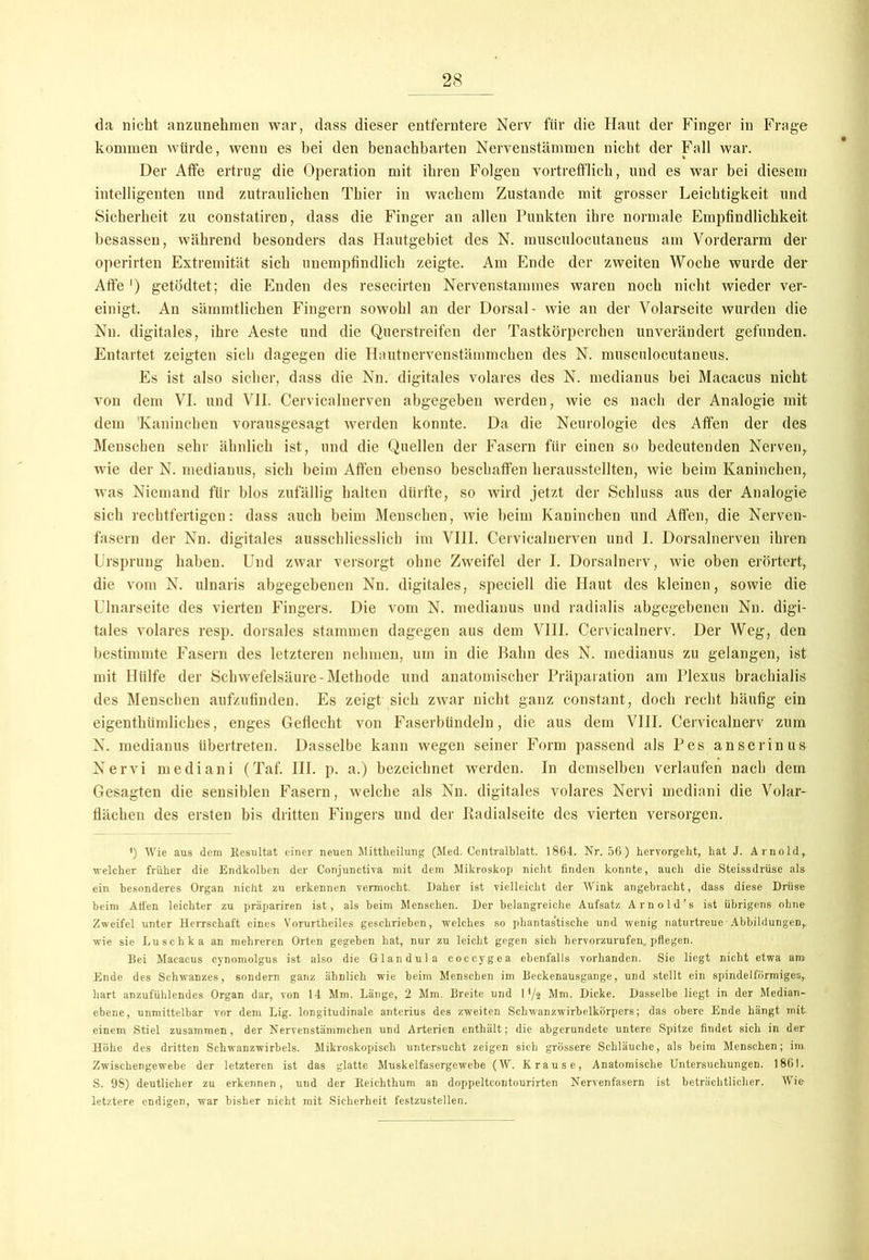 da nicht anzunehmen war, dass dieser entferntere Nerv für die Haut der Finger in Frage kommen würde, wenn es bei den benachbarten Nervenstämmen nicht der Fall war. Der Affe ertrug die Operation mit ihren Folgen vortrefflich, und es war bei diesem intelligenten und zutraulichen Thier in wachem Zustande mit grosser Leichtigkeit und Sicherheit zu constatiren, dass die Finger an allen Punkten ihre normale Empfindlichkeit besasseu, während besonders das Hautgebiet des N. nnisculocutaneus am Vorderarm der operirten Extremität sich unempfindlich zeigte. Am Ende der zweiten Woche wurde der Affe ') getodtet; die Enden des resecirten Nervenstammes waren noch nicht wieder ver- einigt. An sämmtlichen Fingern sowohl an der Dorsal- wie an der Volarseite wurden die Nn. digitales, ihre Aeste und die Querstreifen der Tastkörperchen unverändert gefunden. Entartet zeigten sich dagegen die Hautnervenstämmchen des N. nnisculocutaneus. Es ist also sicher, dass die Nn. digitales volares des N. medianus bei Macacus nicht von dem VI. und VII. Cervicalnerven abgegeben werden, wie es nach der Analogie mit dem Kaninchen vorausgesagt werden konnte. Da die Neurologie des Affen der des Menschen sehr ähnlich ist, und die Quellen der Fasern für einen so bedeutenden Nerven, wie der N. medianus, sich beim Affen ebenso beschaffen herausstellten, wie beim Kaninchen, was Niemand für blos zufällig halten dürfte, so wird jetzt der Schluss aus der Analogie sich rechtfertigen: dass auch beim Menschen, wie beim Kaninchen und Affen, die Nerven- fasern der Nn. digitales ausschliesslich im VIII. Cervicalnerven und I. Dorsalnerven ihren Ursprung haben. Und zwar versorgt ohne Zweifel der I. Dorsalnerv, wie oben erörtert, die vom N. ulnaris abgegebenen Nn. digitales, speciell die Haut des kleinen, sowie die Ulnarseite des vierten Fingers. Die vom N. medianus und radialis abgegebenen Nn. digi- tales volares resp. dorsales stammen dagegen aus dem VIII. Cerviealnerv. Der Weg, den bestimmte Fasern des letzteren nehmen, um in die Bahn des N. medianus zu gelangen, ist mit Hülfe der Schwefelsäure-Methode und anatomischer Präparation am Plexus brachialis des Menschen aufzufinden. Es zeigt sich zwar nicht ganz constant, doch recht häufig ein eigentümliches, enges Geflecht von Faserbündeln, die aus dem VIII. Cerviealnerv zum N. medianus übertreten. Dasselbe kann wegen seiner Form passend als Pes anserinus Nervi mediani (Taf. III. p. a.) bezeichnet werden. In demselben verlaufen nach dem Gesagten die sensiblen Fasern, welche als Nn. digitales volares Nervi mediani die Volar- flächen des ersten bis dritten Fingers und der Iladialseite des vierten versorgen. ') Wie aus dem Resultat einer neuen Mittheilung (Med. Centralblatt. 1864. Nr. 56) hervorgeht, hat J. Arnold, welcher früher die Endkolben der Conjunctiva mit dem Mikroskop nicht finden konnte, auch die Steissdrüse als ein besonderes Organ nicht zu erkennen vermocht. Daher ist vielleicht der Wink angebracht, dass diese Drüse beim Alfen leichter zu präpariren ist, als beim Menschen. Der belangreiche Aufsatz Arnold’s ist übrigens ohne Zweifel unter Herrschaft eines Vorurtheiles geschrieben, welches so phantastische und wenig naturtreue Abbildungen, wie sie Luschka an mehreren Orten gegeben hat, nur zu leicht gegen sich hervorzurufen, pflegen. Bei Macacus cynomolgus ist also die Glandula coccygea ebenfalls vorhanden. Sie liegt nicht etwa am Ende des Schwanzes, sondern ganz ähnlich wie beim Menschen im Beckenausgange, und stellt ein spindelförmiges, hart anzufühlendes Organ dar, von 14 Mm. Länge, 2 Mm. Breite und 1 '/t Mm. Dicke. Dasselbe liegt in der Median- ebene, unmittelbar vor dem Lig. longitudinale anterius des zweiten Schwanzwirbelkörpers; das obere Ende hängt mit einem Stiel zusammen, der Nervenstämmchen und Arterien enthält; die abgerundete untere Spitze findet sich in der Höhe des dritten Schwanzwirbels. Mikroskopisch untersucht zeigen sich grössere Schläuche, als beim Menschen; im Zwischengewebe der letzteren ist das glatte Muskelfasergewebe (W. Krause, Anatomische Untersuchungen. 1861. S. 98) deutlicher zu erkennen, und der Reichthum an doppeltcontourirten Nervenfasern ist beträchtlicher. Wie letztere endigen, war bisher nicht mit Sicherheit festzustellen.