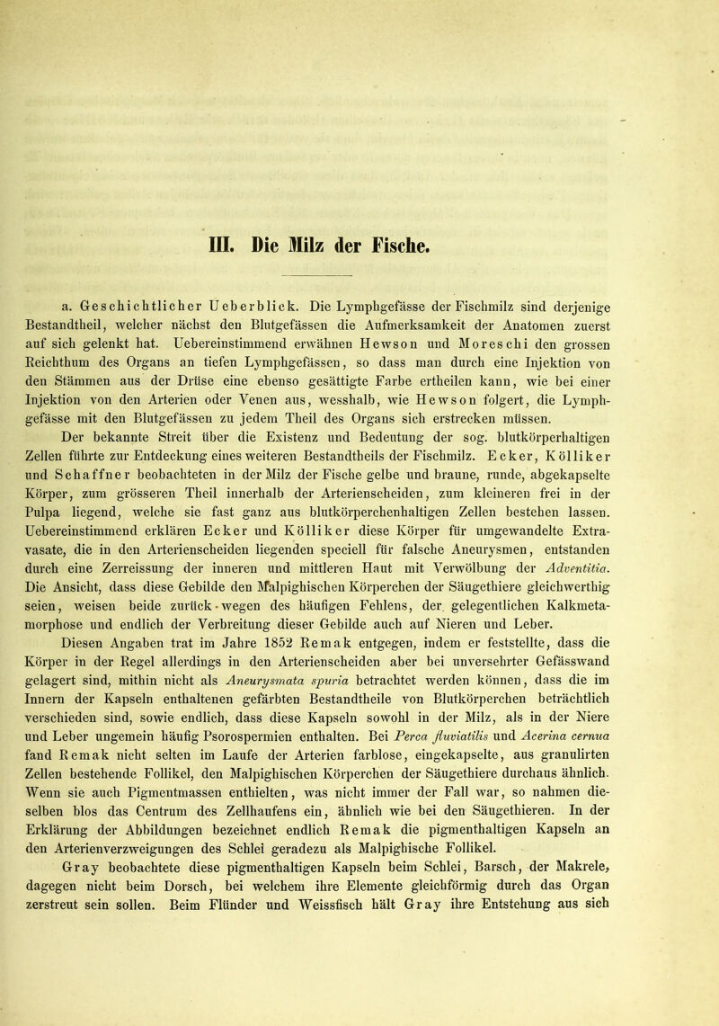 III. Die Milz der Fische, a. Geschichtlicher Ueberbliek. Die Lympligefässe der Fischmilz sind derjenige Bestandteil, welcher nächst den Blutgefässen die Aufmerksamkeit der Anatomen zuerst auf sich gelenkt hat. Uebereinstimmend erwähnen Hewson und Moreschi den grossen Reichthum des Organs an tiefen Lymphgefässen, so dass man durch eine Injektion von den Stämmen aus der Drüse eine ebenso gesättigte Farbe erteilen kann, wie bei einer Injektion von den Arterien oder Venen aus, wesshalb, wie Hewson folgert, die Lymph- gefässe mit den Blutgefässen zu jedem Theil des Organs sich erstrecken müssen. Der bekannte Streit über die Existenz und Bedeutung der sog. blutkörperhaltigen Zellen führte zur Entdeckung eines weiteren Bestandteils der Fischmilz. Ecker, Kölliker und Schaffner beobachteten in der Milz der Fische gelbe und braune, runde, abgekapselte Körper, zum grösseren Theil innerhalb der Arterienscheiden, zum kleineren frei in der Pulpa liegend, welche sie fast ganz aus blutkörperchenhaltigen Zellen bestehen lassen. Uebereinstimmend erklären Ecker und Kölliker diese Körper für umgewandelte Extra- vasate, die in den Arterienscheiden liegenden speciell für falsche Aneurysmen, entstanden durch eine Zerreissung der inneren und mittleren Haut mit Verwölbung der Adventitici. Die Ansicht, dass diese Gebilde den M*alpighischen Körperchen der Säugetiere gleichwertig seien, weisen beide zurück-wegen des häufigen Fehlens, der gelegentlichen Kalkmeta- morphose und endlich der Verbreitung dieser Gebilde auch auf Nieren und Leber. Diesen Angaben trat im Jahre 1852 Remak entgegen, indem er feststellte, dass die Körper in der Regel allerdings in den Arterienscheiden aber bei unversehrter Gefässwand gelagert sind, mithin nicht als Aneurysmata spuria betrachtet werden können, dass die im Innern der Kapseln enthaltenen gefärbten Bestandteile von Blutkörperchen beträchtlich verschieden sind, sowie endlich, dass diese Kapseln sowohl in der Milz, als in der Niere und Leber ungemein häufig Psorospermien enthalten. Bei Perca fluviatilis und Acerina cernua fand Remak nicht selten im Laufe der Arterien farblose, eingekapselte, aus granulirten Zellen bestehende Follikel, den Malpighischen Körperchen der Säugetiere durchaus ähnlich. Wenn sie auch Pigmentmassen enthielten, was nicht immer der Fall war, so nahmen die- selben blos das Centrum des Zellhaufens ein, ähnlich wie bei den Säugetieren. In der Erklärung der Abbildungen bezeichnet endlich Remak die pigmenthaltigen Kapseln an den Arterienverzweigungen des Schlei geradezu als Malpighische Follikel. Gray beobachtete diese pigmenthaltigen Kapseln beim Schlei, Barsch, der Makrele, dagegen nicht beim Dorsch, bei welchem ihre Elemente gleichförmig durch das Organ zerstreut sein sollen. Beim Flünder und Weissfisch hält Gray ihre Entstehung aus sich