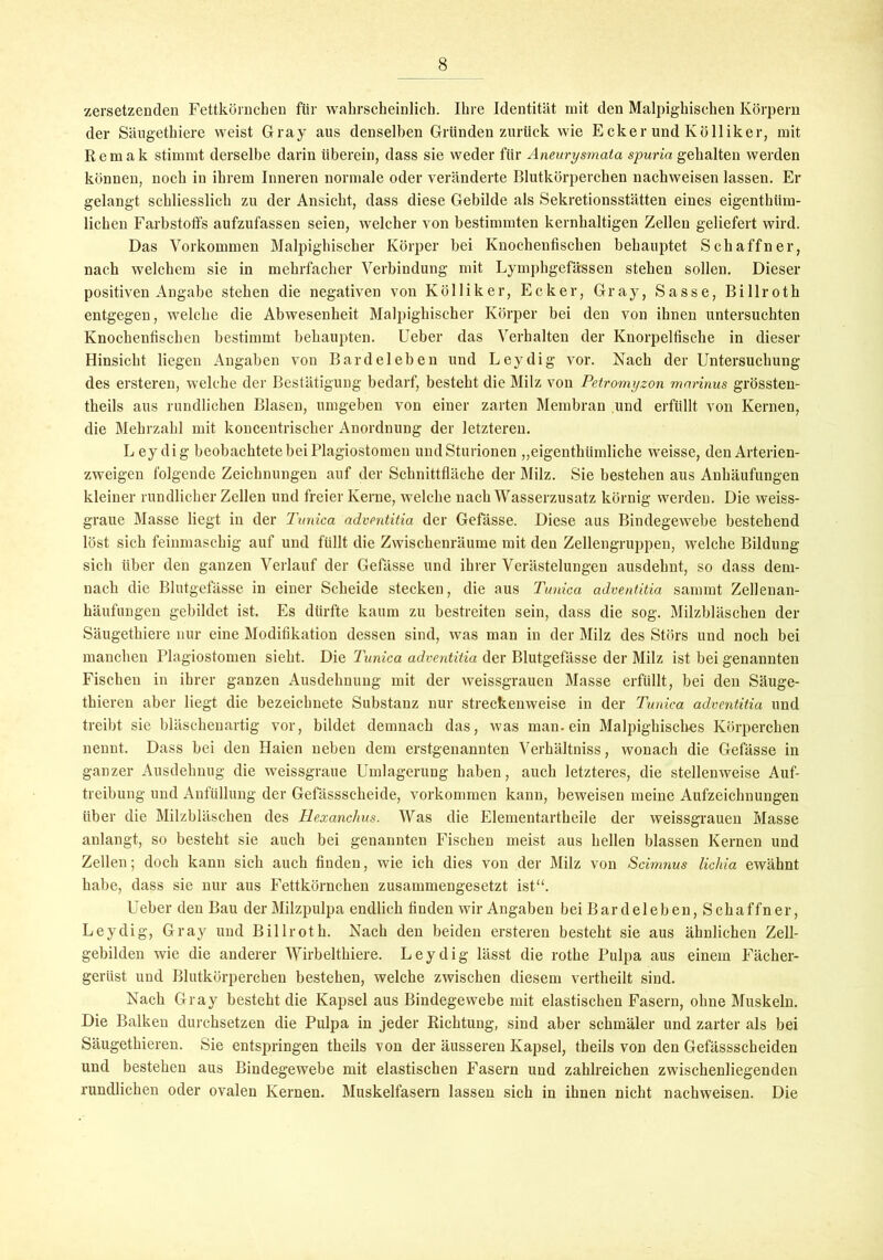 zersetzenden Fettkörnchen für wahrscheinlich. Ihre Identität mit den Malpighischen Körpern der Säugethiere weist Gray aus denselben Gründen zurück wie E cker und Kölliker, mit Remak stimmt derselbe darin überein, dass sie weder für Aneurysmata spuria gehalten werden können, noch in ihrem Inneren normale oder veränderte Blutkörperchen nachweisen lassen. Er gelangt schliesslich zu der Ansicht, dass diese Gebilde als Sekretionsstätten eines eigenthüm- lichen Farbstoffs aufzufassen seien, welcher von bestimmten kernhaltigen Zellen geliefert wird. Das Vorkommen Malpighischer Körper bei Knochenfischen behauptet Schaffner, nach welchem sie in mehrfacher Verbindung mit Lymphgefässen stehen sollen. Dieser positiven Angabe stehen die negativen von Kölliker, Ecker, Gray, Sasse, Billroth entgegen, welche die Abwesenheit Malpighischer Körper bei den von ihnen untersuchten Knochenfischen bestimmt behaupten. Ueber das Verhalten der Knorpelfische in dieser Hinsicht liegen Angaben von Bardeleben und Leydig vor. Nach der Untersuchung des ersteren, welche der Bestätigung bedarf, besteht die Milz von Petromyzon marinus grössten- theils aus rundlichen Blasen, umgeben von einer zarten Membran und erfüllt von Kernen, die Mehrzahl mit koncentrischer Anordnung der letzteren. Leydig beobachtete bei Plagiostomen undSturionen „eigenthiimliche weisse, den Arterien- zweigen folgende Zeichnungen auf der Schnittfläche der Milz. Sie bestehen aus Anhäufungen kleiner rundlicher Zellen und freier Kerne, welche nach Wasserzusatz körnig werden. Die weiss- graue Masse liegt in der Tunica adventitia der Gefässe. Diese aus Bindegewebe bestehend löst sich feinmaschig auf und füllt die Zwischenräume mit den Zellengruppen, welche Bildung sich über den ganzen Verlauf der Gefässe und ihrer Verästelungen ausdehnt, so dass dem- nach die Blutgefässe in einer Scheide stecken, die aus Tunica adventitia sammt Zellenan- häufungen gebildet ist. Es dürfte kaum zu bestreiten sein, dass die sog. Milzbläschen der Säugethiere nur eine Modifikation dessen sind, was man in der Milz des Störs und noch bei manchen Plagiostomen sieht. Die Tunica adventitia der Blutgefässe der Milz ist bei genannten Fischen in ihrer ganzen Ausdehnung mit der weissgrauen Masse erfüllt, bei den Säuge- thieren aber liegt die bezeiclmete Substanz nur streckenweise in der Tunica adventitia und treibt sie bläschenartig vor, bildet demnach das, was man. ein Malpighisches Körperchen nennt. Dass bei den Haien neben dem erstgenannten Verhältniss, wonach die Gefässe in ganzer Ausdehnug die weissgraue Umlageruug haben, auch letzteres, die stellenweise Auf- treibung und Anfüllung der Gefässscheide, Vorkommen kann, beweisen meine Aufzeichnungen über die Milzbläschen des Hexanclius. Was die Elementartheile der weissgrauen Masse anlangt, so besteht sie auch bei genannten Fischen meist aus hellen blassen Kernen und Zellen; doch kann sich auch finden, wie ich dies von der Milz von Scimnus lichia ewähnt habe, dass sie nur aus Fettkörnchen zusammengesetzt ist“. Ueber den Bau der Milzpulpa endlich finden wir Angaben bei Bardeleben, Schaffner, Leydig, Gray und Billroth. Nach den beiden ersteren besteht sie aus ähnlichen Zell- gebilden wie die anderer Wirbelthiere. Leydig lässt die rothe Pulpa aus einem Fächer- gerüst und Blutkörperchen bestehen, welche zwischen diesem vertheilt sind. Nach Gray besteht die Kapsel aus Bindegewebe mit elastischen Fasern, ohne Muskeln. Die Balken durchsetzen die Pulpa in jeder Richtung, sind aber schmäler und zarter als bei Säugethieren. Sie entspringen theils von der äusseren Kapsel, theils von den Gefässscheiden und bestehen aus Bindegewebe mit elastischen Fasern und zahlreichen zwischenliegenden rundlichen oder ovalen Kernen. Muskelfasern lassen sich in ihnen nicht nachweisen. Die