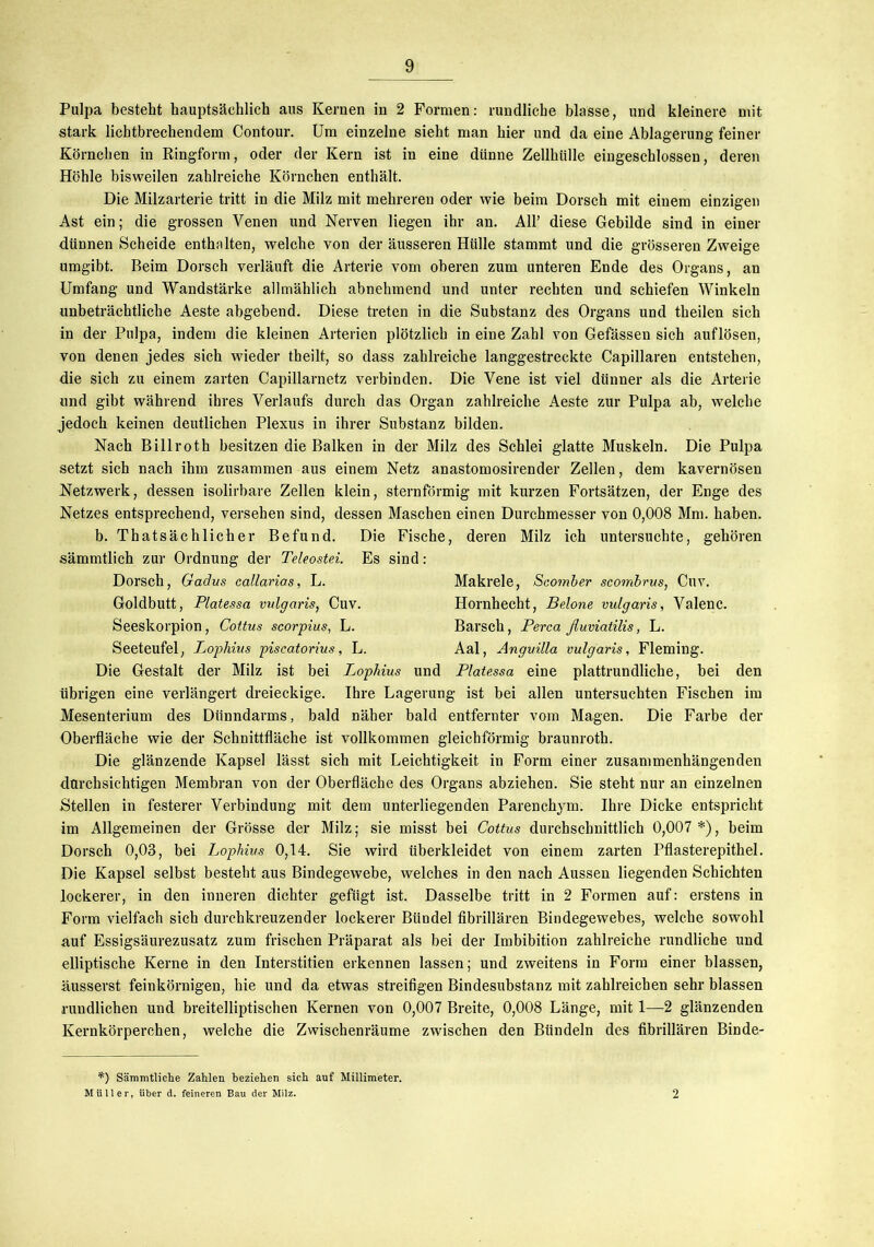Pulpa besteht hauptsächlich aus Kernen in 2 Formen: rundliche blasse, und kleinere mit stark lichtbrechendem Contour. Um einzelne sieht man hier und da eine Ablagerung feiner Körnchen in Ringform, oder der Kern ist in eine dünne Zellhülle eingeschlossen, deren Höhle bisweilen zahlreiche Körnchen enthält. Die Milzarterie tritt in die Milz mit mehreren oder wie beim Dorsch mit einem einzigen Ast ein; die grossen Venen und Nerven liegen ihr an. All’ diese Gebilde sind in einer dünnen Scheide enthalten, welche von der äusseren Hülle stammt und die grösseren Zweige umgibt. Beim Dorsch verläuft die Arterie vom oberen zum unteren Ende des Organs, an Umfang und Wandstärke allmählich abnehmend und unter rechten und schiefen Winkeln unbeträchtliche Aeste abgebend. Diese treten in die Substanz des Organs und theilen sich in der Pulpa, indem die kleinen Arterien plötzlich in eine Zahl von Gefässen sich auflösen, von denen jedes sich wieder theilt, so dass zahlreiche langgestreckte Capillaren entstehen, die sich zu einem zarten Capillarnetz verbinden. Die Vene ist viel dünner als die Arterie und gibt während ihres Verlaufs durch das Organ zahlreiche Aeste zur Pulpa ab, welche jedoch keinen deutlichen Plexus in ihrer Substanz bilden. Nach Billroth besitzen die Balken in der Milz des Schlei glatte Muskeln. Die Pulpa setzt sich nach ihm zusammen aus einem Netz anastomosirender Zellen, dem kavernösen Netzwerk, dessen isolirbare Zellen klein, sternförmig mit kurzen Fortsätzen, der Enge des Netzes entsprechend, versehen sind, dessen Maschen einen Durchmesser von 0,008 Mm. haben. b. Thatsächlicher Befund. Die Fische, deren Milz ich untersuchte, gehören sämmtlich zur Ordnung der Teleostei. Es sind: Dorsch, Gadus callarias, L. Goldbutt, Platessa vulgaris, Cuv. Seeskorpion, Cottus scorpius, L. Seeteufel, Lophius piscatorius, L. Die Gestalt der Milz ist bei Lophius und Platessa eine plattrundliche, bei den übrigen eine verlängert dreieckige. Ihre Lagerung ist bei allen untersuchten Fischen im Mesenterium des Dünndarms, bald näher bald entfernter vom Magen. Die Farbe der Oberfläche wie der Schnittfläche ist vollkommen gleichförmig braunroth. Die glänzende Kapsel lässt sich mit Leichtigkeit in Form einer zusammenhängenden durchsichtigen Membran von der Oberfläche des Organs abziehen. Sie steht nur an einzelnen Stellen in festerer Verbindung mit dem unterliegenden Parenchym. Ihre Dicke entspricht im Allgemeinen der Grösse der Milz; sie misst hei Cottus durchschnittlich 0,007 *), beim Dorsch 0,03, bei Lophius 0,14. Sie wird überkleidet von einem zarten Pflasterepithel. Die Kapsel selbst besteht aus Bindegewebe, welches in den nach Aussen liegenden Schichten lockerer, in den inneren dichter gefügt ist. Dasselbe tritt in 2 Formen auf: erstens in Form vielfach sich durchkreuzender lockerer Bündel fibrillären Bindegewebes, welche sowohl auf Essigsäurezusatz zum frischen Präparat als bei der Imbibition zahlreiche rundliche und elliptische Kerne in den Interstitien erkennen lassen; und zweitens in Form einer blassen, äusserst feinkörnigen, hie und da etwas streifigen Bindesubstanz mit zahlreichen sehr blassen rundlichen und breitelliptischen Kernen von 0,007 Breite, 0,008 Länge, mit 1—2 glänzenden Kernkörperchen, welche die Zwischenräume zwischen den Bündeln des fibrillären Binde- Makrele, Scomber scombrus, Cuv. Hornhecht, Belone vulgaris, Valenc. Barsch, Perca ßuviatilis, L. Aal, Anguilla vulgaris, Fleming. *) Sämmtliche Zahlen beziehen sich auf Millimeter. Müller, über d. feineren Bau der Milz.