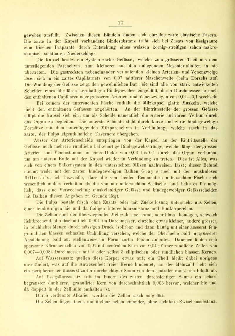 gewebes ausfüllt. Zwischen diesen Bündeln finden sich einzelne zarte elastische Fasern. Die zarte in der Kapsel vorhandene Bindesubstanz trübt sich bei Zusatz von Essigsäure zum frischen Präparate durch Entstehung eines weissen körnig-streifigen schon makro- skopisch sichtbaren Niederschlags. Die Kapsel besitzt ein System zarter Gefässe, welche zum grösseren Theil aus dem unterliegenden Parenchym, zum kleineren aus den anliegenden Mesenterialfalten in sie übertreten. Die gestreckten nebeneinander verlaufenden kleinen Arterien- und Venenzweige lösen sich in ein zartes Capillarnetz von 0,07 mittlerer Maschenweite (beim Dorsch) auf. Die Wandung der Gefässe zeigt den gewöhnlichen Bau; sie sind alle von stark entwickelten Scheiden eines fibrillären kernhaltigen Bindegewebes eingehüllt, deren Durchmesser je nach den enthaltenen Capillaren oder grösseren Arterien- und Venenzweigen von 0,04—0,1 wechselt. Bei keinem der untersuchten Fische enthält die Milzkapsel glatte Muskeln, welche nicht den enthaltenen Gefässen angehörten. An der Eintrittsstelle der grossen Gefässe stülpt die Kapsel sich ein, um als Scheide namentlich die Arterie auf ihrem Verlauf durch das Organ zu begleiten. Die unterste Schichte steht durch kurze und zarte bindegewebige Fortsätze mit dem untenliegenden Milzparenchym in Verbindung, welche rasch in das zarte, der Pulpa eigenthiimliche Fasernetz übergehen. Ausser der Arterienscheide entspringen von der Kapsel an der Eintrittsstelle der Gefässe noch mehrere rundliche balkenartige ßindegewcbsstränge, welche längs der grossen Arterien- und Venenstämme in einer Dicke von 0,06 bis 0,1 durch das Organ verlaufen, um am unteren Ende mit der Kapsel wieder in Verbindung zu treten. Dies ist Alles, was sich von einem Balkensystem in den untersuchten Milzen nachweisen lässt; dieser Befund stimmt weder mit den zarten bindegewebigen Balken Gray’s noch mit den muskulösen Billrotli’s; ich bezweifle, dass die von beiden Beobachtern untersuchten Fische sich wesentlich anders verhalten als die von mir untersuchten Seefische, und halte es für mög- lich, dass eine Verwechselung muskelhaltiger Gefässe und bindegewebiger Gefässscheiden mit Balken diesen Angaben zu Grunde liegt. Die Pulpa besteht frisch ohne Zusatz oder mit Zuckerlösung untersucht aus Zellen, einer feinkörnigen hie und da fädigen Intercellularsubstanz und Blutkörperchen. Die Zellen sind der überwiegenden Mehrzahl nach rund, sehr blass, homogen, schwach lichtbrechend, durchschnittlich 0,004 im Durchmesser, einzelne etwas kleiner, andere grösser, in reichlicher Menge durch mässigen Druck isolirbar und dann häufig mit einer äusserst fein- granulirten blassen schmalen Umhüllung versehen, welche der Oberfläche bald in grösserer Ausdehnung bald nur stellenweise in Form zarter Fäden anhaftet. Daneben finden sich sparsame Körnchenzellen von 0,01 mit centralem Kern von 0,04; ferner rundliche Zellen von 0,007—0,0084 Durchmesser mit 2 oder selbst 3 elliptischen oder rundlichen blassen Kernen. Auf Wasserzusatz quellen diese Körper etwas auf; ein Theil bleibt dabei übrigens unverändert, was auf die Anwesenheit freier Kerne hindeutet; an der Mehrzahl hebt sich ein peripherischer äusserst zarter durchsichtiger Saum von dem centralen dunkleren Inhalt ab. Auf Essigsäurezusatz tritt im Innern des zarten durchsichtigen Saums ein scharf begrenzter dunklerer, granulirter Kern von durchschnittlich 0,003 hervor, welcher hie und da doppelt in der Zellhülle enthalten ist. Durch verdünnte Alkalien werden die Zellen rasch aufgelöst. Die Zellen liegen theils unmittelbar neben einander, ohne sichtbare Zwischensubstanz,