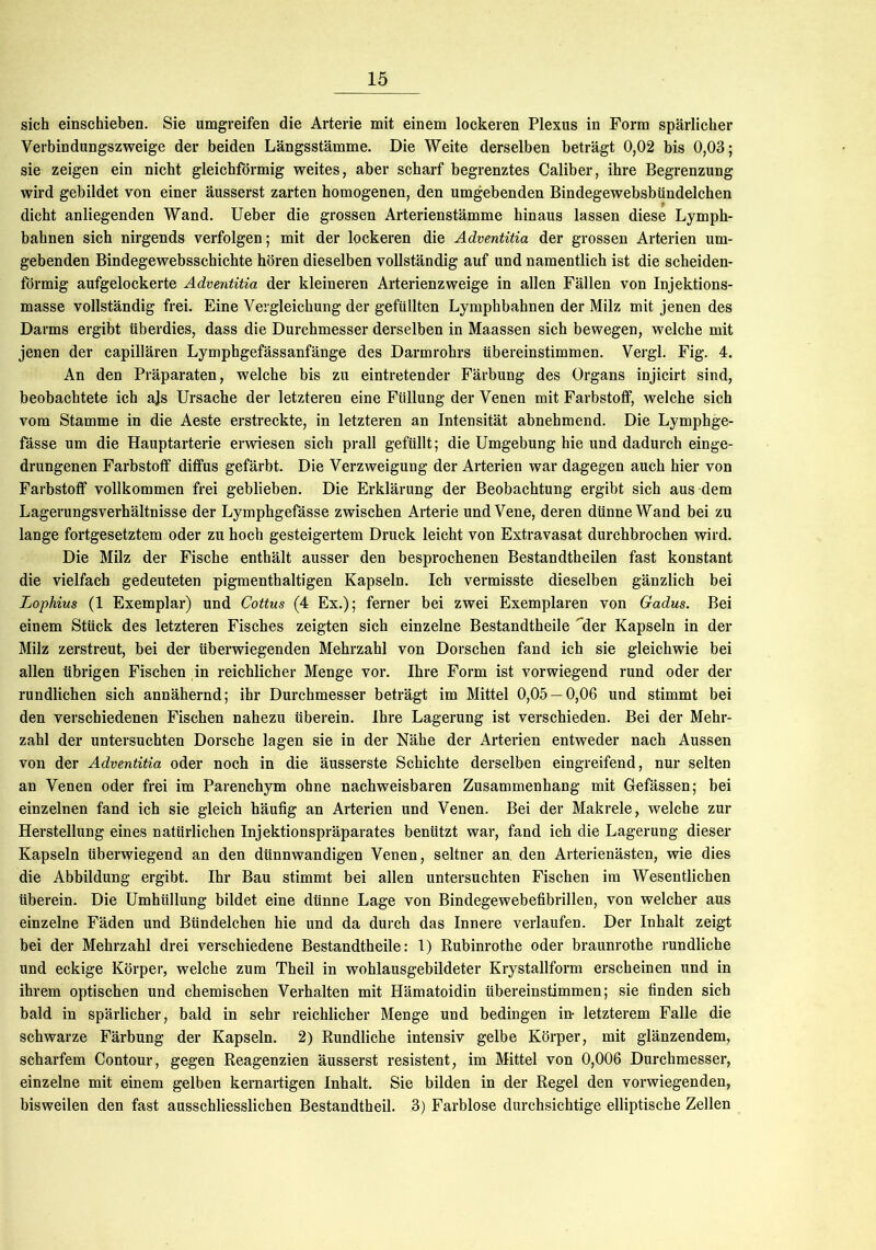 sich einschieben. Sie umgreifen die Arterie mit einem lockeren Plexus in Form spärlicher Verbindungszweige der beiden Längsstämme. Die Weite derselben beträgt 0,02 bis 0,03; sie zeigen ein nicht gleichförmig weites, aber scharf begrenztes Caliber, ihre Begrenzung wird gebildet von einer äusserst zarten homogenen, den umgebenden Bindegewebsbündelchen dicht anliegenden Wand. Ueber die grossen Arterienstämme hinaus lassen diese Lymph- bahnen sich nirgends verfolgen; mit der lockeren die Adventitia der grossen Arterien um- gebenden Bindegewebsschichte hören dieselben vollständig auf und namentlich ist die scheiden- förmig aufgelockerte Adventitia der kleineren Arterienzweige in allen Fällen von Injektions- masse vollständig frei. Eine Vergleichung der gefüllten Lymphbahnen der Milz mit jenen des Darms ergibt überdies, dass die Durchmesser derselben in Maassen sich bewegen, welche mit jenen der capillären Lymphgefässanfänge des Darmrohrs übereinstimmen. Vergl. Fig. 4. An den Präparaten, welche bis zu eintretender Färbung des Organs injicirt sind, beobachtete ich ajs Ursache der letzteren eine Füllung der Venen mit Farbstoff, welche sich vom Stamme in die Aeste erstreckte, in letzteren an Intensität abnehmend. Die Lymphge- fässe um die Hauptarterie erwiesen sich prall gefüllt; die Umgebung hie und dadurch einge- drungenen Farbstoff diffus gefärbt. Die Verzweigung der Arterien war dagegen auch hier von Farbstoff vollkommen frei geblieben. Die Erklärung der Beobachtung ergibt sich aus dem Lagerungsverhältnisse der Lymphgefässe zwischen Arterie und Vene, deren dünne Wand bei zu lange fortgesetztem oder zu hoch gesteigertem Druck leicht von Extravasat durchbrochen wird. Die Milz der Fische enthält ausser den besprochenen Bestandtheilen fast konstant die vielfach gedeuteten pigmenthaltigen Kapseln. Ich vermisste dieselben gänzlich bei Lopliius (1 Exemplar) und Cottus (4 Ex.); ferner bei zwei Exemplaren von Gadus. Bei einem Stück des letzteren Fisches zeigten sich einzelne Bestandtheile der Kapseln in der Milz zerstreut, bei der überwiegenden Mehrzahl von Dorschen fand ich sie gleichwie bei allen übrigen Fischen in reichlicher Menge vor. Ihre Form ist vorwiegend rund oder der rundlichen sich annähernd; ihr Durchmesser beträgt im Mittel 0,05 — 0,06 und stimmt bei den verschiedenen Fischen nahezu überein. Ihre Lagerung ist verschieden. Bei der Mehr- zahl der untersuchten Dorsche lagen sie in der Nähe der Arterien entweder nach Aussen von der Adventitia oder noch in die äusserste Schichte derselben eingreifend, nur selten an Venen oder frei im Parenchym ohne nachweisbaren Zusammenhang mit Gefässen; bei einzelnen fand ich sie gleich häufig an Arterien und Venen. Bei der Makrele, welche zur Herstellung eines natürlichen Injektionspräparates benützt war, fand ich die Lagerung dieser Kapseln überwiegend an den dünnwandigen Venen, seltner an den Arterienästen, wie dies die Abbildung ergibt. Ihr Bau stimmt bei allen untersuchten Fischen im Wesentlichen überein. Die Umhüllung bildet eine dünne Lage von Bindegewebefibrillen, von welcher aus einzelne Fäden und Bündelchen hie und da durch das Innere verlaufen. Der Inhalt zeigt bei der Mehrzahl drei verschiedene Bestandtheile: 1) Rubinrothe oder braunrothe rundliche und eckige Körper, welche zum Theil in wohlausgebildeter Krystallform erscheinen und in ihrem optischen und chemischen Verhalten mit Hämatoidin übereinstimmen; sie finden sich bald in spärlicher, bald in sehr reichlicher Menge und bedingen in- letzterem Falle die schwarze Färbung der Kapseln. 2) Rundliche intensiv gelbe Körper, mit glänzendem, scharfem Contour, gegen Reagenzien äusserst resistent, im Mittel von 0,006 Durchmesser, einzelne mit einem gelben kernartigen Inhalt. Sie bilden in der Regel den vorwiegenden, bisweilen den fast ausschliesslichen Bestandtheil. 3) Farblose durchsichtige elliptische Zellen