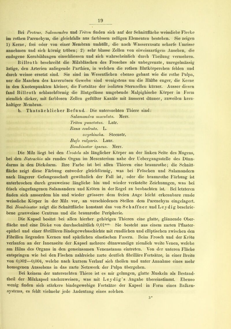 Bei Proteus, Salamandra und Triton finden sieb auf der Schnittfläche weissliche Flecke im rothen Parenchym, die gleichfalls aus farblosen zelligen Elementen bestehen. Sie zeigen 1) Kerne, frei oder von einer Membran umhüllt, die nach Wasserzusatz scharfe Umrisse annehmen und sich körnig trüben; 2) sehr blasse Zellen von eiweissartigem Ansehen, die endogene Kernbildungen einschliessen und sich wahrscheinlich durch Theilung vermehren. Billroth beschreibt die Milzbläschen des Frosches als unbegrenzte, unregelmässig- ästige, den Arterien anliegende Parthien, in welchen die rothen Blutkörperchen fehlen und durch weisse ersetzt sind. Sie sind im Wesentlichen ebenso gebaut wie die rothe Pulpa, nur die Maschen des kavernösen Gewehs sind wenigstens um die Hälfte enger, die Kerne in den Knotenpunkten kleiner, die Fortsätze der isolirten Sternzellen kürzer. Ausser diesen fand Billroth schlauchförmig die Blutgefässe umgebende Malpighische Körper in Form ziemlich dicker, mit farblosen Zellen gefüllter Kanäle mit äusserst dünner, zuweilen kern- haltiger Membran. b. Thatsächlicher Befund.. Die untersuchten Thiere sind: Salamandra maculata. Merr. Triton punctatus. Latr. Rana esidenta. L. oxyrhincha. Steenstr. Bufo vulgaris. Laur. Bornbinator igneus. Merr. Die Milz liegt bei den Urodela als länglicher Körper an der linken Seite des Magens, “bei den Batrachia als rundes Organ im Mesenterium nahe der Ueberg-angsstelle des Dünn- darms in den Dickdarm. Ihre Farbe ist bei allen Thieren eine braunrothe; die Schnitt- fläche zeigt diese Färbung entweder gleichförmig, was bei Fröschen und Salamandern nach längerer Gefangenschaft gewöhnlich der Fall ist, oder die braunrothe Färbung ist unterbrochen durch grauweisse längliche hin und wieder verästelte Zeichnungen, was bei frisch eingefangenen Salamandern und Kröten in der Kegel zu beobachten ist. Bei letzteren finden sich ausserdem hin und wieder grössere dem freien Auge leicht erkennbare runde weissliche Körper in der Milz vor, an verschiedenen Stellen dem Parenchym eingelagert. Bei Bornbinator zeigt die Schnittfläche konstant das von Schaffner und Leydig beschrie- bene grauweisse Centrum und die braunrothe Peripherie. Die Kapsel besitzt bei allen hierher gehörigen Thieren eine glatte, glänzende Ober- fläche und eine Dicke von durchschnittlich 0,01mm- Sie besteht aus einem zarten Pflaster- epithel und einer fibrillären Bindegewebsschichte mit rundlichen und elliptischen zwischen den Fibrillen liegenden Kernen und spärlichen elastischen Fasern. Beim Frosch und der Kröte verlaufen an der Innenseite der Kapsel mehrere dünnwandige ziemlich weite Venen, welche am Hilus des Organs in den gemeinsamen Venenstamm eintreten. Von der unteren Fläche entspringen wie bei den Fischen zahlreiche zarte deutlich fibrilläre Fortsätze, in einer Breite von 0,002—0,004, welche nach kurzem Verlauf sich theilen und unter Annahme eines mehr homogenen Aussehens in das zarte Netzwerk der Pulpa übergehen. Bei keinem der untersuchten Thiere ist es mir gelungen, glatte Muskeln als Bestand- teil der Milzkapsel nachzuweisen, was mit Leydig’s Angabe übereinstimmt. Ebenso wenig finden sich stärkere bindegewebige Fortsätze der Kapsel in Form eines Balken- systems, es fehlt vielmehr jede Andeutung eines solchen. 3*