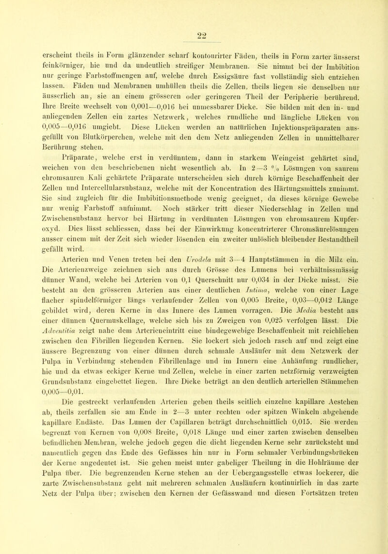 erscheint theils in Form glänzender scharf kontourirter Fäden, theils in Form zarter äusserst feinkörniger, hie und da undeutlich streifiger Membranen. Sie nimmt bei der Imbibition nur geringe Farbstoffmengen auf, welche durch Essigsäure fast vollständig sich entziehen lassen. Fäden und Membranen umhüllen theils die Zellen, theils liegen sie denselben nur äusserlich an, sie an einem grösseren oder geringeren Theil der Peripherie berührend. Ihre Breite wechselt von 0,001.—0,016 bei unmessbarer Dicke. Sie bilden mit den in- und anliegenden Zellen ein zartes Netzwerk, welches rundliche und längliche Lücken von 0,005—0,016 umgiebt. Diese Lücken werden an natürlichen Injektionspräparaten aus- gefüllt von Blutkörperchen, welche mit den dem Netz anliegenden Zellen in unmittelbarer Berührung stehen. Präparate, welche erst in verdünntem, dann in starkem Weingeist gehärtet sind, weichen von den beschriebenen nicht wesentlich ab. In 2—3 % Lösungen von saurem chromsauren Kali gehärtete Präparate unterscheiden sich durch körnige Beschaffenheit der Zellen und Intercellularsubstanz, welche mit der Koncentration des Härtungsmittels zunimmt. Sie sind zugleich für die Imbibitionsmethode wenig geeignet, da dieses körnige Gewebe nur wenig Farbstoff aufnimmt. Noch stärker tritt dieser Niederschlag in Zellen und Zwischensubstanz hervor bei Härtung in verdünnten Lösungen von chromsaurem Kupfer- oxyd. Dies lässt schliessen, dass bei der Einwirkung koncentrirterer Chromsäurelösungen ausser einem mit der Zeit sich wieder lösenden ein zweiter unlöslich bleibender Bestandtheil gefällt wird. Arterien und Venen treten bei den Urodela mit 3—4 Hauptstämmen in die Milz ein. Die Arterienzweige zeichnen sich aus durch Grösse des Lumens bei verhältnissmässig dünner Wand, welche bei Arterien von 0,1 Querschnitt nur 0,034 in der Dicke misst. Sie besteht an den grösseren Arterien aus einer deutlichen Intima, welche von einer Lage flacher spindelförmiger längs verlaufender Zellen von 0,005 Breite, 0,03—0,042 Länge gebildet wird, deren Kerne in das Innere des Lumen vorragen. Die Media besteht aus einer dünnen Quermuskellage, welche sich bis zu Zweigen von 0,025 verfolgen lässt. Die Adventitia zeigt nahe dem Arterieneintritt eine bindegewebige Beschaffenheit mit reichlichen zwischen den Fibrillen liegenden Kernen. Sie lockert sich jedoch rasch auf und zeigt eine äussere Begrenzung von einer dünnen durch schmale Ausläufer mit dem Netzwerk der Pulpa in Verbindung stehenden Fibrillenlage und im Innern eine Anhäufung rundlicher, hie und da etwas eckiger Kerne und Zellen, welche in einer zarten netzförmig verzweigten Grundsubstanz eingebettet liegen. Ihre Dicke beträgt an den deutlich arteriellen Stämmchen 0,005—0,01. Die gestreckt verlaufenden Arterien geben theils seitlich einzelne kapillare Aestchen ab, theils zerfallen sie am Ende in 2—3 unter rechten oder spitzen Winkeln abgehende kapillare Endäste. Das Lumen der Capillaren beträgt durchschnittlich 0,015. Sie werden begrenzt von Kernen von 0,008 Breite, 0,018 Länge und einer zarten zwischen denselben befindlichen Membran, welche jedoch gegen die dicht liegenden Kerne sehr zurücksteht und namentlich gegen das Ende des Gefässes hin nur in Form schmaler Verbindungsbrücken der Kerne angedeutet ist. Sie gehen meist unter gabeliger Theilung in die Hohlräume der Pulpa über. Die begrenzenden Kerne stehen an der Uebergangsstelle etwas lockerer, die zarte Zwischensubstanz geht mit mehreren schmalen Ausläufern kontinuirlich in das zarte Netz der Pulpa über; zwischen den Kernen der Gefässwand und diesen Fortsätzen treten