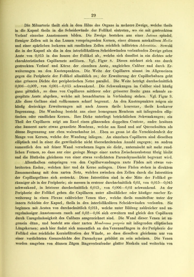 Die Milzarterie theilt sich in dem Hilus des Organs in mehrere Zweige, welche theils in die Kapsel theils in die Scheidewände der Follikel eintreten, wo sie mit gestrecktem Verlauf einzelne Anastomosen bilden. Die Zweige bestehen aus einer Intima spindel. förmiger Zellen mit in das Lumen vorspringenden Kernen, einer dünnen muskulösen Media und einer spärlichen lockeren mit rundlichen Zellen reichlich infiltrirten Adventitia. Sowohl die in der Kapsel als die in den interfollikulären Scheidewänden verlaufenden Zweige geben Aeste von 0,015 in das Innere der Follikel ab, welche sich daselbst in ein dichtes sehr charakteristisches Capillarnetz auflösen. Vgl. Figur 8. Dieses zeichnet sich aus durch gestreckten Verlauf und Kürze der einzelnen Aeste, ungleiches Caliber und durch Er- weiterungen an den Knotenpunkten. Die Weite der Capillaren nimmt im Allgemeinen gegen die Peripherie der Follikel allmählich zu; der Erweiterung der Capillarbahnen geht eine grössere Dichte der peripherischen Netze parallel. Die Weite beträgt durchschnittlich 0,006—0,009, von 0,001-—0,015 schwankend. Die Schwankungen im Caliber sind häufig ganz plötzlich, so dass von Capillaren mittlerer oder grösserer Breite ganz schmale zu- gespitzte Aeste abgehen, welche mit benachbarten in Verbindung stehen. Vgl. Figur 9. Alle diese Gefässe sind vollkommen scharf begrenzt. An den Knotenpunkten zeigen sie häufig dreieckige Erweiterungen mit nach Aussen theils konvexer, theils konkaver Begrenzung. Die Wandung besteht aus einer homogenen Membran mit inliegenden ellip- tischen oder rundlichen Kernen. Ihre Dicke unterliegt beträchtlichen Schwankungen; ein Theil der Capillaren zeigt am Band einen glänzenden doppelten Contour, andre besitzen eine äusserst zarte etwas granulirte Membran, welche am Rand und auf Querschnitten als dünne Begrenzung nur eben wahrnehmbar ist. Eben so gross ist die Verschiedenheit der Menge von Kernen, welche der Wandung inliegen. An einzelnen Capillaren sind dieselben elliptisch und in einer die gewöhnliche nicht überschreitenden Anzahl zugegen; an andren namentlich den mit feiner Wand versehenen liegen sie dicht, untermischt mit mehr rund- lichen Formen, so dass nur eine geringe Menge einer zarten Zwischensubstanz übrig bleibt und die Blutbahn gleichsam von einer etwas verdichteten Parenchymschicht begrenzt wird. Allenthalben entspringen von den Capillarwandungen zarte Fäden mit etwas ver- breiterten Enden, welchen hier und da Kerne anliegen. Diese Fäden stehen in direktem Zusammenhang mit dem zarten Netz, welches zwischen den Zellen durch die Interstitien der Capillargefässe sich erstreckt. Diese Interstitien sind in «der Mitte der Follikel ge- räumiger als in der Peripherie; sie messen in ersterer durchschnittlich 0,03, von 0,015—0,045 schwankend, in letzterer durchschnittlich 0,015, von 0,006—0,02 schwankend. An der Peripherie der Follikel gehen die Capillaren unter allmählicher oder häufiger rascher Er- weiterung in einen Plexus zahlreicher Venen über, welche theils unmittelbar unter der innern Schichte der Kapsel, theils in den interfollikulären Scheidewänden verlaufen. Sie beginnen mit Aesten von durchschnittlich 0,015, welche unter Bildung zahlreicher und un- regelmässiger Anastomosen rasch auf 0,02—0,06 sich erweitern und gleich den Capillaren durch Unregelmässigkeit des Calibers ausgezeichnet sind. Die Wand dieser Venen ist un- gemein dünn, und besteht aus einer zarten Membrana propria mit inliegenden elliptischen Längskernen; auch hier findet sich namentlich an den Venenanfängen in der Peripherie der Follikel eine reichliche Kerninfiltration der Wände, so dass dieselben gleichsam nur von einer verdichteten Grenzschichte des Parenchyms gebildet zu sein scheinen. Die Venen werden umgeben von dünnen Zügen längsverlaufender glatter Muskeln und weiterhin von