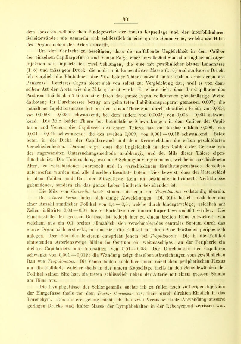 dem lockeren zellenreichen Bindegewebe der innern Kapsellage und der interfollikulären Scheidewände; sie sammeln sich schliesslich in eine grosse Stammvene, welche am Hilus des Organs neben der Arterie austritt. Um den Verdacht zu beseitigen, dass die auffallende Ungleichheit in dem Caliber der einzelnen Capillargefässe und Venen Folge einer unvollständigen oder ungleichmässigen Injektion sei, injicirte ich zwei Schlangen, die eine mit gewöhnlicher blauer Leimmasse (1:8) und mässigem Druck, die andre mit koncentrirter Masse (1:6) und stärkerem Druck. Ich verglich die Blutbahnen der Milz beider Thiere sowohl unter sich als mit denen des Pankreas. Letzteres Organ bietet sich von selbst zur Vergleichung dar, weil es von dem- selben Ast der Aorta wie die Milz gespeist wird. Es zeigte sich, dass die Capillaren des Pankreas bei beiden Thieren eine durch das ganze Organ vollkommen gleichmässige Weite darboten; ihr Durchmesser betrug am gehärteten Imbibitionspräparat gemessen 0,007; die enthaltene Injektionsmasse bot bei dem einen Thier eine durchschnittliche Breite von 0,003, von 0,0028 — 0,0034 schwankend, bei dem andern von 0,0035, von 0,003 — 0,004 schwan- kend. Die Milz beider Thiere bot beträchtliche Schwankungen in dem Caliber der Capil- laren und Venen; die Capillaren des ersten Thieres massen durchschnittlich 0,006, von 0,001—0,012 schwankend; die des zweiten 0,009, von 0,001 — 0,015 schwankend. Beide boten in der Dicke der Capillarwand und dem Kernreichthum die schon geschilderten Verschiedenheiten. Daraus folgt, dass die Ungleichheit in dem Caliber der Gefässe von der angewandten Untersuchungsmethode unabhängig und der Milz dieser Thiere eigen- thümlich ist. Die Untersuchung war an 8 Schlangen vorgenommen, welche in verschiedenem Alter, zu verschiedener Jahreszeit und in verschiedenem Ernährungszustände derselben unterworfen wurden und alle dieselben Resultate boten. Dies beweist, dass der Unterschied in dem Caliber und Bau der Milzgefässe kein an bestimmte individuelle Verhältnisse gebundener, sondern ein das ganze Leben hindurch bestehender ist. Die Milz von Coronella laevis stimmt mit jener von Tropidonotus vollständig überein. Bei Vipera berus finden sich einige Abweichungen. Die Milz besteht auch hier aus einer Anzahl rundlicher Follikel von 0,4 — 0,6, welche durch bindegewebige, reichlich mit Zellen infiltrirte 0,04 — 0,07 breite Fortsätze der innern Kapsellage umhüllt werden. Die Eintrittsstelle der grossen Gefässe ist jedoch hier zu einem breiten Hilus entwickelt, von welchem aus ein 0,1 breites allmählich sich verschmälerndes centrales Septum durch das ganze Organ sich erstreckt, an das sich die Follikel mit ihren Scheidewänden peripherisch anlegen. Der Bau der letzteren entspricht jenem bei Tropidonotus. Die in die Follikel eintretenden Arterienzweige bilden im Centrum ein weitmaschiges, an der Peripherie ein dichtes Capillarnetz mit Interstitien von 0,01—0,03. Der Durchmesser der Capillaren schwankt von 0,001 — 0,012; die Wandung zeigt dieselben Abweichungen vom gewöhnlichen Bau wie Tropidonotus. Die Venen bilden auch hier einen reichlichen peripherischen Plexus um die Follikel, welcher theils in der untern Kapsellage theils in den Scheidewänden der Follikel seinen Sitz hat; sie treten schliesslich neben der Arterie mit einem grossen Stamm am Hilus aus. Die Lympbgefässe der Schlangenmilz suchte ich zu füllen nach vorheriger Injektion der Blutgefässe theils von dem Lucius thoracicus aus, theils durch direkten Einstich in das Parenchym. Das erstere gelang nicht, da bei zwei Versuchen trotz Anwendung äusserst geringen Drucks und kalter Masse der Lympkbehälter in der Lebergegend zerrissen war.
