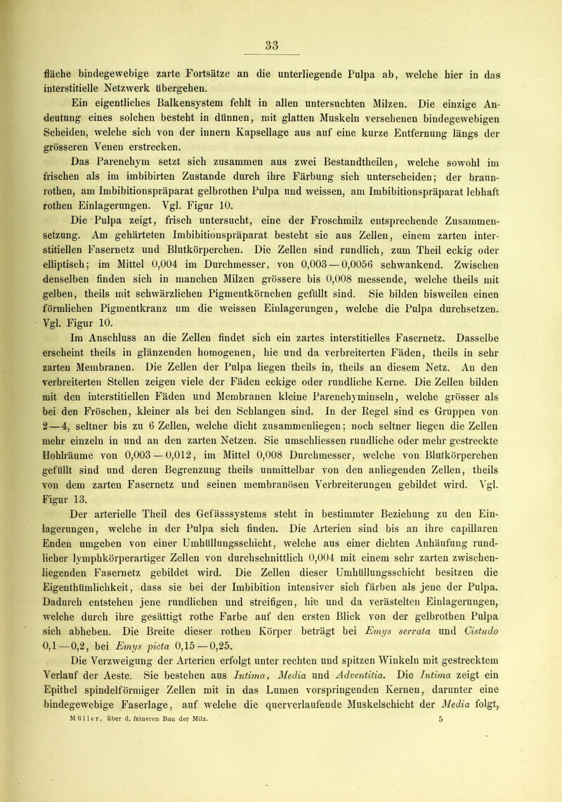 fläche bindegewebige zarte Fortsätze an die unterliegende Pulpa ab, welche hier in das interstitielle Netzwerk übergehen. Ein eigentliches Balkensystem fehlt in allen untersuchten Milzen. Die einzige An- deutung eines solchen besteht in dünnen, mit glatten Muskeln versehenen bindegewebigen Scheiden, welche sich von der innern Kapsellage aus auf eine kurze Entfernung längs der grösseren Venen erstrecken. Das Parenchym setzt sich zusammen aus zwei Bestandtheilen, welche sowohl im frischen als im imbibirten Zustande durch ihre Färbung sich unterscheiden; der braun- rothen, am Imbibitionspräparat gelbrothen Pulpa und weissen, am Imbibitionspräparat lebhaft rothen Einlagerungen. Vgl. Figur 10. Die Pulpa zeigt, frisch untersucht, eine der Froschmilz entsprechende Zusammen- setzung. Am gehärteten Imbibitionspräparat besteht sie aus Zellen, einem zarten inter- stitiellen Fasernetz und Blutkörperchen. Die Zellen sind rundlich, zum Theil eckig oder elliptisch; im Mittel 0,004 im Durchmesser, von 0,003 — 0,0056 schwankend. Zwischen denselben finden sich in manchen Milzen grössere bis 0,008 messende, welche theils mit gelben, theils mit schwärzlichen Pigmentkörnchen gefüllt sind. Sie bilden bisweilen einen förmlichen Pigmentkranz um die weissen Einlagerungen, welche die Pulpa durchsetzen. Vgl. Figur 10. Im Anschluss an die Zellen findet sich ein zartes interstitielles Fasernetz. Dasselbe erscheint theils in glänzenden homogenen, hie und da verbreiterten Fäden, theils in sehr zarten Membranen. Die Zellen der Pulpa liegen theils in, theils an diesem Netz. An den verbreiterten Stellen zeigen viele der Fäden eckige oder rundliche Kerne. Die Zellen bilden mit den interstitiellen Fäden und Membranen kleine Parenchyminseln, welche grösser als bei den Fröschen, kleiner als bei den Schlangen sind. In der Regel sind es Gruppen von 2—4, seltner bis zu 6 Zellen, welche dicht zusammenliegen; noch seltner liegen die Zellen mehr einzeln in und an den zarten Netzen. Sie umschliessen rundliche oder mehr gestreckte Hohlräume von 0,003 — 0,012, im Mittel 0,008 Durchmesser, welche von Blutkörperchen gefüllt sind und deren Begrenzung theils unmittelbar von den anliegenden Zellen, theils von dem zarten Fasernetz und seinen membranösen Verbreiterungen gebildet wird. Vgl. Figur 13. Der arterielle Theil des Gefässsystems steht in bestimmter Beziehung zu den Ein- lagerungen, welche in der Pulpa sich finden. Die Arterien sind bis an ihre capillaren Enden umgeben von einer Umhülluugssehicht, welche aus einer dichten Anhäufung rund- licher lymphkörperartiger Zellen von durchschnittlich 0,004 mit einem sehr zarten zwischen- liegenden Fasernetz gebildet wird. Die Zellen dieser Umhüllungsschicht besitzen die Eigenthümlichkeit, dass sie bei der Imbibition intensiver sich färben als jene der Pulpa. Dadurch entstehen jene rundlichen und streifigen, hie und da verästelten Einlagerungen, welche durch ihre gesättigt rothe Farbe auf den ersten Blick von der gelbrothen Pulpa sich abheben. Die Breite dieser rothen Körper beträgt bei Emys serrata und Cistudo 0,1 — 0,2, bei Emys picta 0,15—0,25. Die Verzweigung der Arterien erfolgt unter rechten und spitzen Winkeln mit gestrecktem Verlauf der Aeste. Sie bestehen aus Intima, Media und Adventitia. Die Intima zeigt ein Epithel spindelförmiger Zellen mit in das Lumen vorspringenden Kernen, darunter eine bindegewebige Faserlage, auf welche die querverlaufende Muskelschicht der Media folgt, Müller, über d. feineren Bau der Milz. 5