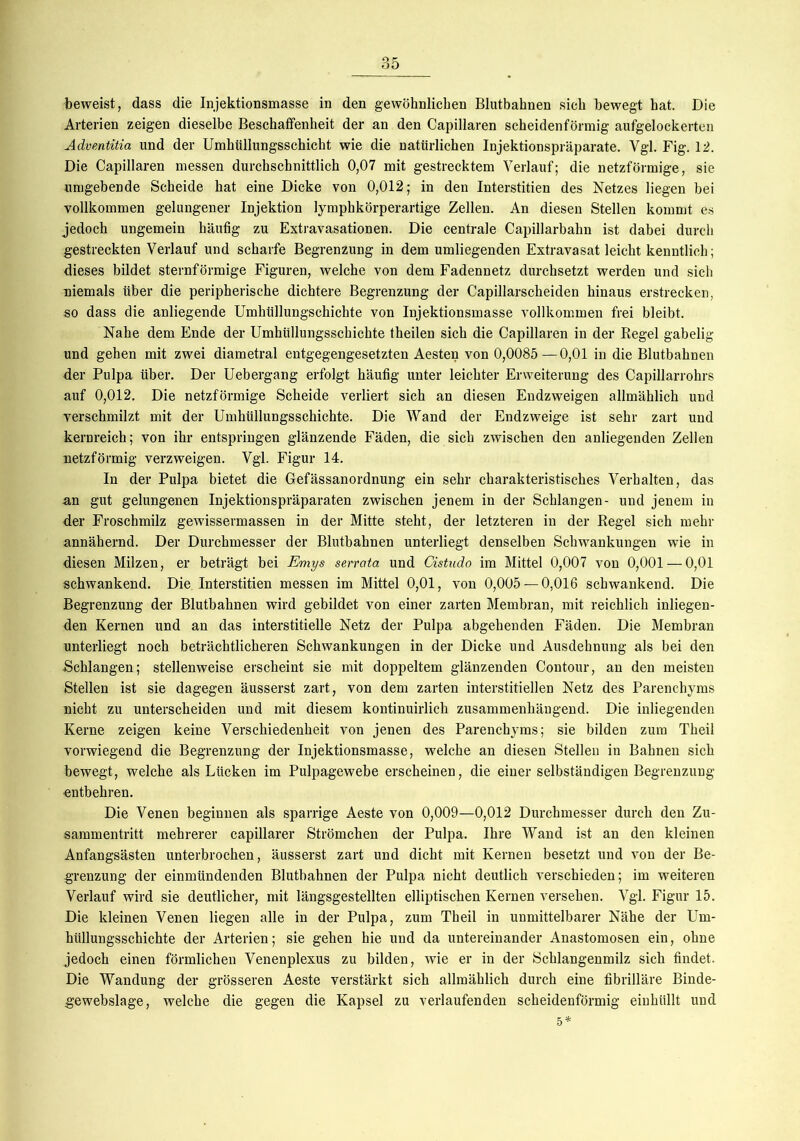 Arterien zeigen dieselbe Beschaffenheit der an den Capillaren scheidenförmig aufgelockerten Adventitia und der Umhüllungsschicht wie die natürlichen Injektionspräparate. Vgl. Fig. 12. Die Capillaren messen durchschnittlich 0,07 mit gestrecktem Verlauf; die netzförmige, sie umgebende Scheide hat eine Dicke von 0,012; in den Interstitien des Netzes liegen bei vollkommen gelungener Injektion lymphkörperartige Zellen. An diesen Stellen kommt es jedoch ungemein häufig zu Extravasationen. Die centrale Capillarbahn ist dabei durch gestreckten Verlauf und scharfe Begrenzung in dem umliegenden Extravasat leicht kenntlich; dieses bildet sternförmige Figuren, welche von dem Fadennetz durchsetzt werden und sich niemals über die peripherische dichtere Begrenzung der Capillarscheiden hinaus erstrecken, so dass die anliegende Umhüllungschichte von Injektionsmasse vollkommen frei bleibt. Nahe dem Ende der Umhüllungsschichte theilen sich die Capillaren in der Regel gabelig und gehen mit zwei diametral entgegengesetzten Aesten von 0,0085—0,01 in die Blutbahnen der Pulpa über. Der Uebergang erfolgt häufig unter leichter Erweiterung des Capillarrohrs auf 0,012. Die netzförmige Scheide verliert sich an diesen Endzweigen allmählich und verschmilzt mit der Umhüllungsschichte. Die Wand der Endzweige ist sehr zart und kernreich; von ihr entspringen glänzende Fäden, die sich zwischen den anliegenden Zellen uetzförmig verzweigen. Vgl. Figur 14. In der Pulpa bietet die Gefässanordnung ein sehr charakteristisches Verhalten, das an gut gelungenen Injektionspräparaten zwischen jenem in der Schlangen- und jenem in der Froschmilz gewissermassen in der Mitte steht, der letzteren in der Regel sich mehr annähernd. Der Durchmesser der Blutbahnen unterliegt denselben Schwankungen wie in diesen Milzen, er beträgt bei Emys serrata und Cistudo im Mittel 0,007 von 0,001 — 0,01 schwankend. Die Interstitien messen im Mittel 0,01, von 0,005 — 0,016 schwankend. Die Begrenzung der Blutbahnen wird gebildet von einer zarten Membran, mit reichlich inliegen- den Kernen und an das interstitielle Netz der Pulpa abgehenden Fäden. Die Membran unterliegt noch beträchtlicheren Schwankungen in der Dicke und Ausdehnung als bei den Schlangen; stellenweise erscheint sie mit doppeltem glänzenden Contour, an den meisten Stellen ist sie dagegen äusserst zart, von dem zarten interstitiellen Netz des Parenchyms nicht zu unterscheiden und mit diesem kontinuirlich zusammenhängend. Die inliegenden Kerne zeigen keine Verschiedenheit von jenen des Parenchyms; sie bilden zum Theil vorwiegend die Begrenzung der Injektionsmasse, welche an diesen Stellen in Bahnen sich bewegt, welche als Lücken im Pulpagewebe erscheinen, die einer selbständigen Begrenzung entbehren. Die Venen beginnen als sparrige Aeste von 0,009—0,012 Durchmesser durch den Zu- sammentritt mehrerer capillarer Strömchen der Pulpa. Ihre Wand ist an den kleinen Anfangsästen unterbrochen, äusserst zart und dicht mit Kernen besetzt und von der Be- grenzung der einmündenden Blutbahnen der Pulpa nicht deutlich verschieden; im weiteren Verlauf wird sie deutlicher, mit längsgestellten elliptischen Kernen versehen. Vgl. Figur 15. Die kleinen Venen liegen alle in der Pulpa, zum Theil in unmittelbarer Nähe der Um- hüllungsschichte der Arterien; sie gehen hie und da untereinander Anastomosen ein, ohne jedoch einen förmlichen Venenplexus zu bilden, wie er in der Schlangenmilz sich findet. Die Wandung der grösseren Aeste verstärkt sich allmählich durch eine fibrilläre Binde- gewebslage, welche die gegen die Kapsel zu verlaufenden scheidenförmig einhüllt und