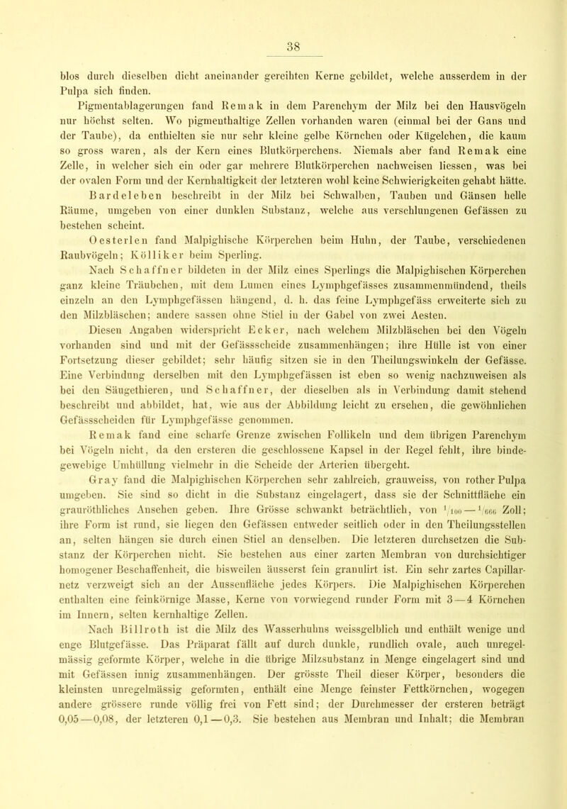 blos durch dieselben dicht aneinander gereihten Kerne gebildet, welche ausserdem in der Pulpa sich finden. Pigmentablagerungen fand Remak in dem Parenchym der Milz bei den Hausvögeln nur höchst selten. Wo pigmenthaltige Zellen vorhanden waren (einmal bei der Gans und der Taube), da enthielten sie nur sehr kleine gelbe Körnchen oder Kügelchen, die kaum so gross waren, als der Kern eines Blutkörperchens. Niemals aber fand Remak eine Zelle, in welcher sich ein oder gar mehrere Blutkörperchen nachweisen liessen, was bei der ovalen Form und der Kernhaltigkeit der letzteren wohl keine Schwierigkeiten gehabt hätte. Bardeleben beschreibt in der Milz bei Schwalben, Tauben und Gänsen helle Räume, umgeben von einer dunklen Substanz, welche aus verschlungenen Gefässen zu bestehen scheint. Oesterlen fand Malpighische Körperchen beim Huhn, der Taube, verschiedenen Raubvögeln; Kolliker beim Sperling. Nach Schaffner bildeten in der Milz eines Sperlings die Malpighischen Körperchen ganz kleine Träubchen, mit dem Lumen eines Lymphgefässes zusammenmündend, theils einzeln an den Lymphgefässen hängend, d. h. das feine Lymphgefäss erweiterte sich zu den Milzbläschen; andere sassen ohne Stiel in der Gabel von zwei Aesten. Diesen Angaben widerspricht Ecker, nach welchem Milzbläschen bei den Vögeln vorhanden sind und mit der Gefässseheide Zusammenhängen; ihre Hülle ist von einer Fortsetzung dieser gebildet; sehr häufig sitzen sie in den Theilungswiukeln der Gefässe. Eine Verbindung derselben mit den Lymphgefässen ist eben so wenig nachzuweisen als bei den Säugethieren, und Schaffner, der dieselben als in Verbindung damit stehend beschreibt und abbildet, hat, wie aus der Abbildung leicht zu ersehen, die gewöhnlichen Gefässscheidcn für Lymphgefässe genommen. Remak fand eine scharfe Grenze zwischen Follikeln und dem übrigen Parenchym bei Vögeln nicht, da den ersteren die geschlossene Kapsel in der Regel fehlt, ihre binde- gewebige Umhüllung vielmehr in die Scheide der Arterien übergeht. Gray fand die Malpighischen Körperchen sehr zahlreich, grauweiss, von rother Pulpa umgeben. Sie sind so dicht in die Substanz eingelagert, dass sie der Schnittfläche ein grauröthliches Ansehen geben. Ihre Grösse schwankt beträchtlich, von ’/ioo— 1/m Zoll; ihre Form ist rund, sie liegen den Gefässen entweder seitlich oder in den Theilungsstellen an, selten hängen sie durch einen Stiel an denselben. Die letzteren durchsetzen die Sub- stanz der Körperchen nicht. Sie bestehen aus einer zarten Membran von durchsichtiger homogener Beschaffenheit, die bisweilen äusserst fein granulirt ist. Ein sehr zartes Capillar- netz verzweigt sich an der Aussenfläche jedes Körpers. Die Malpighischen Körperchen enthalten eine feinkörnige Masse, Kerne von vorwiegend runder Form mit 3 — 4 Körnchen im Innern, selten kernhaltige Zellen. Nach Billroth ist die Milz des Wasserhuhns weissgelblich und enthält wenige und enge Blutgefässe. Das Präparat fällt auf durch dunkle, rundlich ovale, auch unregel- mässig geformte Körper, welche in die übrige Milzsubstanz in Menge eingelagert sind und mit Gefässen innig Zusammenhängen. Der grösste Theil dieser Körper, besonders die kleinsten unregelmässig geformten, enthält eine Menge feinster Fettkörnchen, wogegen andere grössere runde völlig frei von Fett sind; der Durchmesser der ersteren beträgt 0,05—0,08, der letzteren 0,1—0,3. Sie bestehen aus Membran und Inhalt; die Membran