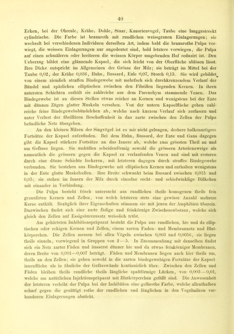 Ecken, bei der Ohreule, Krähe, Dohle, Staar, Kanarienvogel, Taube eine langgestreckt cylindrische. Die Farbe ist braunroth mit rundlichen weissgrauen Einlagerungen; sie wechselt bei verschiedenen Individuen derselben Art, indem bald die braunrothe Pulpa vor- wiegt, die weissen Einlagerungen nur angedeutet sind, bald letztere vorwiegen, die Pulpa auf einen schmäleren oder breiteren die weissen Körper umgebenden Hof reduzirt ist. Den Ueberzug bildet eine glänzende Kapsel, die sich leicht von der Oberfläche ablösen lässt. Ihre Dicke entspricht im Allgemeinen der Grösse der Milz; sie beträgt im Mittel bei der Taube 0,02, der Krähe 0,036, Huhn, Bussard, Eule 0,07, Storch 0,15. Sie wird gebildet^ von einem ziemlich straffen Bindegewebe mit mehrfach sich durchkreuzendem Verlauf der Bündel und spärlichen elliptischen zwischen den Fibrillen liegenden Kernen. In ihren untersten Schichten enthält sie zahlreiche aus dem Parenchym stammende Venen. Das Bindegewebe ist an diesen Stellen etwas reicher an Kernen und wenigstens bei der Ente mit dünnen Zügen glatter Muskeln versehen. Von der untern Kapselfläche gehen zahl- reiche feine Bindegewebsbiindelchen ab, welche nach kurzem Verlauf sich zerfasern und unter Verlust der fibrillären Beschaffenheit in das zarte zwischen den Zellen der Pulpa befindliche Netz übergehen. An den kleinen Milzen der Singvögel ist es mir nicht gelungen, derbere balkenartigere Fortsätze der Kapsel aufzufinden. Bei dem Huhn, Bussard, der Ente und Gans dagegen gibt die Kapsel stärkere Fortsätze an das Innere ab, welche zum grössten Theil an und um Gefässe liegen. Sie umhüllen scheidenförmig sowohl die grossem Arterienzweige als namentlich die grossem gegen die Kapsel zu verlaufenden Venen und sind mit ersteren durch eine dünne Schichte lockeren, mit letzteren dagegen durch straffes Bindegewebe verbunden. Sie bestehen aus Bindegewebe mit elliptischen Kernen und enthalten wenigstens in der Ente glatte Muskelzellen. Ihre Breite schwankt beim Bussard zwischen 0,015 und 0,05; sie stehen im Innern der Milz durch einzelne recht- und schiefwinklige Bälkchen mit einander in Verbindung. Die Pulpa besteht frisch untersucht aus rundlichen theils homogenen theils fein granulirten Kernen und Zellen, von welch letzteren stets eine gewisse Anzahl mehrere Kerne enthält. Bezüglich ihrer Eigenschaften stimmen sie mit jenen der Amphibien überein. Dazwischen findet sich eine zarte fädige und feinkörnige Zwischensubstanz, welche sich gleich den Zellen auf Essigsäurezusatz weisslich trübt. Am gehärteten Imbibitionspräparat besteht die Pulpa aus rundlichen, hie und da ellip- tischen oder eckigen Kernen und Zellen, einem zarten Faden- und Membrannetz und Blut- körperchen. Die Zellen messen bei allen Vögeln zwischen 0,003 und 0,0056, sie liegen theils einzeln, vorwiegend in Gruppen von 2 — 5. In Zusammenhang mit denselben findet sich ein Netz zarter Fäden und äusserst dünner hie und da etwas feinkörniger Membranen, deren Breite von 0,001—0,007 beträgt. Fäden und Membranen liegen auch hier theils um, theils an den Zellen; sie gehen sowohl in die zarten bindegewebigen Fortsätze der Kapsel- innenfläche als in ähnliche der Gefässwände kontinuirlich über. Zwischen den Zellen und Fäden bleiben theils rundliche theils längliche spaltförmige Lücken, von 0,003 — 0,01, welche am natürlichen Injektionspräparat mit Blutkörperchen gefüllt sind. Die Anwesenheit der letzteren verleiht der Pulpa bei der Imbibition eine gelbrothe Farbe, welche allenthalben scbarf gegen die gesättigt rothe der rundlichen und länglichen in den Vogelmilzen vor- handenen Einlagerungen absticht.