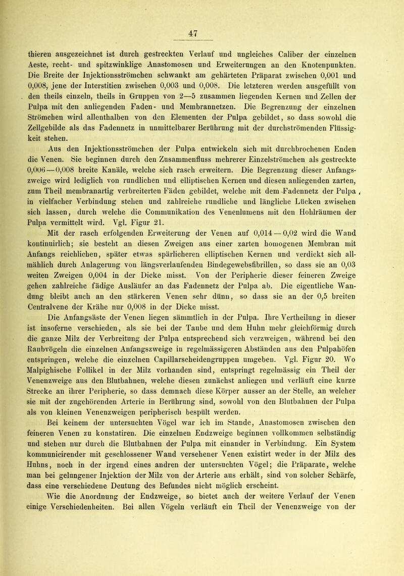 thieren ausgezeichnet ist durch gestreckten Verlauf und ungleiches Caliber der einzelnen Aeste, recht- und spitzwinklige Anastomosen und Erweiterungen an den Knotenpunkten. Die Breite der Injektionsströmchen schwankt am gehärteten Präparat zwischen 0,001 und 0,008, jene der Interstitien zwischen 0,003 und 0,008. Die letzteren werden ausgefüllt von den theils einzeln, theils in Gruppen von 2—5 zusammen liegenden Kernen und Zellen der Pulpa mit den anliegenden Faden- und Membrannetzen. Die Begrenzung der einzelnen Strömchen wird allenthalben von den Elementen der Pulpa gebildet, so dass sowohl die Zellgebilde als das Fadennetz in unmittelbarer Berührung mit der durchströmenden Flüssig- keit stehen. Aus den Injektionsströmchen der Pulpa entwickeln sich mit durchbrochenen Enden die Venen. Sie beginnen durch den Zusammenfluss mehrerer Einzelströmchen als gestreckte 0,006—0,008 breite Kanäle, welche sich rasch erweitern. Die Begrenzung dieser Anfangs- zweige wird lediglich von rundlichen und elliptischen Kernen und diesen anliegenden zarten, zum Theil membranartig verbreiterten Fäden gebildet, welche mit dem -Fadennetz der Pulpa , in vielfacher Verbindung stehen und zahlreiche rundliche und längliche Lücken zwischen sich lassen, durch welche die Communikation des Venenlumens mit den Hohlräumen der Pulpa vermittelt wird. Vgl. Figur 21. Mit der rasch erfolgenden Erweiterung der Venen auf 0,014 — 0,02 wird die Wand kontinuirlich; sie besteht an diesen Zweigen aus einer zarten homogenen Membran mit Anfangs reichlichen, später etwas spärlicheren elliptischen Kernen und verdickt sich all- mählich durch Anlagerung von längsverlaufenden Bindegewebsfibrillen, so dass sie an 0,03 weiten Zweigen 0,004 in der Dicke misst. Von der Peripherie dieser feineren Zweige gehen zahlreiche fädige Ausläufer an das Fadennetz der Pulpa ab. Die eigentliche Wan- dung bleibt auch an den stärkeren Venen sehr dünn, so dass sie an der 0,5 breiten Centralvene der Krähe nur 0,008 in der Dicke misst. Die Anfangsäste der Venen liegen sämmtlich in der Pulpa. Ihre Vertheilung in dieser ist insoferne verschieden, als sie bei der Taube und dem Huhn mehr gleichförmig durch die ganze Milz der Verbreitung der Pulpa entsprechend sich verzweigen, während bei den Raubvögeln die einzelnen Anfangszweige in regelmässigeren Abständen aus den Pulpahöfen entspringen, welche die einzelnen Capillarscheidengruppen umgeben. Vgl. Figur 20. Wo Malpighische Follikel in der Milz vorhanden sind, entspringt regelmässig ein Theil der Venenzweige aus den Blutbahnen, welche diesen zunächst anliegen und verläuft eine kurze Strecke an ihrer Peripherie, so dass demnach diese Körper ausser an der Stelle, an welcher sie mit der zugehörenden Arterie in Berührung sind, sowohl von den Blutbahnen der Pulpa als von kleinen Venenzweigen peripherisch bespült werden. Bei keinem der untersuchten Vögel Avar ich im Stande, Anastomosen zwischen den feineren Venen zu konstatiren. Die einzelnen Endzweige beginnen vollkommen selbständig und stehen nur durch die Blutbahnen der Pulpa mit einander in Verbindung. Ein System kommunicirender mit geschlossener Wand versehener Venen existirt weder in der Milz des Huhns, noch in der irgend eines andren der untersuchten Vögel; die Präparate, welche man bei gelungener Injektion der Milz von der Arterie aus erhält, sind von solcher Schärfe, dass eine verschiedene Deutung des Befundes nicht möglich erscheint. Wie die Anordnung der Endzweige, so bietet auch der weitere Verlauf der Venen einige Verschiedenheiten. Bei allen Vögeln verläuft ein Theil der Venenzweige von der