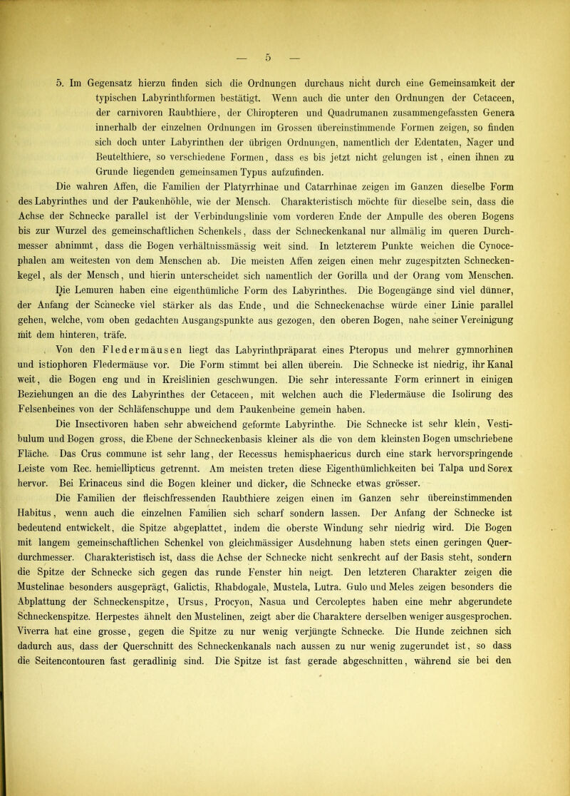 5. Im Gegensatz hierzu finden sich die Ordnungen durchaus nicht durch eine Gemeinsamkeit der typischen Labyrinthformen bestätigt. Wenn auch die unter den Ordnungen der Cetaceen, der carnivoren Raubthiere, der Chiropteren und Quadrumanen zusammengefassten Genera innerhalb der einzelnen Ordnungen im Grossen übereinstimmende Formen zeigen, so finden sich doch unter Labyrinthen der übrigen Ordnungen, namentlich der Edentaten, Nager und Beutelthiere, so verschiedene Formen, dass es bis jetzt nicht gelungen ist, einen ihnen zu Grunde liegenden gemeinsamen Typus aufzufinden. Die wahren Affen, die Familien der Platyrrhinae und Catarrhinae zeigen im Ganzen dieselbe Form des Labyrinthes und der Paukenhöhle, wie der Mensch. Charakteristisch möchte für dieselbe sein, dass die Achse der Schnecke parallel ist der Verbindungslinie vom vorderen Ende der Ampulle des oberen Bogens bis zur Wurzel des gemeinschaftlichen Schenkels, dass der Schneckenkanal nur allmälig im queren Durch- messer abnimmt, dass die Bogen verhältnissmässig weit sind. In letzterem Punkte weichen die Cynoce- phalen am weitesten von dem Menschen ab. Die meisten Affen zeigen einen mehr zugespitzten Schnecken- kegel, als der Mensch, und hierin unterscheidet sich namentlich der Gorilla und der Orang vom Menschen. Die Lemuren haben eine eigenthümliche Form des Labyrinthes. Die Bogengänge sind viel dünner, der Anfang der Schnecke viel stärker als das Ende, und die Schneckenachse würde einer Linie parallel gehen, welche, vom oben gedachten Ausgangspunkte aus gezogen, den oberen Bogen, nahe seiner Vereinigung mit dem hinteren, träfe. Von den Fledermäusen liegt das Labyrinthpräparat eines Pteropus und mehrer gymnorhinen und istiophoren Fledermäuse vor. Die Form stimmt bei allen überein. Die Schnecke ist niedrig, ihr Kanal weit, die Bogen eng und in Kreislinien geschwungen. Die sehr interessante Form erinnert in einigen Beziehungen an die des Labyrinthes der Cetaceen, mit welchen auch die Fledermäuse die Isolirung des Felsenbeines von der Schläfenschuppe und dem Paukenbeine gemein haben. Die Insectivoren haben sehr abweichend geformte Labyrinthe. Die Schnecke ist sehr klein, Vesti- bulum und Bogen gross, die Ebene der Schneckenbasis kleiner als die von dem kleinsten Bogen umschriebene Fläche. Das Crus commune ist sehr lang, der Recessus hemisphaericus durch eine stark hervorspringende Leiste vom Rec. hemiellipticus getrennt. Am meisten treten diese Eigenthiimlichkeiten bei Talpa und Sorex hervor. Bei Erinaceus sind die Bogen kleiner und dicker, die Schnecke etwas grösser. Die Familien der fleischfressenden Raubthiere zeigen einen im Ganzen sehr übereinstimmenden Habitus, wenn auch die einzelnen Familien sich scharf sondern lassen. Der Anfang der Schnecke ist bedeutend entwickelt, die Spitze abgeplattet, indem die oberste Windung sehr niedrig wird. Die Bogen mit langem gemeinschaftlichen Schenkel von gleichmässiger Ausdehnung haben stets einen geringen Quer- durchmesser. Charakteristisch ist, dass die Achse der Schnecke nicht senkrecht auf der Basis steht, sondern die Spitze der Schnecke sich gegen das runde Fenster hin neigt. Den letzteren Charakter zeigen die Mustelinae besonders ausgeprägt, Galictis, Rhabdogale, Mustela, Lutra. Gulo und Meies zeigen besonders die Abplattung der Schneckenspitze, Ursus, Procyon, Nasua und Cercoleptes haben eine mehr abgerundete Schneckenspitze. Herpestes ähnelt den Mustelinen, zeigt aber die Charaktere derselben weniger ausgesprochen. Viverra hat eine grosse, gegen die Spitze zu nur wenig verjüngte Schnecke. Die Hunde zeichnen sich dadurch aus, dass der Querschnitt des Schneckenkanals nach aussen zu nur wenig zugerundet ist, so dass die Seitencontouren fast geradlinig sind. Die Spitze ist fast gerade abgeschnitten, während sie bei den