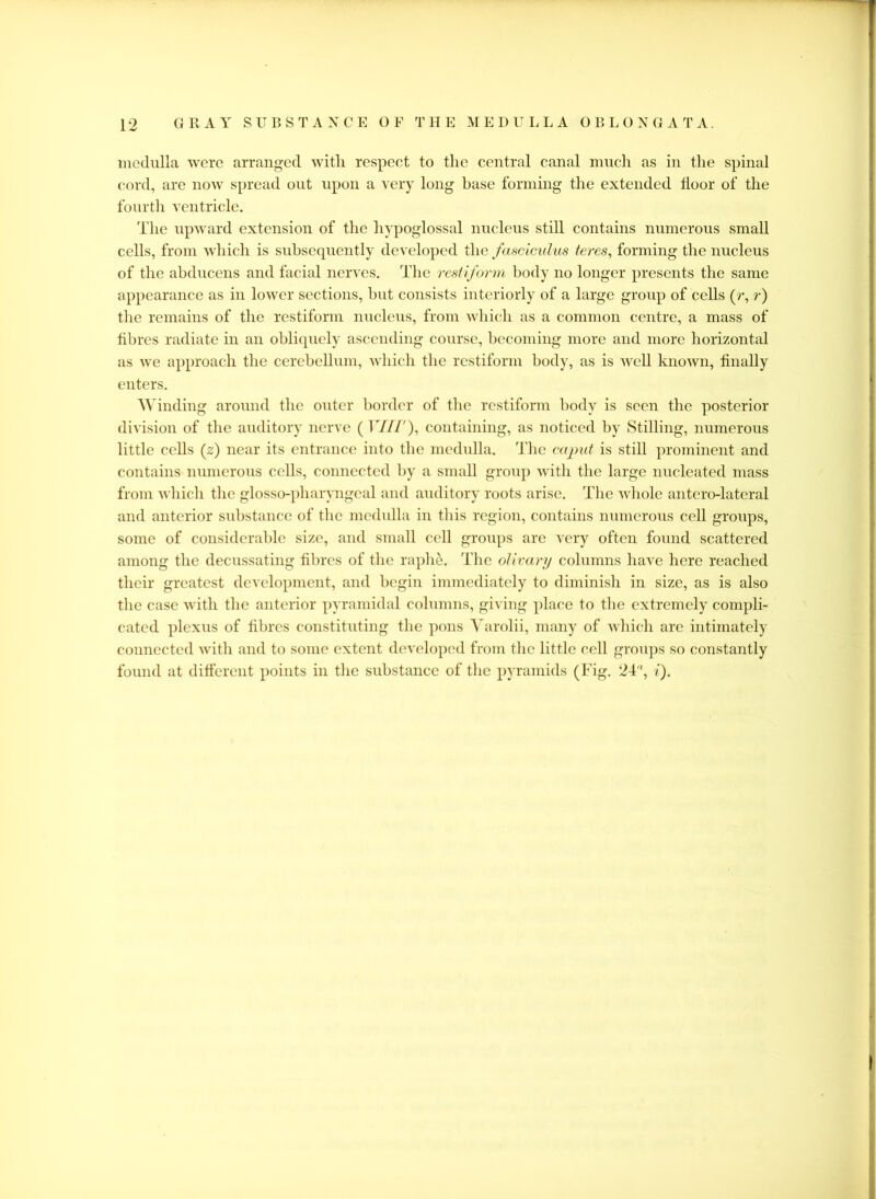 medulla were arranged with respect to the central canal much as in the spinal cord, are now spread out upon a very long base forming the extended door of the fourth ventricle. The upward extension of the hypoglossal nucleus still contains numerous small cells, from which is subsequently developed the fasciculus teres, forming the nucleus of the abducens and facial nerves. The resit form body no longer presents the same appearance as in lower sections, but consists interiorly of a large group of cells (r, r) the remains of the restiform nucleus, from which as a common centre, a mass of fibres radiate in an obliquely ascending course, becoming more and more horizontal as we approach the cerebellum, which the restiform body, as is well known, finally enters. Winding around the outer border of the restiform body is seen the posterior division of the auditory nerve (17//'), containing, as noticed by Stilling, numerous little cells (z) near its entrance into the medulla. The caput is still prominent and contains numerous cells, connected by a small group with the large nucleated mass from which the glosso-pharyngcal and auditory roots arise. The Avholc antero-lateral and anterior substance of the medulla in this region, contains numerous cell groups, some of considerable size, and small cell groups are very often found scattered among the decussating fibres of the raphe. The olivary columns have here reached their greatest development, and begin immediately to diminish in size, as is also the case with the anterior pyramidal columns, giving place to the extremely compli- cated plexus of fibres constituting the pons Varolii, many of which are intimately connected with and to some extent developed from the little cell groups so constantly found at different points in the substance of the pyramids (Fig. 24'*, i).