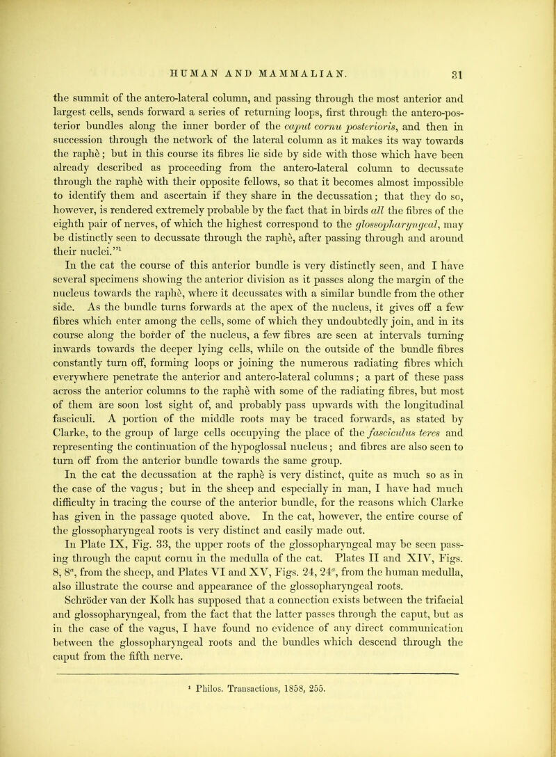 the summit of the antero-lateral column, and passing through the most anterior and largest cells, sends forward a series of returning loops, first through the antero-pos- terior bundles along the inner border of the caput cornu posterioris, and then in succession through the network of the lateral column as it makes its way towards the raphe; but in this course its fibres lie side by side with those which have been already described as proceeding from the antero-lateral column to decussate through the raphe with their opposite fellows, so that it becomes almost impossible to identify them and ascertain if they share in the decussation; that they do so, however, is rendered extremely probable by the fact that in birds all the fibres of the eighth pair of nerves, of which the highest correspond to the glossopharyngeal, may be distinctly seen to decussate through the raphe, after passing through and around their nuclei.”1 In the cat the course of this anterior bundle is very distinctly seen, and I have several specimens showing the anterior division as it passes along the margin of the nucleus towards the raphe, where it decussates with a similar bundle from the other side. As the bundle turns forwards at the apex of the nucleus, it gives off a few fibres which enter among the cells, some of which they undoubtedly join, and in its course along the border of the nucleus, a few fibres are seen at intervals turning inwards towards the deeper lying cells, while on the outside of the bundle fibres constantly turn off, forming loops or joining the numerous radiating fibres which everywhere penetrate the anterior and antero-lateral columns; a part of these pass across the anterior columns to the raphe with some of the radiating fibres, but most of them are soon lost sight of, and probably pass upwards with the longitudinal fasciculi. A portion of the middle roots may be traced forwards, as stated by Clarke, to the group of large cells occupying the place of the fasciculus teres and representing the continuation of the hypoglossal nucleus; and fibres are also seen to turn off from the anterior bundle towards the same group. In the cat the decussation at the raphe is very distinct, quite as much so as in the case of the vagus; hut in the sheep and especially in man, I have had much difficulty in tracing the course of the anterior bundle, for the reasons which Clarke has given in the passage quoted above. In the cat, however, the entire course of the glossopharyngeal roots is very distinct and easily made out. In Plate IX, Fig. 33, the upper roots of the glossopharyngeal may be seen pass- ing through the caput cornu in the medulla of the cat. Plates II and XIV, Figs. 8, 8, from the sheep, and Plates VI and XV, Figs. 24, 24®, from the human medulla, also illustrate the course and appearance of the glossopharyngeal roots. Schroder van der Kolk has supposed that a connection exists between the trifacial and glossopharyngeal, from the fact that the latter passes through the caput, hut as in the case of the vagus, I have found no evidence of any direct communication between the glossopharyngeal roots and the bundles which descend through the caput from the fifth nerve.