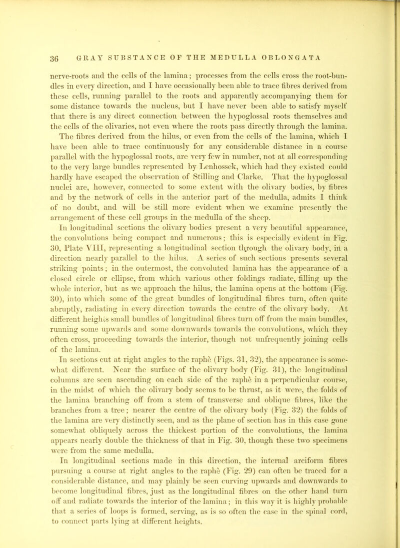 nerve-roots and the colls of the lamina; processes from the cells cross the root-bun- dles in every direction, and I have occasionally been able to trace fibres derived from these cells, running parallel to the roots and apparently accompanying them for some distance towards the nucleus, but I have never been able to satisfy myself that there is any direct connection between the hypoglossal roots themselves and the cells of the olivaries, not even where the roots pass directly through the lamina. The fibres derived from the hilus, or even from the cells of the lamina, which I have been able to trace continuously for any considerable distance in a course parallel with the hypoglossal roots, are very few in number, not at all corresponding to the very large bundles represented by Lenhossek, which had they existed could hardly have escaped the observation of Stilling and Clarke. That the hypoglossal nuclei are, however, connected to some extent with the olivary bodies, by fibres and by the network of cells in the anterior part of the medulla, admits I think of no doubt, and will be still more evident when we examine presently the arrangement of these cell groups in the medulla of the sheep. In longitudinal sections the olivary bodies present a very beautiful appearance, the convolutions being compact and numerous; this is especially evident in Fig. 30, Plate VIII, representing a longitudinal section through the olivary body, ill a direction nearly parallel to the hilus. A scries of such sections presents several striking points; in the outermost, the convoluted lamina has the appearance of a closed circle or ellipse, from which various other foldings radiate, filling up the whole interior, but as we approach the hilus, the lamina opens at the bottom (Fig. 30), into which some of the great bundles of longitudinal fibres turn, often quite abruptly, radiating in every direction towards the centre of the olivary body. At different heights small bundles of longitudinal fibres turn off from the main bundles, running some upwards and some downwards towards the convolutions, which they often cross, proceeding towards the interior, though not unfrequently joining cells of the lamina. In sections cut at right angles to the raphe (Figs. 31, 32), the appearance is some- what different. Near the surface of the olivary body (Fig. 31), the longitudinal columns are seen ascending on each side of the raphe in a perpendicular course, in the midst of which the olivary body seems to be thrust, as it were, the folds of the lamina branching off from a stem of transverse and oblique fibres, like the branches from a tree; nearer the centre of the olivary body (Fig. 32) the folds of the lamina are very distinctly seen, and as the plane of section has in this case gone somewhat obliquely across the thickest portion of the convolutions, the lamina appears nearly double the thickness of that in Fig. 30, though these two specimens were from the same medulla. In longitudinal sections made in this direction, the internal arciform fibres pursuing a course at right angles to the raphe (Fig. 29) can often be traced for a considerable distance, and may plainly be seen curving upwards and downwards to become longitudinal fibres, just as the longitudinal fibres on the other hand turn off and radiate towards the interior of the lamina; in this way it is highly probable that a series of loops is formed, serving, as is so often the case in the spinal cord, to connect parts lying at different heights.