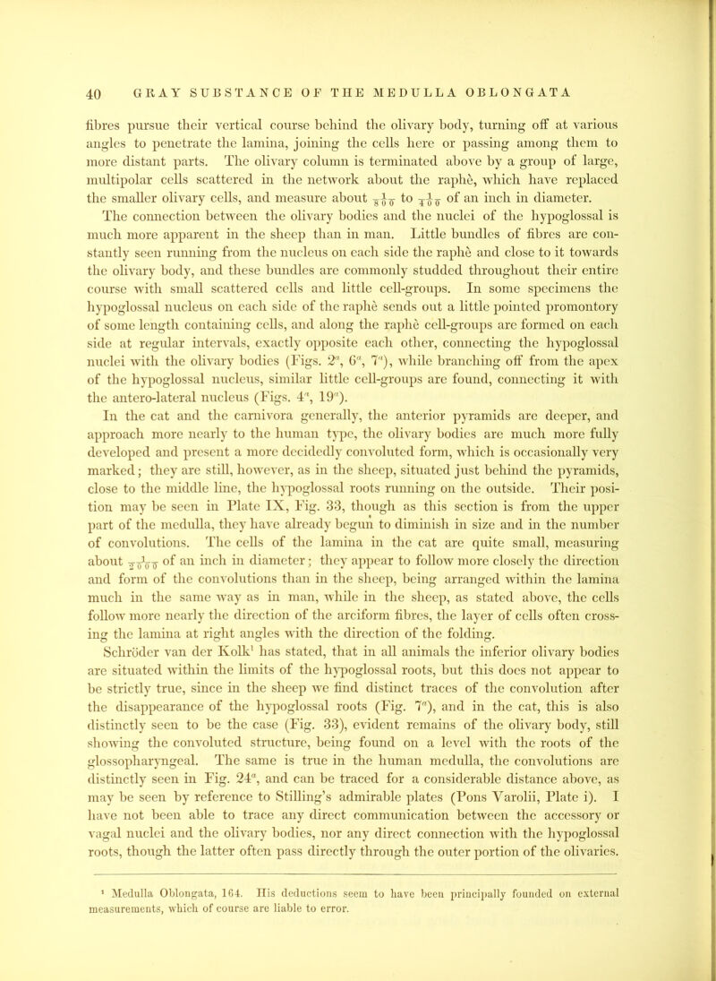fibres pursue their vertical course behind the olivary body, turning off at various angles to penetrate the lamina, joining the cells here or passing among them to more distant parts. The olivary column is terminated above by a group of large, multipolar cells scattered in the network about the raphe, which have replaced the smaller olivary cells, and measure about to ^ of an inch in diameter. The connection between the olivary bodies and the nuclei of the hypoglossal is much more apparent in the sheep than in man. Little bundles of fibres are con- stantly seen running from the nucleus on each side the raphe and close to it towards the olivary body, and these bundles are commonly studded throughout their entire course with small scattered cells and little cell-groups. In some specimens the hypoglossal nucleus on each side of the raphe sends out a little pointed promontory of some length containing cells, and along the raphe cell-groups are formed on each side at regular intervals, exactly opposite each other, connecting the hypoglossal nuclei with the olivary bodies (Tigs. 2% 6% 7), while branching off' from the apex of the hypoglossal nucleus, similar little cell-groups are found, connecting it with the antero-lateral nucleus (Figs. 4'*, 19°). In the cat and the carnivora generally, the anterior pyramids are deeper, and approach more nearly to the human type, the olivary bodies are much more fully developed and present a more decidedly convoluted form, which is occasionally very marked; they are still, however, as in the sheep, situated just behind the pyramids, close to the middle line, the hypoglossal roots running on the outside. Their posi- tion may be seen in Plate IX, Fig. 33, though as this section is from the upper part of the medulla, they have already begun to diminish in size and in the number of convolutions. The cells of the lamina in the cat are quite small, measuring about -gVoT °f an inch in diameter; they appear to follow more closely the direction and form of the convolutions than in the sheep, being arranged within the lamina much in the same way as in man, while in the sheep, as stated above, the cells follow more nearly the direction of the arciform fibres, the layer of cells often cross- ing the lamina at right angles with the direction of the folding. Schroder van der Kolk1 has stated, that in all animals the inferior olivary bodies are situated within the limits of the hypoglossal roots, but this docs not appear to be strictly true, since in the sheep we find distinct traces of the convolution after the disappearance of the hypoglossal roots (Fig. 7), and in the cat, this is also distinctly seen to be the case (Fig. 33), evident remains of the olivary body, still shoAving the convoluted structure, being found on a level Avith the roots of the glossopharyngeal. The same is true in the human medulla, the convolutions are distinctly seen in Fig. 24% and can be traced for a considerable distance above, as may be seen by reference to Stilling’s admirable plates (Pons Varolii, Plate i). I have not been able to trace any direct communication between the accessory or ATagal nuclei and the olivary bodies, nor any direct connection Avith the hypoglossal roots, though the latter often pass directly through the outer portion of the olivaries. 1 Medulla Oblongata, 164. His deductions seem to have been principally founded on external measurements, which of course are liable to error.