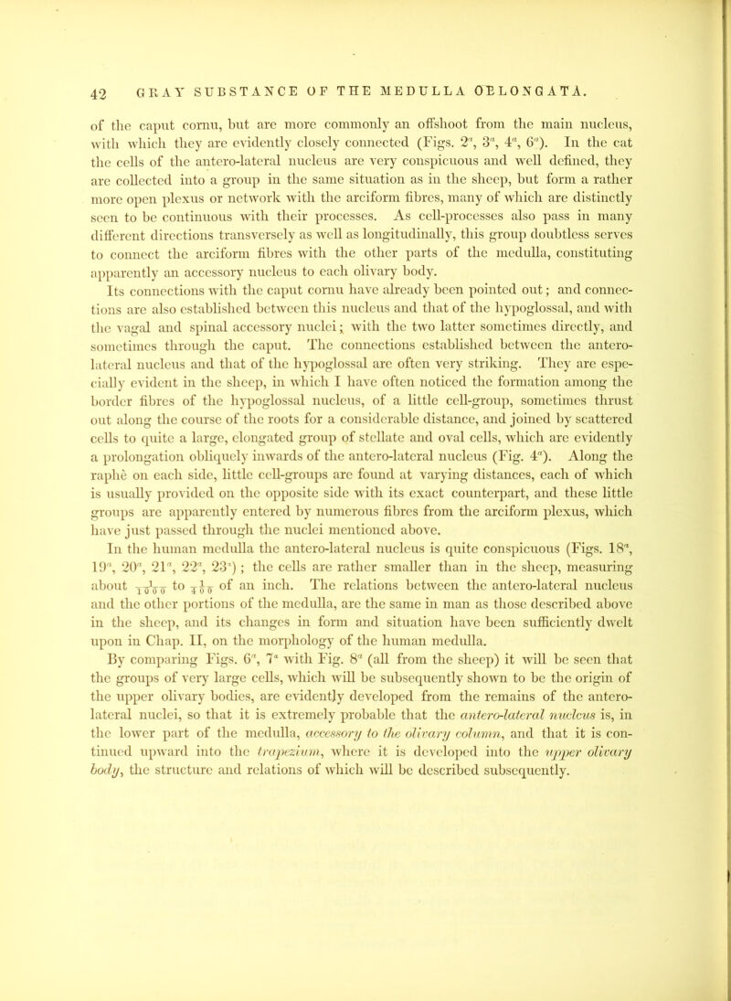 of the caput cornu, but are more commonly an offshoot from the main nucleus, with which they are evidently closely connected (Figs. 2% 3, 4, 6). In the cat the cells of the antero-lateral nucleus are very conspicuous and well defined, they are collected into a group in the same situation as in the sheep, but form a rather more open plexus or network with the arciform fibres, many of which are distinctly seen to be continuous with their processes. As cell-processes also pass in many different directions transversely as well as longitudinally, this group doubtless serves to connect the arciform fibres with the other parts of the medulla, constituting apparently an accessory nucleus to each olivary body. Its connections with the caput cornu have already been pointed out; and connec- tions are also established between this nucleus and that of the hypoglossal, and with the vagal and spinal accessory nuclei; with the two latter sometimes directly, and sometimes through the caput. The connections established between the antero- lateral nucleus and that of the hypoglossal are often very striking. They are espe- cially evident in the sheep, in which I have often noticed the formation among the border fibres of the hypoglossal nucleus, of a little cell-group, sometimes thrust out along the course of the roots for a considerable distance, and joined by scattered cells to quite a large, elongated group of stellate and oval cells, which are evidently a prolongation obliquely inwards of the antero-lateral nucleus (Fig. 4). Along the raphe on each side, little cell-groups are found at varying distances, each of which is usually provided on the opposite side with its exact counterpart, and these little groups are apparently entered by numerous fibres from the arciform plexus, which have just passed through the nuclei mentioned above. In the human medulla the antero-lateral nucleus is quite conspicuous (Figs. 18, 19, 20, 21, 22, 23) ; the cells are rather smaller than in the sheep, measuring about an inch. The relations between the antero-lateral nucleus and the other portions of the medulla, arc the same in man as those described above in the sheep, and its changes in form and situation have been sufficiently dwelt upon in Chap. II, on the morphology of the human medulla. By comparing Figs. 6, 7“ with Fig. 8 (all from the sheep) it will be seen that the groups of very large cells, which will be subsequently shown to be the origin of the upper olivary bodies, are evidently developed from the remains of the antero- lateral nuclei, so that it is extremely probable that the antero-lateral nucleus is, in the lower part of the medulla, accessory to the olivary column, and that it is con- tinued upward into the trapezium, where it is developed into the upper olivary body, the structure and relations of which will be described subsequently.