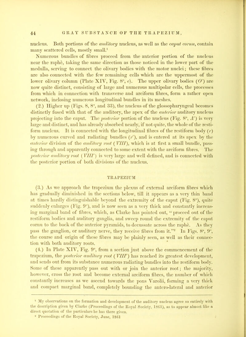 nucleus. Both portions of the auditory nucleus, as well as the caput cornu, contain many scattered cells, mostly small.1 Numerous bundles of fibres proceed from the anterior portion of the nucleus near the raphe, taking the same direction as those noticed in the lower part of the medulla, serving to connect the olivary bodies with the motor nuclei; these fibres are also connected Avith the feAv remaining cells which are the uppermost of the lo\\Ter olivary column (Plate XIY, Fig. 8, e). The upper olivary bodies (O') are noAV quite distinct, consisting of large and numerous multipolar cells, the processes from Avhich in connection with transverse and arciform fibres, form a rather open network, inclosing numerous longitudinal bundles in its meshes. (2.) Higher up (Figs. 8, 8'8, and 33), the nucleus of the glossopharyngeal becomes distinctly fused with that of the auditory, the apex of the anterior auditory nucleus projecting into the caput. The posterior portion of the nucleus (Fig. 8a, A') is very large and distinct, and has already absorbed nearly, if not quite, the Avhole of the resti- form nucleus. It is connected Avith the longitudinal fibres of the restifonn body (?•) by numerous curved and radiating bundles (/•'), and is entered at its apex by the anterior division of the auditory root (Tr///), Avhich is at first a small bundle, pass- ing through and apparently connected to some extent with the arciform fibres. The posterior auditory root [VIII') is very large and well defined, and is connected Avith the posterior portion of both divisions of the nucleus. TRAPEZIUM (3.) As we approach the trapezium the plexus of external arciform fibres Avhich has gradually diminished in the sections beloAV, till it appears as a very thin band at times hardly distinguishable beyond the extremity of the caput (Fig. 8), quite suddenly enlarges (Fig. 9), and is iioav seen as a very thick and constantly increas- ing marginal band of fibres, Avhich, as Clarke has pointed out, “ proceed out of the restifonn bodies and auditory ganglia, and sweep round the extremity of the caput cornu to the back of the anterior pyramids, to decussate across the raphe. As they pass the ganglion, or auditory nerve, they receNc fibres from it.”2 In Figs. 8“, 9, the course and origin of these fibres may be plainly seen, as Avell as their connec- tion with both auditory roots. (4.) In Plate XIV, Fig. 9, from a section just aboAre the commencement of the trapezium, the posterior auditory root [VIII') has reached its greatest development, and sends out from its substance numerous radiating bundles into the restifonn body. Some of these apparently pass out Avith or join the anterior root; the majority, however, cross the root and become external arciform fibres, the number of which constantly increases as Ave ascend toAvards the pons Varolii, forming a very thick and compact marginal band, completely bounding the antcro-lateral and anterior 1 My observations on the formation and development of the auditory nucleus agree so entirely with the description given by Clarke (Proceedings of the Royal Society, 18G1), as to appear almost like a direct quotation of the particulars he has there given. 2 Proceedings of the Royal Society, .Tune, 1801