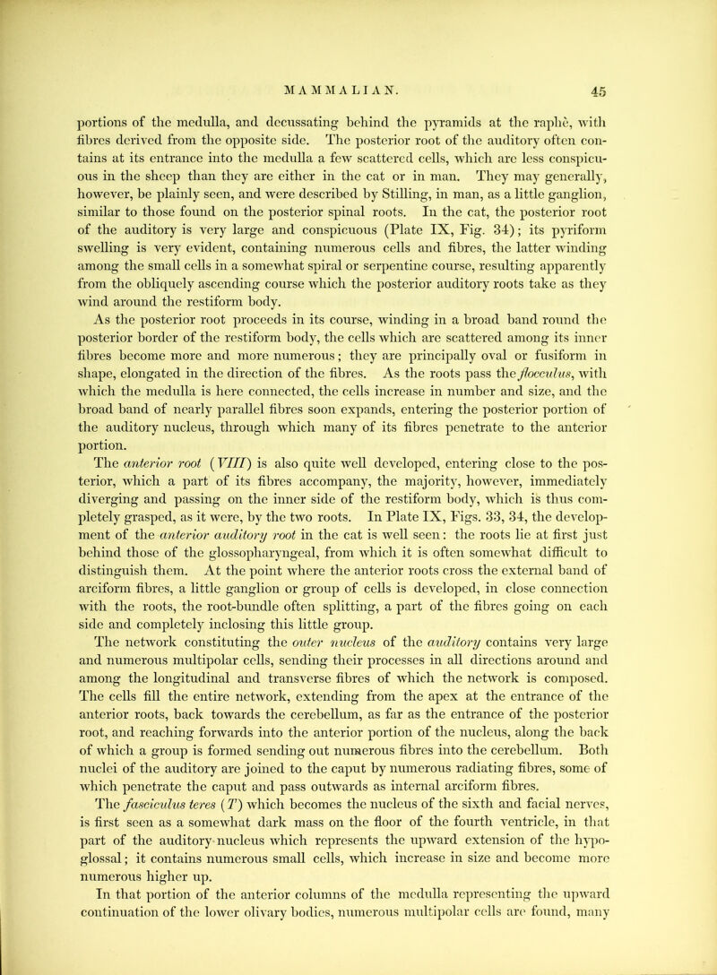 portions of the medulla, and decussating behind the pyramids at the raphe, with fibres derived from the opposite side. The posterior root of the auditory often con- tains at its entrance into the medulla a few scattered cells, which are less conspicu- ous in the sheep than they are either in the cat or in man. They may generally, however, be plainly seen, and were described by Stilling, in man, as a little ganglion, similar to those found on the posterior spinal roots. In the cat, the posterior root of the auditory is very large and conspicuous (Plate IX, Fig. 34); its pyriform swelling is very evident, containing numerous cells and fibres, the latter winding among the small cells in a somewhat spiral or serpentine course, resulting apparently from the obliquely ascending course which the posterior auditory roots take as they wind around the restiform body. As the posterior root proceeds in its course, winding in a broad band round the posterior border of the restiform body, the cells which are scattered among its inner fibres become more and more numerous; they are principally oval or fusiform in shape, elongated in the direction of the fibres. As the roots pass the flocculus, with which the medulla is here connected, the cells increase in number and size, and the broad band of nearly parallel fibres soon expands, entering the posterior portion of the auditory nucleus, through which many of its fibres penetrate to the anterior portion. The anterior root (VIII) is also quite well developed, entering close to the pos- terior, which a part of its fibres accompany, the majority, however, immediately diverging and passing on the inner side of the restiform body, which is thus com- pletely grasped, as it were, by the two roots. In Plate IX, Figs. 33, 34, the develop- ment of the anterior auditory root in the cat is well seen: the roots lie at first just behind those of the glossopharyngeal, from which it is often somewhat difficult to distinguish them. At the point where the anterior roots cross the external band of arciform fibres, a little ganglion or group of cells is developed, in close connection with the roots, the root-bundle often splitting, a part of the fibres going on each side and completely inclosing this little group. The network constituting the outer nucleus of the auditory contains very large and numerous multipolar cells, sending their processes in all directions around and among the longitudinal and transverse fibres of which the network is composed. The cells fill the entire network, extending from the apex at the entrance of the anterior roots, back towards the cerebellum, as far as the entrance of the posterior root, and reaching forwards into the anterior portion of the nucleus, along the back of which a group is formed sending out numerous fibres into the cerebellum. Both nuclei of the auditory are joined to the caput by numerous radiating fibres, some of which penetrate the caput and pass outwards as internal arciform fibres. The fasciculus teres (T) which becomes the nucleus of the sixth and facial nerves, is first seen as a somewhat dark mass on the floor of the fourth ventricle, in that part of the auditory nucleus which represents the upward extension of the hypo- glossal ; it contains numerous small cells, which increase in size and become more numerous higher up. In that portion of the anterior columns of the medulla representing the upward continuation of the lower olivary bodies, numerous multipolar cells are found, many