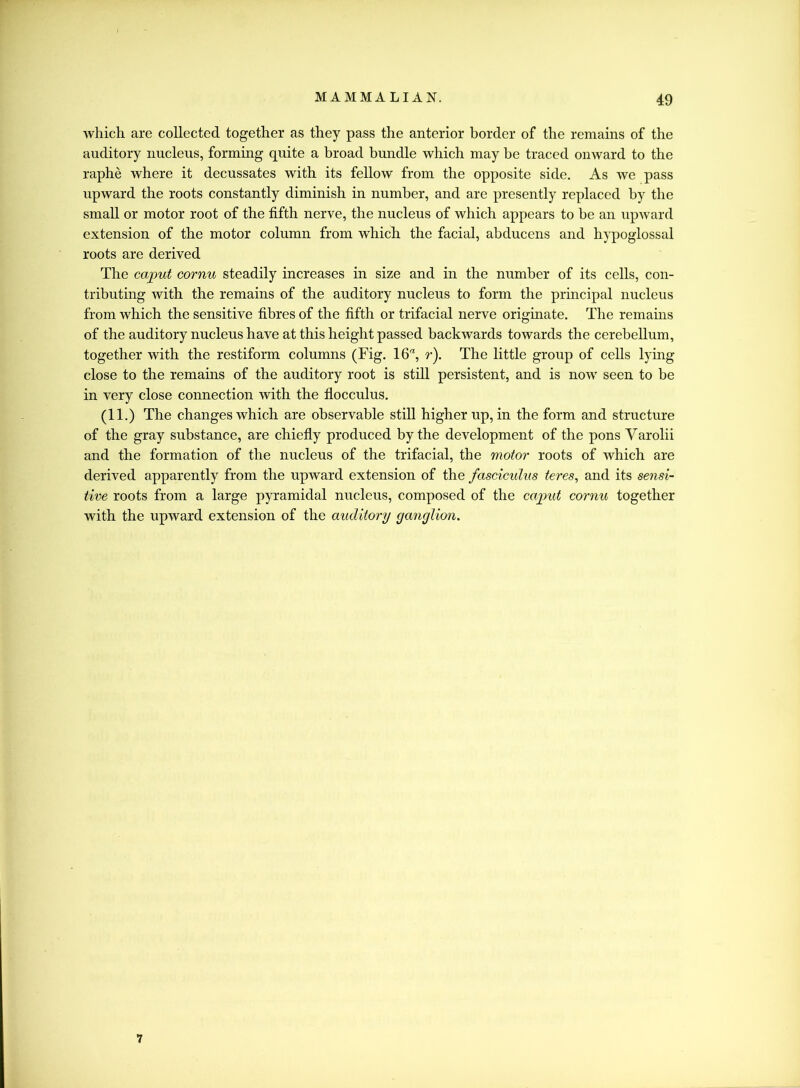 which are collected together as they pass the anterior border of the remains of the auditory nucleus, forming quite a broad bundle which may be traced onward to the raphe where it decussates with its fellow from the opposite side. As we pass upward the roots constantly diminish in number, and are presently replaced by the small or motor root of the fifth nerve, the nucleus of which appears to be an upward extension of the motor column from which the facial, abducens and hypoglossal roots are derived The caput cornu steadily increases in size and in the number of its cells, con- tributing with the remains of the auditory nucleus to form the principal nucleus from which the sensitive fibres of the fifth or trifacial nerve originate. The remains of the auditory nucleus have at this height passed backwards towards the cerebellum, together with the restiform columns (Fig. 16“, r). The little group of cells lying close to the remains of the auditory root is still persistent, and is now seen to be in very close connection with the flocculus. (11.) The changes which are observable still higher up, in the form and structure of the gray substance, are chiefly produced by the development of the pons Varolii and the formation of the nucleus of the trifacial, the motor roots of which are derived apparently from the upward extension of the fasciculus teres, and its sensi- tive roots from a large pyramidal nucleus, composed of the caput cornu together with the upward extension of the auditory ganglion. 7