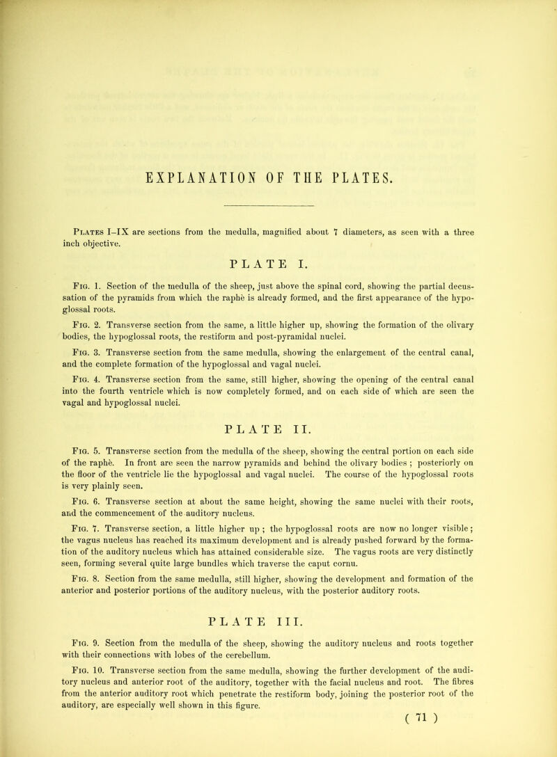 EXPLANATION OF THE PLATES. Plates I-IX are sections from the medulla, magnified about 1 diameters, as seen with a three inch objective. PLATE I. Fig. 1. Section of the medulla of the sheep, just above the spinal cord, showing the partial decus- sation of the pyramids from which the raphe is already formed, and the first appearance of the hypo- glossal roots. Fig. 2. Transverse section from the same, a little higher up, showing the formation of the olivary bodies, the hypoglossal roots, the restiform and post-pyramidal nuclei. Fig. 3. Transverse section from the same medulla, showing the enlargement of the central canal, and the complete formation of the hypoglossal and vagal nuclei. Fig. 4. Transverse section from the same, still higher, showing the opening of the central canal into the fourth ventricle which is now completely formed, and on each side of which are seen the vagal and hypoglossal nuclei. PLATE II. Fig. 5. Transverse section from the medulla of the sheep, showing the central portion on each side of the raphe. In front are seen the narrow pyramids and behind the olivary bodies ; posteriorly on the floor of the ventricle lie the hypoglossal and vagal nuclei. The course of the hypoglossal roots is very plainly seen. Fig. 6. Transverse section at about the same height, showing the same nuclei with their roots, and the commencement of the auditory nucleus. Fig. 7. Transverse section, a little higher up ; the hypoglossal roots are now no longer visible ; the vagus nucleus has reached its maximum development and is already pushed forward by the forma- tion of the auditory nucleus which has attained considerable size. The vagus roots are very distinctly seen, forming several quite large bundles which traverse the caput cornu. Fig. 8. Section from the same medulla, still higher, showing the development and formation of the anterior and posterior portions of the auditory nucleus, with the posterior auditory roots. PLATE III. Fig. 9. Section from the medulla of the sheep, showing the auditory nucleus and roots together with their connections with lobes of the cerebellum. Fig. 10. Transverse section from the same medulla, showing the further development of the audi- tory nucleus and anterior root of the auditory, together with the facial nucleus and root. The fibres from the anterior auditory root which penetrate the restiform body, joining the posterior root of the auditory, are especially well shown in this figure.