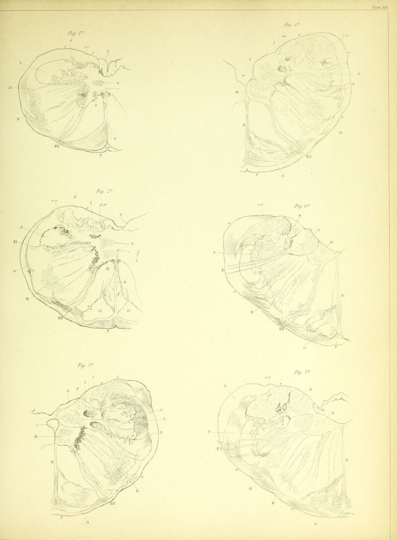 Mg. 2? Fig. 7 - Fig. 6?