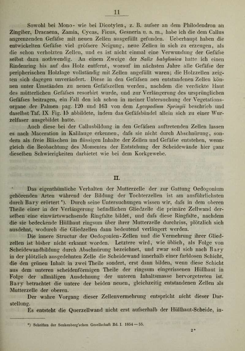 Sowohl bei Mono- wie bei Dicotylen, z. B. aufser an dem Philodendron an Zingiber, Dracaena, Zamia, Cycas, Ficus, Gesneria u. a. m., habe ich die dem Callus angrenzenden Gefäfse mit neuen Zellen ausgefüllt gefunden. Ueberliaupt haben die entwickelten Gefäfse viel gröfsere Neigung, neue Zellen in sich zu erzeugen, als die schon verholzten Zellen, und es ist nicht einmal eine Verwundung der Gefäfse selbst dazu nothwendig. An einem Zweige der Salix balnjlonica hatte ich einen Rindenring bis auf das Holz entfernt, worauf im nächsten Jahre alle Gefäfse der peripherischen Holzlage vollständig mit Zellen angefüllt waren; die Holzzellen zeig- ten sich dagegen unverändert. Diese in den Gefäfsen neu entstandenen Zellen kön- nen unter Umständen zu neuen Gefäfszellen werden, nachdem die verdickte Haut des mütterlichen Gefäfses resorbirt wurde, und zur Verlängerung des ursprünglichen Gefäfses beitragen, ein Fall den ich schon in meiner Untersuchung der Vegetations- organe der Palmen pag. 120 und 163 von dem Lycopodiim Springii beschrieb und daselbst Taf. IX Fig. 15 abbildete, indem das Gefäfsbündel allein sich zu einer Wur- zelfaser ausgebildet hatte. Auch diese bei der Callusbildung in den Gefäfsen auftretenden Zellen lassen es nach Maceration in Kalilauge erkennen, dafs sie nicht durch Abschnürung, son- dern als freie Bläschen im flüssigen Inhalte der Zellen und Gefäfse entstehen, wenn- gleich die Beobachtung des Momentes der Entstehung der Scheidewände hier ganz dieselben Schwierigkeiten darbietet wie bei dem Korkgewebe. n. Das eigenthümliche Verhalten der Mutterzelle der zur Gattung Oedogonium gehörenden Arten während der Bildung der Tochterzellen ist am ausführlichsten durch Barv erörtert *). Durch seine Untersuchungen wissen wir, dafs in dem oberen Theile einer in der Verlängerung befindlichen Gliedzelle die primäre Zellwand der- selben eine einwärtswachsende Ringfalte bildet, und dafs diese Ringfalte, nachdem die sie bedeckende Hüllhaut ringsum über ihrer Mutterzelle durchriss, plötzlich sich ausdehnt, wodurch die Gliedzellen dann bedeutend verlängert werden. Die innere Structur der Oedogonien-Zellen und die Vermehrung ihrer Glied- zellen ist bisher nicht erkannt worden. Letztere wird, wie üblich, als Folge von Scheidewandbilduug durch Abschnürung bezeichnet, und zwar soll sich nach Bary in der plötzlich ausgedehnten Zelle die Scheidewand innerhalb einer farblosen Schicht, die den grünen Inhalt in zwei Theile sondert, erst dann bilden, wenn diese Schicht aus dem unteren scheidenförmigen Theile der ringsum eingerissenen Hüllhaut in Folge der allmäligen Ausdehnung der unteren Inhaltsmasse hervorgetreten ist. Bary betrachtet die untere der beiden neuen, gleichzeitig entstandenen Zellen als Mutterzelle der oberen. Der wahre Vorgang dieser Zellenvermehrung entspricht nicht dieser Dar- stellung. Es entsteht die Querzellwand nicht erst aufserhalb der Hiillhaut-Scheide, in- ') Schriften der Senkenberg’schen Gesellschaft Bd. I. 1854— 55. 2*