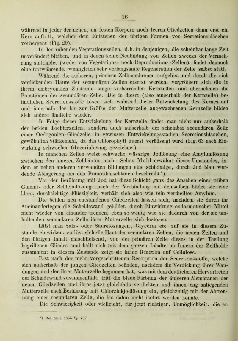 während in jeder der neuen, an festen Körpern noch leeren Gliedzellen dann erst ein Kern auftritt, welcher dem Entstehen der übrigen Formen von Secretionsbläschen vorhergeht (Fig. 29). In den ruhenden Vegetationszellen, d. h. in denjenigen, die scheinbar lange Zeit unverändert bleiben, und in denen keine Neubildung von Zellen zwecks der Vermeh- rung stattfindet (weder von Vegetations- noch Reproductions-Zellen), findet dennoch eine fortwährende, wenngleich sehr verlangsamte Regeneration der Zelle selbst statt. Während die äufseren, primären Zellmembranen aufgelöst und durch die sich verdickenden Häute der secundären Zellen ersetzt werden, vergröfsern sich die in ihrem embryonalen Zustande lange verharrenden Kernzellen und übernehmen die Functionen der secundären Zelle. Die in dieser (also aufserhalb der Kernzelle) be- findlichen Secretionsstoffe lösen sich während dieser Entwickelung des Kernes auf und innerhalb der bis zur Gröfse der Mutterzelle angewachsenen Kernzelle bilden sich andere ähnliche wieder. In Folge dieser Entwickelung der Kernzelle findet man nicht nur aufserhalb der beiden Tochterzellen, sondern auch aufserhalb der scheinbar secundären Zelle einer Oedogonien-Gliedzelle in gewissen Entwickelungsstadien Secretionsbläschen, gewöhnlich Stärkemehl, da das Chlorophyll zuerst verflüssigt wird (Fig. 63 nach Ein- wirkung schwacher Glycerinlösung gezeichnet). In manchen Zellen weist schwache wässrige Jodlösung eine Amylumlösung zwischen den inneren Zellhäuten nach. Schon Mohl erwähnt dieses Umstandes, in- dem er neben anderen verwandten Bildungen eine schleimige, durch Jod blau wer- dende Ablagerung um den Primordialschlauch beschreibt*). Vor der Berührung mit Jod hat diese Schicht ganz das Ansehen einer trüben Gummi- oder Schleimlösung, nach der Verbindung mit demselben bildet sie eine klare, durchsichtige Flüssigkeit, verhält sich also wie fein verteiltes Amylum. Die beiden neu entstandenen Gliedzellen lassen sich, nachdem sie durch ihr Aneinanderlegen die Scheidewand gebildet, durch Einwirkung endosmotischer Mittel nicht wieder von einander trennen, eben so wenig wie sie dadurch von der sie um- hüllenden secundären Zelle ihrer Mutterzelle sich loslösen. Läfst man Salz- oder Säurelösungen, Glycerin etc. auf sie in diesem Zu- stande einwirken, so löst sich die Haut der secundären Zellen, die neuen Zellen und den übrigen Inhalt einschliefsend, von der primären Zelle dieses in der Theilung begriffenen Gliedes und ballt sich mit dem ganzen Inhalte im Innern der Zellhöhle zusammen; in diesem Zustande zeigt sie keine Reaction auf Cellulose. Erst nach der mehr vorgeschrittenen Resorption der Secretionsstoffe, welche sich aufserhalb der jungen Gliedzellen befinden, nachdem die Verdickung ihrer Wan- dungen und der ihrer Mutterzelle begonnen hat, was mit dem deutlicheren Hervortreten der Scheidewand zusammenfällt, tritt die blaue Färbung der äufseren Membranen der neuen Gliedzellen und ihrer jetzt gleichfalls verdickten und ihnen eng anliegenden Mutterzelle nach Berührung mit Chlorzinkjodlösung ein, gleichzeitig mit der Abtren- nung einer secundären Zelle, die bis dahin nicht isolirt werden konnte. Die Schwierigkeit oder vielleicht, für jetzt richtiger, Unmöglichkeit, die an