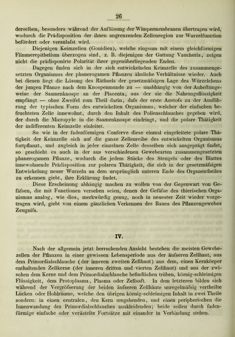 derselben, besonders während der Auflösung der Wimpermembranen übertragen wird, wodurch die Prädisposition der ihnen angrenzenden Zellenregion zur Wurzelfunction befördert oder veranlafst wird. Diejenigen Keimzellen (Gonidien), welche ringsum mit einem gleichförmigen Flimmerepithelium überzogen sind, z. B. diejenigen der Gattung Vaucheria, zeigen nicht die prädisponirte Polarität ihrer gegenüberliegenden Enden. Dagegen finden sich in der sich entwickelnden Keimzelle des zusammenge- setzten Organismus der phanerogamen Pflanzen ähnliche Verhältnisse wieder. Auch bei diesen liegt die Lösung des Räthsels der gesetzmäfsigen Lage des Würzelchens der jungen Pflanze nach dem Knospenmunde zu — unabhängig von der Anheftungs- weise der Saamenknospe an der Placenta, aus der sie die Nahrungsflüssigkeit empfängt — ohne Zweifel zum Theil darin, dafs der erste Anstofs zu der Ausfüh- rung der typischen Form des entwickelten Organismus, welcher der einfachen be- fruchteten Zelle innewohnt, durch den Inhalt des Pollenschlauches gegeben wird, der durch die Micropyle in die Saamenknospe eindringt, und die polare Thätigkeit der indifferenten Keimzelle einleitet. So wie in der fadenförmigen Conferve diese einmal eingeleitete polare Thä- tigkeit der Keimzelle sich auf die ganze Zellenreihe des entwickelten Organismus fortpflanzt, und zugleich in jeder einzelnen Zelle desselben sich ausgeprägt findet, so geschieht es auch in der aus verschiedenen Gewebearten zusammengesetzten phanerogamen Pflanze, wodurch die jedem Stücke des Stengels oder des Blattes innewohnende Prädisposition zur polaren Thätigkeit, die sich in der gesetzmäfsigen Entwickelung neuer Wurzeln an dem ursprünglich unteren Ende des Organentheiles zu erkennen giebt, ihre Erklärung findet. Diese Erscheinung abhängig machen zu wollen von der Gegenwart von Ge- fäfsen, die mit Functionen versehen seien, denen der Gefäfse des thierischen Orga- nismus analog, wie dies, merkwürdig genug, noch in neuester Zeit wieder vorge- tragen wird, giebt von einem gänzlichen Verkennen des Baues des Pflanzengewebes Zeugnifs. IV. Nach der allgemein jetzt herrschenden Ansicht bestehen die meisten Gewebe- zellen der Pflanzen in einer gewissen Lebensperiode aus der äufseren Zellhaut, aus dem Primordialschlauche (der inneren zweiten Zellhaut) aus dem, einen Kernkörper enthaltenden Zellkerne (der inneren dritten und vierten Zellhaut) und aus der zwi- schen dem Kerne und dem Primordialschlauche befindlichen trüben, körnig-schleimigen Flüssigkeit, dem Protoplasma, Plasma oder Zellsaft. In dem letzteren bilden sich während der Vergröfserung der beiden äufseren Zellhäute unregelmäfsig vertheilte Lücken oder Hohlräume, welche den übrigen körnig-schleimigen Inhalt in zwei Theile sondern: in einen centralen, den Kern umgebenden, und einen peripherischen die Innenwandung des Primordialschlauches auskleidenden; beide sollen durch faden- förmige einfache oder verästelte Fortsätze mit einander in Verbindung stehen.