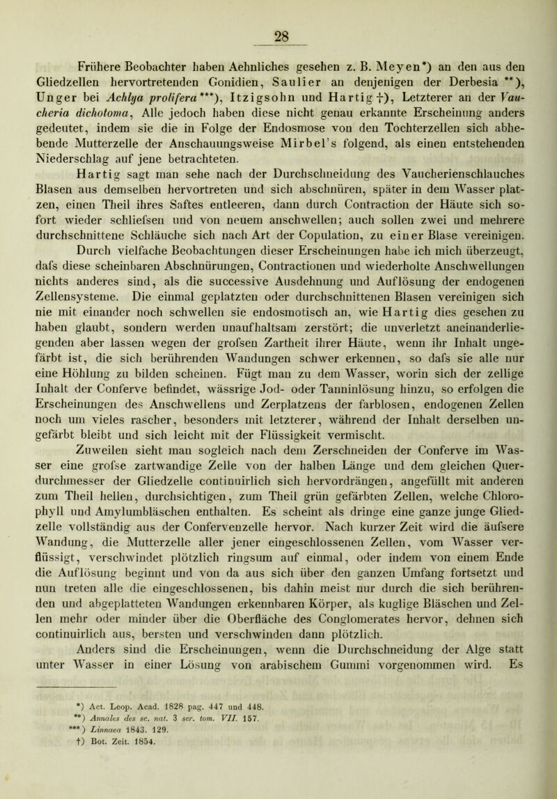 Frühere Beobachter haben Aehnliches gesehen z. B. Meyen*) an den aus den Gliedzellen hervortretenden Gonidien, Saulier an denjenigen der Derbesia **), Unger bei Achhja prolifera***), Itzigsohn und Hartigf), Letzterer an der Vau- cheria dichotoma, Alle jedoch haben diese nicht genau erkannte Erscheinung anders gedeutet, indem sie die in Folge der Endosmose von den Tochterzellen sich ablie- beude Mutterzelle der Anschauungsweise Mirbel’s folgend, als einen entstehenden Niederschlag auf jene betrachteten. Hartig sagt man sehe nach der Durchschneidung des Vaucherienschlauches Blasen aus demselben hervortreten und sich abschnüren, später in dem Wasser plat- zen, einen Theil ihres Saftes entleeren, dann durch Contraction der Häute sich so- fort wieder schliefsen und von neuem anschwellen; auch sollen zwei und mehrere durchschnittene Schläuche sich nach Art der Copulation, zu einer Blase vereinigen. Durch vielfache Beobachtungen dieser Erscheinungen habe ich mich überzeugt, dafs diese scheinbaren Abschnürungen, Contractionen und wiederholte Anschwellungen nichts anderes sind, als die successive Ausdehnung und Auflösung der endogenen Zellensysteme. Die einmal geplatzten oder durchschnittenen Blasen vereinigen sich nie mit einander noch schwellen sie endosmotisch an, wie Hartig dies gesehen zu haben glaubt, sondern werden unaufhaltsam zerstört; die unverletzt aneinanderlie- genden aber lassen wegen der grofseu Zartheit ihrer Häute, wenn ihr Inhalt unge- färbt ist, die sich berührenden Wandungen schwer erkennen, so dafs sie alle nur eine Höhlung zu bilden scheinen. Fügt mau zu dem Wasser, worin sich der zeitige Inhalt der Conferve befindet, wässrige Jod- oder Tanninlösung hinzu, so erfolgen die Erscheinungen des Anschwellens und Zerplatzens der farblosen, endogenen Zellen noch um vieles rascher, besonders mit letzterer, während der Inhalt derselben un- gefärbt bleibt und sich leicht mit der Flüssigkeit vermischt. Zuweilen sieht man sogleich nach dem Zerschneiden der Conferve im Was- ser eine grofse zartwandige Zelle von der halben Länge und dem gleichen Quer- durchmesser der Gliedzelle continuirlich sich hervordrängen, angefüllt mit anderen zum Theil hellen, durchsichtigen, zum Theil grün gefärbten Zellen, welche Chloro- phyll und Amylumbläschen enthalten. Es scheint als dringe eine ganze junge Glied- zelle vollständig aus der Confervenzelle hervor. Nach kurzer Zeit wird die äufsere Wandung, die Mutterzelle aller jener eingeschlossenen Zellen, vom Wasser ver- flüssigt, verschwindet plötzlich ringsum auf einmal, oder indem von einem Ende die Auflösung beginnt und von da aus sich über den ganzen Umfang fortsetzt und nun treten alle die eingeschlossenen, bis dahin meist nur durch die sich berühren- den und abgeplatteten Wandungen erkennbaren Körper, als kuglige Bläschen und Zel- len mehr oder minder über die Oberfläche des Conglomerates hervor, dehnen sich continuirlich aus, bersten und verschwinden dann plötzlich. Anders sind die Erscheinungen, wenn die Durchschneidung der Alge statt unter Wasser in einer Lösung von arabischem Gummi vorgenommen wird. Es *) Act. Leop. Acad. 1828 pag. 447 und 448. **) Annales des sc. nat. 3 ser. tom. VII. 157. ***) Linnaea 1843. 129. t) Bot. Zeit. 1854.