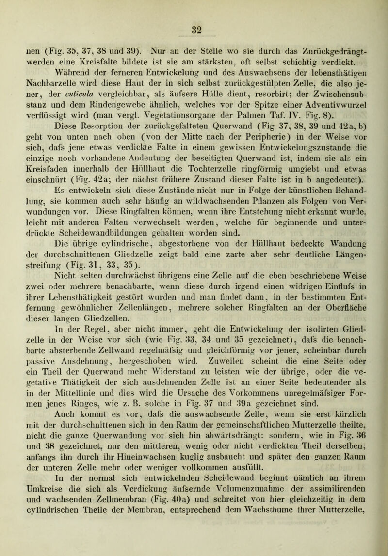 Den (Fig. 35, 37, 38 und 39). Nur au der Stelle wo sie durch das Zurückgedrängt- werden eine Kreisfalte bildete ist sie am stärksten, oft selbst schichtig verdickt. Während der ferneren Entwickelung und des Auswachsens der lebensthätigen Nachbarzelle wird diese Haut der in sich selbst zurückgestülpten Zelle, die also je- ner, der cuticula vergleichbar, als äufsere Hülle dient, resorbirt; der Zwischensub- stanz und dem Rindengewebe ähnlich, welches vor der Spitze einer Adventivwurzel verflüssigt wird (man vergl. Vegetationsorgane der Palmen Taf. IV. Fig. 8). Diese Resorption der znrückgefalteten Querwand (Fig. 37, 38, 39 und 42a, b) geht von unten nach oben (von der Mitte nach der Peripherie) in der Weise vor sich, dafs jene etwas verdickte Falte in einem gewissen Entwickelungszustande die einzige noch vorhandene Andeutung der beseitigten Querwand ist, indem sie als ein Kreisfaden innerhalb der Hüllhaut die Tochterzelle ringförmig umgiebt und etwas einschnürt (Fig. 42a; der nächst frühere Zustand dieser Falte ist in b angedeutet). Es entwickeln sich diese Zustände nicht nur in Folge der künstlichen Behand- lung, sie kommen auch sehr häufig an wildwachsenden Pflanzen als Folgen von Ver- wundungen vor. Diese Ringfalten können, wenn ihre Entstehung nicht erkannt wurde, leicht mit anderen Falten verwechselt werden, welche für beginnende und unter- drückte Scheidewandbildungen gehalten worden sind. Die übrige cylindrische, abgestorbene von der Hüllhaut bedeckte Wandung der durchschnittenen Gliedzelle zeigt bald eine zarte aber sehr deutliche Längen- streifung (Fig. 31, 33, 35). Nicht selten durchwächst übrigens eine Zelle auf die eben beschriebene Weise zwei oder mehrere benachbarte, wenn diese durch irgend einen widrigen Einflufs in ihrer Lebensthätigkeit gestört wurden und man findet daun, in der bestimmten Ent- fernung gewöhnlicher Zellenlängen, mehrere solcher Ringfalten an der Oberfläche dieser langen Gliedzellen. In der Regel, aber nicht immer, geht die Entwickelung der isolirten Glied- zelle in der Weise vor sich (wie Fig. 33, 34 und 35 gezeichnet), dafs die benach- barte absterbende Zellwand regelmäfsig und gleichförmig vor jener, scheinbar durch passive Ausdehnung, hergeschoben wird. Zuweilen scheint die eine Seite oder ein Theil der Querwand mehr Widerstand zu leisten wie der übrige, oder die ve- getative Thätigkeit der sich ausdehnenden Zelle ist an einer Seite bedeutender als in der Mittellinie und dies wird die Ursache des Vorkommens unregelmäfsiger For- men jenes Ringes, wie z. B. solche in Fig. 37 und 39a gezeichnet sind. Auch kommt es vor, dafs die auswachsende Zelle, wenn sie erst kürzlich mit der durchschnittenen sich in den Raum der gemeinschaftlichen Mutterzelle theilte, nicht die ganze Querwandung voi sich hin abwärtsdrängt: sondern, wie in Fig. 36 und 38 gezeichnet, nur den mittleren, wenig oder nicht verdickten Theil derselben; anfangs ihn durch ihr Hineinwachsen kuglig ausbaucht und später den ganzen Raum der unteren Zelle mehr oder weniger vollkommen ausfüllt. In der normal sich entwickelnden Scheidewand beginnt nämlich an ihrem Umkreise die sich als Verdickung äufsernde Volumenzunahme der assimilirenden und wachsenden Zellmembran (Fig. 40a) und schreitet von hier gleichzeitig in dem cylindrischen Theile der Membran, entsprechend dem Wachsthume ihrer Mutterzelle,