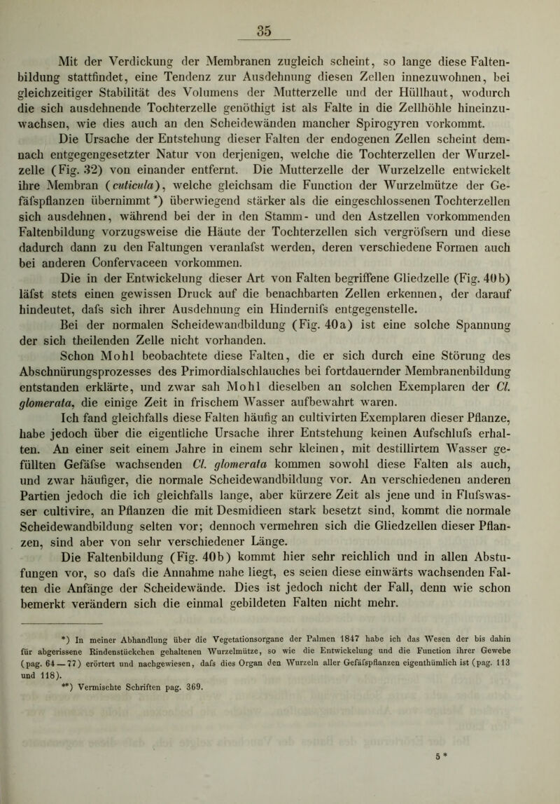 Mit der Verdickung der Membranen zugleich scheint, so lange diese Falten- bildung stattfindet, eine Tendenz zur Ausdehnung diesen Zellen innezuwohnen, bei gleichzeitiger Stabilität des Volumens der Mutterzelle und der Hüllhaut, wodurch die sich ausdehnende Tochterzelle genöthigt ist als Falte in die Zellhöhle hineinzu- wachsen, wie dies auch an den Scheidewänden mancher Spirogyren vorkommt. Die Ursache der Entstehung dieser Falten der endogenen Zellen scheint dem- nach entgegengesetzter Natur von derjenigen, welche die Tochterzellen der Wurzel- zelle (Fig. 32) von einander entfernt. Die Mutterzelle der Wurzelzelle entwickelt ihre Membran (cuticula), welche gleichsam die Function der Wurzelmütze der Ge- fäfspflanzen übernimmt * **)) überwiegend stärker als die eingeschlossenen Tochterzellen sich ausdelmen, während bei der in den Stamm- und den Astzellen vorkommenden Faltenbildung vorzugsweise die Häute der Tochterzellen sich vergröfsern und diese dadurch dann zu den Faltungen veranlafst werden, deren verschiedene Formen auch bei anderen Confervaceen Vorkommen. Die in der Entwickelung dieser Art von Falten begriffene Gliedzelle (Fig. 40b) läfst stets einen gewissen Druck auf die benachbarten Zellen erkennen, der darauf hindeutet, dafs sich ihrer Ausdehnung ein Hindernifs entgegenstelle. Bei der normalen Scheidewandbildung (Fig. 40a) ist eine solche Spannung der sich theilenden Zelle nicht vorhanden. Schon Mohl beobachtete diese Falten, die er sich durch eine Störung des Abschnürungsprozesses des Primordialschlauches bei fortdauernder Membranenbildung entstanden erklärte, und zwar sah Mohl dieselben an solchen Exemplaren der CI. glomerata, die einige Zeit in frischem Wasser aufbewahrt waren. Ich fand gleichfalls diese Falten häufig an cultivirten Exemplaren dieser Pflanze, habe jedoch über die eigentliche Ursache ihrer Entstehung keinen Aufschlufs erhal- ten. An einer seit einem Jahre in einem sehr kleinen, mit destillirtem Wasser ge- füllten Gefäfse wachsenden CI. glomerata kommen sowohl diese Falten als auch, und zwar häufiger, die normale Scheidewandbildung vor. An verschiedenen anderen Partien jedoch die ich gleichfalls lange, aber kürzere Zeit als jene und in Flufswas- ser cultivire, an Pflanzen die mit Desmidieen stark besetzt sind, kommt die normale Scheidewandbildung selten vor; dennoch vermehren sich die Gliedzellen dieser Pflan- zen, sind aber von sehr verschiedener Länge. Die Faltenbildung (Fig. 40b) kommt hier sehr reichlich und in allen Abstu- fungen vor, so dafs die Annahme nahe liegt, es seien diese einwärts wachsenden Fal- ten die Anfänge der Scheidewände. Dies ist jedoch nicht der Fall, denn wie schon bemerkt verändern sich die einmal gebildeten Falten nicht mehr. *) In meiner Abhandlung über die Vegetationsorgane der Palmen 1847 habe ich das Wesen der bis dahin für abgerissene Rindenstückchen gehaltenen Wurzelmütze, so wie die Entwickelung und die Function ihrer Gewebe (pag. 64 — 77) erörtert und nachgewiesen, dafs dies Organ den Wurzeln aller Gefäfspflanzen eigenthümlich ist (pag. 113 und 118). **) Vermischte Schriften pag. 369. 5