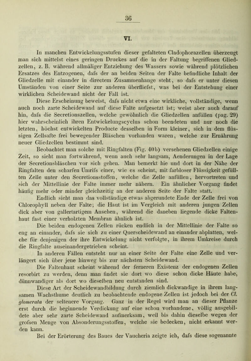 VI. In manchen Entwickelungsstufen dieser gefalteten Cladophorazellen überzeugt man sich mittelst eines geringen Druckes auf die in der Faltung begriffenen Glied- zellen, z. B. während allmäliger Entziehung des Wassers sowie während plötzlichen Ersatzes des Entzogenen, dafs der an beiden Seiten der Falte befindliche Inhalt der Gliedzelle mit einander in directem Zusammenhänge steht, so dafs er unter diesen Umständen von einer Seite zur anderen überfliefst, was bei der Entstehung einer wirklichen Scheidewand nicht der Fall ist. Diese Erscheinung beweist, dafs nicht etwa eine wirkliche, vollständige, wenn auch noch zarte Scheidewand auf diese Falte aufgesetzt ist; weist aber auch darauf hin, dafs die Secretionszellen, welche gewöhnlich die Gliedzellen anfüllen (pag. 29) hier wahrscheinlich ihren Entwickelungscyclus schon beendeten und nur noch die letzten, höchst entwickelten Producte desselben in Form kleiner, sich in dem flüs- sigen Zellsafte frei bewegender Bläschen vorhanden waren, welche zur Ernährung neuer Gliedzellen bestimmt sind. Beobachtet man solche mit Ringfalten (Fig. 40 b) versehenen Gliedzellen einige Zeit, so sieht man fortwährend, wenn auch sehr langsam, Aenderungen in der Lage der Secretionsbläschen vor sich gehen. Man bemerkt hie und dort in der Nähe der Ringfalten den scharfen Umrifs einer, wie es scheint, mit farbloser Flüssigkeit gefüll- ten Zelle unter den Secretionsstoffen, welche die Zelle anfüllen, hervortreten und sich der Mittellinie der Falte immer mehr nähern. Ein ähnlicher Vorgang findet häufig mehr oder minder gleichzeitig an der anderen Seite der Falte statt. Endlich sieht man das vollständige etwas abgerundete Ende der Zelle frei von Chlorophyll neben der Falte; die Haut ist im Vergleich mit anderen jungen Zellen dick aber von gallertartigem Ansehen, während die daneben liegende dicke Falten- haut fast einer verholzten Membran ähnlich ist. Die beiden endogenen Zellen rücken endlich in der Mittellinie der Falte so eng an einander, dafs sie sich zu einer Querscheidewand an einander abplatten, wel- che für denjenigen der ihre Entwickelung nicht verfolgte, in ihrem Umkreise durch die Ringfalte auseinandergetrieben scheint. In anderen Fällen entsteht nur an einer Seite der Falte eine Zelle und ver- längert sich über jene hinweg bis zur nächsten Scheidewand. Die Faltenhaut scheint während der ferneren Existenz der endogenen Zellen resorbirt zu werden, denn man findet sie dort wo diese schon dicke Häute habe, dünnwandiger als dort wo dieselben neu entstanden sind. Diese Art der Scheidewandbildung durch ziemlich dickwandige in ihrem lang- samen Wachsthume deutlich zu beobachtende endogene Zellen ist jedoch bei der CI. glomerata der seltenere Vorgang. Ganz in der Regel wird man an dieser Pflanze erst durch die beginnende Verdickung auf eine schon vorhandene, völlig ausgebil- dete aber sehr zarte Scheidewand aufmerksam, weil bis dahin dieselbe wegen der grofsen Menge von Absonderungsstoffen, welche sie bedecken, nicht erkannt wer- den kann. Bei der Erörterung des Baues der Vaucheria zeigte ich, dafs diese sogenannte