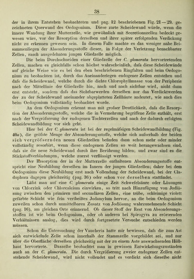der in ihrem Entstehen beobachteten und pag. 12 beschriebenen Fig. 21 — 29. ge- zeichneten Querwand des Oedogonium. Diese zarte Scheidewand würde, wenn die innere Wandung ihrer Mutterzelle, wie gewöhnlich mit Secretionszellen bedeckt ge- wesen wäre, vor der Resorption derselben und ihrer später erfolgenden Verdickung nicht zu erkennen gewesen sein. In diesem Falle machte es das weniger nahe Bei- sammenliegen der Absonderungsstoffe dieser, in Folge der Verletzung benachbarter Zellen, rasch ausgedehnten jungen Gliedzelle möglich. Die beim Durchschneiden einer Gliedzelle der C. glomerata hervortretenden Zellen, machen es gleichfalls schon höchst wahrscheinlich, dafs diese Scheidewände auf gleiche Weise wie es bei den eben beschriebenen Ringfalten und beim Oedogo- nium zu beobachten ist, durch das Aneinanderlegen endogener Zellen entstehen und dafs die Scheidewand, welche durch die dichte Chlorophyllmasse von der Peripherie nach der Mittellinie der Gliedzelle hin, nach und nach sichtbar wird, nicht dann erst entsteht, sondern dafs das Sichtbarwerden derselben nur das Verdicktwerden der zu der Scheidewand aneinander abgeplatteten Zellhäute andeutet, wie auch dies beim Oedogonium vollständig beobachtet wurde. An dem Oedogonium erkennt man mit grofser Deutlichkeit, dafs die Resorp- tion der Absonderungsstoffe, welche die in Vermehrung begriffene Zelle enthält, erst nach der Vergröfserung der endogenen Tochterzellen und nach der dadurch erfolgten Scheidewandbildung vor sich geht. Hier bei der C. glomerata ist bei der regelmäfsigen Scheidewandbildung (Fig. 40a), die gröfste Menge der Absonderungsstoffe, welche sich aufserhalb der beiden sich vergröfsernden neuen Gliedzellen befinden dann schon mehr oder minder vollständig resorbirt, wenn diese endogenen Zellen so weit herangewachsen sind, dafs sie die neue Scheidewand durch ihre Berührung bilden; und zwar sind es die Stickstoffverbindungen, welche zuerst verflüssigt werden. Der Resorption der in der Mutterzelle enthaltenen Absonderuugsstoffe ent- spricht eine Neubildung derselben im Innern der jungen Gliedzellen; daher bei dem Oedogonium diese Neubildung erst nach Vollendung der Scheidewand, bei der Cla- dophora dagegen gleichzeitig (pag. 36) oder schon vor derselben stattfindet. Läfst man auf eine C. glomerata einige Zeit Schwefelsäure oder Lösungen von Chlorzink oder Chlorcalcium einwirken, so tritt nach Hinzufügung von Jodlö- sung zwischen den primären und secundären Zellen, eine trübe, schleimige violett gefärbte Schicht wie fein vertheiltes Jodamylum hervor, an die beim Oedogonium zuweilen schon durch unmittelbaren Zusatz von Jodlösung wahrzunehmende Schicht (pag. 16), am gleichen Orte erinnernd. Ob dieser Stoff der Rest von Absonderungs- stoffen ist wie beim Oedogonium, oder ob anderen bei Spirogyra zu erörternden Verhältnissen analog, dies wird durch fortgesetzte Versuche entschieden werden müssen. Schon die Untersuchung der Vaucheria hatte mir bewiesen, dafs die zum Ast sich entwickelnde Zelle schon innerhalb der Stammzelle vorgebildet sei, und nur über die Oberfläche derselben gleichzeitig mit der zu einem Aste auswachsenden Hüll- haut hervortrete. Dasselbe beobachtet man in gewissen Entwickelungszuständen auch an der C. glomerata. Die durch Vergröfserung zweier endogener Zellen ent- stehende Scheidewand, wird nicht vollendet und es verdickt sich dieselbe nicht