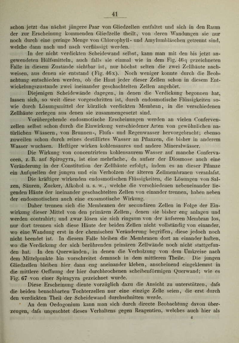 schon jetzt das nächst jüngere Paar von Gliedzellen entfaltet und sich in den Raum der zur Erscheinung kommenden Gliedzelle theilt, von deren Wandungen sie nur noch durch eine geringe Menge von Chlorophyll - und Amylumbläschen getrennt sind, welche dann nach und nach verflüssigt werden. In der nicht verdickten Scheidewand selbst, kann man mit den bis jetzt an- gewendeten Hülfsmitteln, auch falls sie einmal wie in dem Fig. 46 q gezeichneten Falle in diesem Zustande sichtbar ist, nur höchst selten die zwei Zellhäute nacli- weisen, aus denen sie entstand (Fig. 46x). Noch weniger konnte durch die Beob- achtung entschieden werden, ob die Haut jeder dieser Zellen schon in diesem Ent- wickelungszustande zwei ineinander geschachtelten Zellen angehört. Diejenigen Scheidewände dagegen, in denen die Verdickung begonnen hat, lassen sich, so weit diese vorgeschritten ist, durch endosmotische Flüssigkeiten so- wie durch Lösungsmittel der kürzlich verdickten Membran, in die verschiedenen Zellhäute zerlegen aus denen sie zusammengesetzt sind. Vorübergehende endosmotische Erscheinungen werden an vielen Conferven- zellen selbst schon durch die Einwirkung verschiedener Arten von gewöhnlichen na- türlichen Wässern, von Brunnen-, Flufs- und Regenwasser hervorgebracht; ebenso zuweilen schon durch reines destillirtes Wasser an Pflanzen, die bisher in anderem Wasser wuchsen. Heftiger wirken kohlensaures und andere Mineralwässer. Die Wirkung von concentrirtem kohlensaurem Wasser auf manche Conferva- ceen, z. B. auf Spirogyra, ist eine mehrfache, da aufser der Diosmose auch eine Veränderung in der Constitution der Zellhäute erfolgt, indem es an dieser Pflanze ein Aufquellen der jungen und ein Verholzen der älteren Zellmembranen veranlafst. Die kräftiger wirkenden endosmotischen Flüssigkeiten, die Lösungen von Sal- zen, Säuren, Zucker, Alkohol u. s. w., welche die verschiedenen nebeneinander lie- genden Häute der ineinander geschachtelten Zellen von einander trennen, haben neben der endosmotischen auch eiue exosmotische Wirkung. Daher trennen sich die Membranen der secimdären Zellen in Folge der Ein- wirkung dieser Mittel von den primären Zellen, denen sie bisher eng anlagen und werden contrahirt; und zwar lösen sie sich ringsum von der äufseren Membran los, nur dort trennen sich diese Häute der beiden Zellen nicht vollständig von einander, wo eine Wandung erst in der chemischen Veränderung begriffen, diese jedoch noch nicht beendet ist. In diesem Falle bleiben die Membranen dort an einander haften, wo die Verdickung der sich berührenden primären Zellwände noch nicht stattgefun- den hat. In den Querwänden, in denen die Verholzung von dem Umkreise nach dem Mittelpunkte hin vorschreitet demnach in dem mittleren Theile. Die jungen Gliedzellen bleiben hier dann eng aneinander kleben, anscheinend eingeklemmt in die mittlere Oeffnung der hier durchbrochenen scheibenförmigen Querwand; wie es Fig. 67 von einer Spiragyra gezeichnet wurde. Diese Erscheinung diente vorzüglich dazu die Ansicht zu unterstützen, dafs die beiden benachbarten Tochterzellen nur eine einzige Zelle seien, die erst durch den verdickten Tlieil der Scheidewand durchschnitten werde. An dem Oedogonium kann man sich durch directe Beobachtung davon über- zeugen, dafs ungeachtet dieses Verhaltens gegen Reagentien, welches auch hier als 6