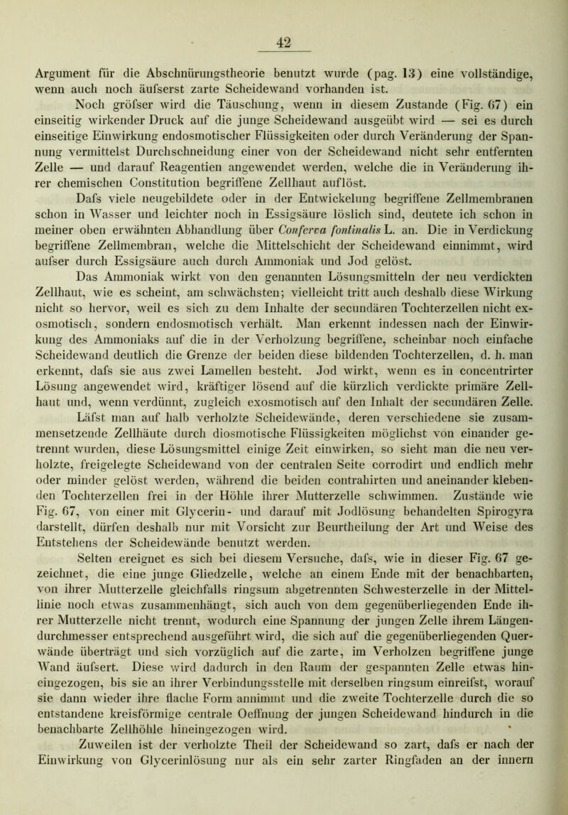 Argument für die Abschnürungstheorie benutzt wurde (pag. 13) eine vollständige, wenn auch noch äufserst zarte Scheidewand vorhanden ist. Noch gröfser wird die Täuschung, wenn in diesem Zustande (Fig. 67) ein einseitig wirkender Druck auf die junge Scheidewand ausgeübt wird — sei es durch einseitige Einwirkung endosmotischer Flüssigkeiten oder durch Veränderung der Span- nung vermittelst Durchschneidung einer von der Scheidewand nicht sehr entfernten Zelle — und darauf Reagentien angewendet werden, welche die in Veränderung ih- rer chemischen Constitution begriffene Zellhaut auflöst. Dafs viele neugebildete oder in der Entwickelung begriffene Zellmembranen schon in Wasser und leichter noch in Essigsäure löslich sind, deutete ich schon in meiner oben erwähnten Abhandlung über Conferva fontinalis L. an. Die in Verdickung begriffene Zellmembran, welche die Mittelschicht der Scheidewand einnimmt, wird aufser durch Essigsäure auch durch Ammoniak und Jod gelöst. Das Ammoniak wirkt von den genannten Lösungsmitteln der neu verdickten Zellhaut, wie es scheint, am schwächsten; vielleicht tritt auch deshalb diese Wirkung nicht so hervor, weil es sich zu dem Inhalte der secundären Tochterzellen nicht ex- osmotisch, sondern endosmotisch verhält. Man erkennt indessen nach der Einwir- kung des Ammoniaks auf die in der Verholzung begriffene, scheinbar noch einfache Scheidewand deutlich die Grenze der beiden diese bildenden Tochterzellen, d. h. man erkennt, dafs sie aus zwei Lamellen besteht. Jod wirkt, wenn es in concentrirter Lösung angewendet wird, kräftiger lösend auf die kürzlich verdickte primäre Zell- haut und, wenn verdünnt, zugleich exosmotisch auf den Inhalt der secundären Zelle. Läfst man auf halb verholzte Scheidewände, deren verschiedene sie zusam- mensetzende Zellhäute durch diosmotische Flüssigkeiten möglichst von einander ge- trennt wurden, diese Lösungsmittel einige Zeit einwirken, so sieht man die neu ver- holzte, freigelegte Scheidewand von der centralen Seite corrodirt und endlich mehr oder minder gelöst werden, während die beiden contrahirten und aneinander kleben- den Tochterzellen frei in der Höhle ihrer Mutterzelle schwimmen. Zustände wie Fig. 67, von einer mit Glycerin- und darauf mit Jodlösung behandelten Spirogyra darstellt, dürfen deshalb nur mit Vorsicht zur Beurtheilung der Art und Weise des Entstehens der Scheidewände benutzt werden. Selten ereignet es sich bei diesem Versuche, dafs, wie in dieser Fig. 67 ge- zeichnet, die eine junge Gliedzelle, welche an einem Ende mit der benachbarten, von ihrer Mutterzelle gleichfalls ringsum abgetrennten Schwesterzelle in der Mittel- linie noch etwas zusammenhängt, sich auch von dem gegenüberliegenden Ende ih- rer Mutterzelle nicht trennt, wodurch eine Spannung der jungen Zelle ihrem Längen- durchmesser entsprechend ausgeführt wird, die sich auf die gegenüberliegenden Quer- wände überträgt und sich vorzüglich auf die zarte, im Verholzen begriffene junge Wand äufsert. Diese wird dadurch in den Raum der gespannten Zelle etwas hin- eiugezogen, bis sie an ihrer Verbindungsstelle mit derselben ringsum einreifst, worauf sie dann wieder ihre flache Form annimmt und die zweite Tochterzelle durch die so entstandene kreisförmige centrale Oeffmmg der jungen Scheidewand hindurch in die benachbarte Zellhöhle hineingezogen wird. Zuweilen ist der verholzte Theil der Scheidewand so zart, dafs er nach der Einwirkung von Glycerinlösung nur als ein sehr zarter Ringfaden an der innern