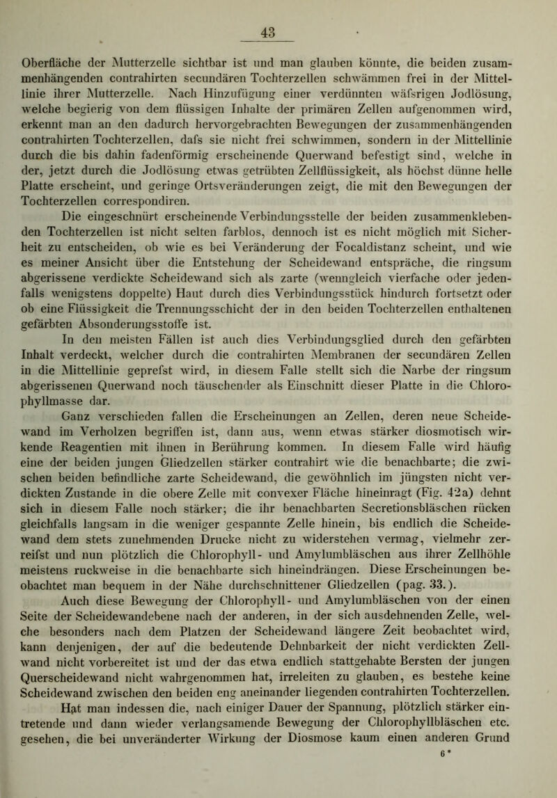 Oberfläche der Mutterzelle sichtbar ist und man glauben könnte, die beiden zusam- menhängenden contrahirten secundären Tochterzellen schwämmen frei in der Mittel- linie ihrer Mutterzelle. Nach Hinzufügung einer verdünnten wäfsrigeu Jodlösung, welche begierig von dem flüssigen Inhalte der primären Zellen aufgenommen wird, erkennt man an den dadurch hervorgebrachten Bewegungen der zusammenhängenden contrahirten Tochterzellen, dafs sie nicht frei schwimmen, sondern in der Mittellinie durch die bis dahin fadenförmig erscheinende Querwand befestigt sind, welche in der, jetzt durch die Jodlösung etwas getrübten Zellflüssigkeit, als höchst dünne helle Platte erscheint, und geringe Ortsveränderungen zeigt, die mit den Bewegungen der Tochterzellen correspondiren. Die eingeschnürt erscheinende Verbindungsstelle der beiden zusammenkleben- den Tochterzellen ist nicht selten farblos, dennoch ist es nicht möglich mit Sicher- heit zu entscheiden, ob wie es bei Veränderung der Focaldistanz scheint, und wie es meiner Ansicht über die Entstehung der Scheidewand entspräche, die ringsum abgerissene verdickte Scheidewand sich als zarte (wenngleich vierfache oder jeden- falls wenigstens doppelte) Haut durch dies Verbindungsstück hindurch fortsetzt oder ob eine Flüssigkeit die Trennuugsschicht der in den beiden Tochterzellen enthaltenen gefärbten Absonderungsstoffe ist. In den meisten Fällen ist auch dies Verbindungsglied durch den gefärbten Inhalt verdeckt, welcher durch die contrahirten Membranen der secundären Zellen in die Mittellinie geprefst wird, in diesem Falle stellt sich die Narbe der ringsum abgerissenen Querwand noch täuschender als Einschnitt dieser Platte in die Chloro- phyllmasse dar. Ganz verschieden fallen die Erscheinungen an Zellen, deren neue Scheide- wand im Verholzen begriffen ist, dann aus, wenn etwas stärker diosmotisch wir- kende Reagentien mit ihnen in Berührung kommen. In diesem Falle wird häufig eine der beiden jungen Gliedzellen stärker contrahirt wie die benachbarte; die zwi- schen beiden befindliche zarte Scheidewand, die gewöhnlich im jüngsten nicht ver- dickten Zustande in die obere Zelle mit convexer Fläche hineinragt (Fig. 42a) dehnt sich in diesem Falle noch stärker; die ihr benachbarten Secretionsbläschen rücken gleichfalls langsam in die weniger gespannte Zelle hinein, bis endlich die Scheide- wand dem stets zunehmenden Drucke nicht zu widerstehen vermag, vielmehr zer- reifst und nun plötzlich die Chlorophyll- und Amylumbläschen aus ihrer Zellhöhle meistens ruckweise in die benachbarte sich hineindrängen. Diese Erscheinungen be- obachtet man bequem in der Nähe durchschnittener Gliedzellen (pag. 33.). Auch diese Bewegung der Chlorophyll- und Amylumbläschen von der einen Seite der Scheidewandebene nach der anderen, in der sich ausdehnenden Zelle, wel- che besonders nach dem Platzen der Scheidewand längere Zeit beobachtet wird, kann denjenigen, der auf die bedeutende Dehnbarkeit der nicht verdickten Zell- wand nicht vorbereitet ist und der das etwa endlich stattgehabte Bersten der jungen Querscheidewand nicht wahrgenommen hat, irreleiten zu glauben, es bestehe keine Scheidewand zwischen den beiden eng aneinander liegenden contrahirten Tochterzellen. Hat man indessen die, nach einiger Dauer der Spannung, plötzlich stärker ein- tretende und dann wieder verlangsamende Bewegung der Chlorophyllbläschen etc. gesehen, die bei unveränderter Wirkung der Diosmose kaum einen anderen Grund 6*