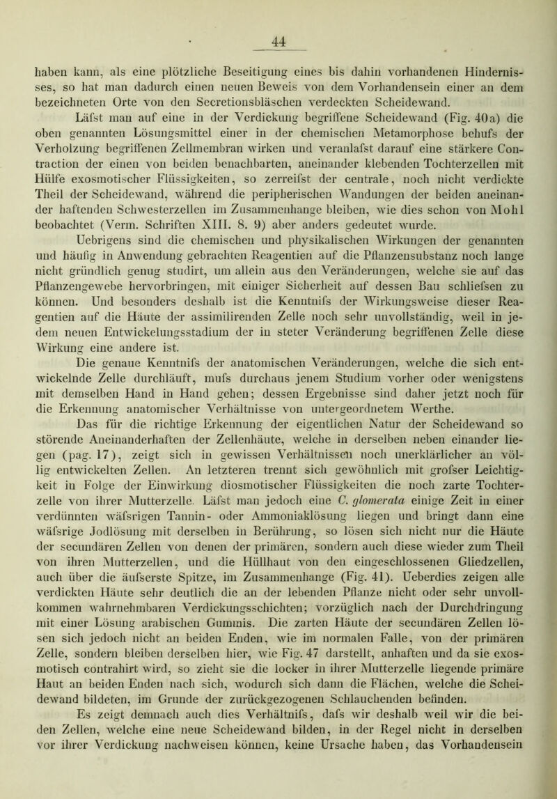 haben kann, als eine plötzliche Beseitigung eines bis dahin vorhandenen Hindernis- ses, so hat man dadurch einen neuen Beweis von dem Vorhandensein einer an dem bezeiclmeten Orte von den Secretionsbläschen verdeckten Scheidewand. Läfst man auf eine in der Verdickung begriffene Scheidewand (Fig. 40a) die oben genannten Lösungsmittel einer in der chemischen Metamorphose behufs der Verholzung begriffenen Zellmembran wirken und veranlafst darauf eine stärkere Con- traction der einen von beiden benachbarten, aneinander klebenden Tochterzellen mit Hülfe exosmotischer Flüssigkeiten, so zerreibst der centrale, noch nicht verdickte Theil der Scheidewand, während die peripherischen Wandungen der beiden aneinan- der haftenden Schwesterzellen im Zusammenhänge bleiben, wie dies schon von Mohl beobachtet (Venn. Schriften XIII. 8. 9) aber anders gedeutet wurde. Uebrigens sind die chemischen und physikalischen Wirkungen der genannten und häutig in Anwendung gebrachten Reagentien auf die Pflanzensubstanz noch lange nicht gründlich genug studirt, um allein aus den Veränderungen, welche sie auf das Pflanzengewebe hervorbringen, mit einiger Sicherheit auf dessen Bau scliliefsen zu können. Und besonders deshalb ist die Kenntnifs der Wirkungsweise dieser Rea- gentien auf die Häute der assimilirenden Zelle noch sehr unvollständig, weil in je- dem neuen Entwickelungsstadium der in steter Veränderung begriffenen Zelle diese Wirkung eine andere ist. Die genaue Kenntnifs der anatomischen Veränderungen, welche die sich ent- wickelnde Zelle durchläuft, mufs durchaus jenem Studium vorher oder wenigstens mit demselben Hand in Hand gehen; dessen Ergebnisse sind daher jetzt noch für die Erkennung anatomischer Verhältnisse von untergeordnetem Werthe. Das für die richtige Erkennung der eigentlichen Natur der Scheidewand so störende Aneinanderhaften der Zellenhäute, welche in derselben neben einander lie- gen (pag. 17), zeigt sich in gewissen Verhältnissen noch unerklärlicher au völ- lig entwickelten Zellen. An letzteren trennt sich gewöhnlich mit grofser Leichtig- keit in Folge der Einwirkung diosmotisclier Flüssigkeiten die noch zarte Tochter- zelle von ihrer Mutterzelle. Läfst man jedoch eine C. ylomerata einige Zeit in einer verdünnten wäfsrigen Tannin- oder Ammoniaklösung liegen und bringt dann eine wäfsrige Jodlösung mit derselben in Berührung, so lösen sich nicht nur die Häute der secundären Zellen von denen der primären, sondern auch diese wieder zum Theil von ihren Mutterzellen, und die Hüllhaut von den eingeschlossenen Gliedzellen, auch über die äufserste Spitze, im Zusammenhänge (Fig. 41). Ueberdies zeigen alle verdickten Häute sehr deutlich die an der lebenden Pflanze nicht oder sehr unvoll- kommen wahrnehmbaren Verdickungsschichten; vorzüglich nach der Durchdringung mit einer Lösung arabischen Gummis. Die zarten Häute der secundären Zellen lö- sen sich jedoch nicht an beiden Enden, wie im normalen Falle, von der primären Zelle, sondern bleiben derselben hier, wie Fig. 47 darstellt, anhaften und da sie exos- motisch contrahirt wird, so zieht sie die locker in ihrer Mutterzelle liegende primäre Haut an beiden Enden nach sich, wodurch sich dann die Flächen, welche die Schei- dewand bildeten, im Grunde der zurückgezogenen Schlauchenden beflnden. Es zeigt demnach auch dies Verhältnifs, dafs wir deshalb weil wir die bei- den Zellen, welche eine neue Scheidewand bilden, in der Regel nicht in derselben vor ihrer Verdickung nachweisen können, keine Ursache haben, das Vorhandensein