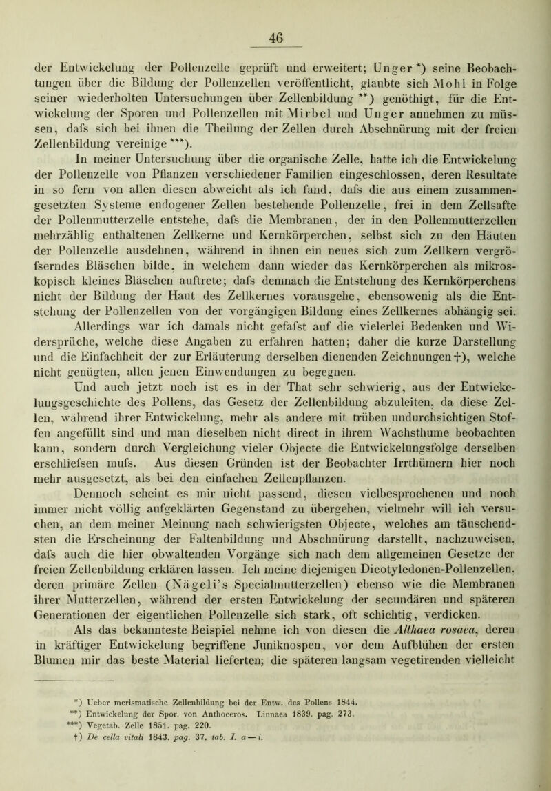 der Entwickelung der Pollenzelle geprüft und erweitert; Unger*) seine Beobach- tungen über die Bildung der Pollenzellen veröffentlicht, glaubte sich Mob 1 in Folge seiner wiederholten Untersuchungen über Zellenbildung **) genöthigt, für die Ent- wickelung der Sporen und Pollenzellen mitMirbel und Unger annehmen zu müs- sen, dafs sich bei ihnen die Theilnng der Zellen durch Abschnürung mit der freien Zellenbildung vereinige ***). In meiner Untersuchung über die organische Zelle, hatte ich die Entwickelung der Pollenzelle von Pflanzen verschiedener Familien eingeschlossen, deren Resultate in so fern von allen diesen abweicht als ich fand, dafs die aus einem zusammen- gesetzten Systeme endogener Zellen bestehende Pollenzelle, frei in dem Zellsafte der Pollenmutterzelle entstehe, dafs die Membranen, der in den Pollenmutterzellen mehrzählig enthaltenen Zellkerne und Kernkörperchen, selbst sich zu den Häuten der Polleuzelle ausdehnen, während in ihnen ein neues sich zum Zellkern vergrö- fserndes Bläschen bilde, in welchem dann wieder das Kernkörperchen als mikros- kopisch kleines Bläschen auftrete; dafs demnach die Entstehung des Kernkörperchens nicht der Bildung der Haut des Zellkernes vorausgehe, ebensowenig als die Ent- stehung der Pollenzellen von der vorgängigen Bildung eines Zellkernes abhängig sei. Allerdings war ich damals nicht gefafst auf die vielerlei Bedenken und Wi- dersprüche, welche diese Angaben zu erfahren hatten; daher die kurze Darstellung und die Einfachheit der zur Erläuterung derselben dienenden Zeichnungenf), welche nicht genügten, allen jenen Einwendungen zu begegnen. Und auch jetzt noch ist es in der That sehr schwierig, aus der Entwicke- lungsgeschichte des Pollens, das Gesetz der Zellenbildung abzuleiten, da diese Zel- len, während ihrer Entwickelung, mehr als andere mit trüben undurchsichtigen Stof- fen angefüllt sind und man dieselben nicht direct in ihrem Wachsthume beobachten kann, sondern durch Vergleichung vieler Objecte die Eutwickelungsfolge derselben erschliefsen mufs. Aus diesen Gründen ist der Beobachter Irrthümern hier noch mehr ausgesetzt, als bei den einfachen Zelienpflanzen. Dennoch scheint es mir nicht passend, diesen vielbesprochenen und noch immer nicht völlig aufgeklärten Gegenstand zu übergehen, vielmehr will ich versu- chen, an dem meiner Meinung nach schwierigsten Objecte, welches am täuschend- sten die Erscheinung der Faltenbildung und Abschnürung darstellt, nachzuweisen, dafs auch die hier obwaltenden Vorgänge sich nach dem allgemeinen Gesetze der freien Zellenbildung erklären lassen. Ich meine diejenigen Dicotyledonen-Pollenzellen, deren primäre Zellen (Nägeli’s Specialmutterzellen) ebenso wie die Membranen ihrer Mutterzellen, während der ersten Entwickelung der secundären und späteren Generationen der eigentlichen Pollenzelle sich stark, oft schichtig, verdicken. Als das bekannteste Beispiel nehme ich von diesen die Althaea rosaea, deren in kräftiger Entwickelung begriffene Juniknospen, vor dem Aufblühen der ersten Blumen mir das beste Material lieferten; die späteren langsam vegetirenden vielleicht *) Ueber merismatische Zellenbildung bei der Entw. des Pollens 1844. **) Entwickelung der Spor, von Antboceros. Linnaea 1S39. pag. 273. ***) Vegetab. Zelle 1851. pag. 220. t) De cella vilali 1843. paff. 37. tab. I. a — i.
