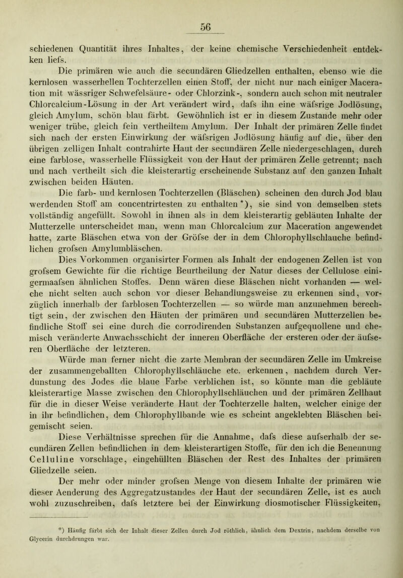schiedenen Quantität ihres Inhaltes, der keine chemische Verschiedenheit entdek- ken liefs. Die primären wie auch die secundären Gliedzellen enthalten, ebenso wie die kernlosen wasserhellen Tochterzellen einen Stoff, der nicht nur nach einiger Macera- tion mit wässriger Schwefelsäure- oder Chlorzink-, sondern auch schon mit neutraler Chlorcalcium-Lösung in der Art verändert wird, dafs ihn eine wäfsrige Jodlösung, gleich Amylum, schön blau färbt. Gewöhnlich ist er in diesem Zustande mehr oder weniger trübe, gleich fein vertheiltem Amylum. Der Inhalt der primären Zelle findet sich nach der ersten Einwirkung der wäfsrigen Jodlösung häufig auf die, über den übrigen zeiligeil Inhalt contrahirte Haut der secundären Zelle niedergeschlagen, durch eine farblose, wasserhelle Flüssigkeit von der Haut der primären Zelle getrennt; nach und nach vertheilt sich die kleisterartig erscheinende Substanz auf den ganzen Inhalt zwischen beiden Häuten. Die färb- und kernlosen Tochterzellen (Bläschen) scheinen den durch Jod blau werdenden Stoff am concentrirtesten zu enthalten*), sie sind von demselben stets vollständig angefüllt. Sowohl in ihnen als in dem kleisterartig gebläuten Inhalte der Mutterzelle unterscheidet man, wenn man Chlorcalcium zur Maceration angewendet hatte, zarte Bläschen etwa von der Gröfse der in dem Chlorophyllschlauche befind- lichen grofsen Amylumbläschen. Dies Vorkommen organisirter Formen als Inhalt der endogenen Zellen ist von grofsem Gewichte für die richtige Beurtheilung der Natur dieses der Cellulose eini- germaafsen ähnlichen Stoffes. Denn wären diese Bläschen nicht vorhanden — wel- che nicht selten auch schon vor dieser Behandlungsweise zu erkennen sind, vor- züglich innerhalb der farblosen Tochterzellen — so würde man anzunehmen berech- tigt sein, der zwischen den Häuten der primären und secundären Mutterzellen be- findliche Stoff sei eine durch die corrodirenden Substanzen aufgequollene und che- misch veränderte Anwachsschicht der inneren Oberfläche der ersteren oder der äufse- ren Oberfläche der letzteren. Würde man ferner nicht die zarte Membran der secundären Zelle im Umkreise der zusammengeballten Chlorophyllschläuche etc. erkennen, nachdem durch Ver- dunstung des Jodes die blaue Farbe verblichen ist, so könnte man die gebläute kleisterartige Masse zwischen den Chlorophyllschläuchen und der primären Zellhaut für die in dieser Weise veränderte Haut der Tochterzelle halten, welcher einige der in ihr befindlichen, dem Chlorophyllbande wie es scheint angeklebten Bläschen bei- gemischt seien. Diese Verhältnisse sprechen für die Annahme, dafs diese aufserhalb der se- cundären Zellen befindlichen in dem kleisterartigen Stoffe, für den ich die Benennung Celluline vorschlage, eingehüllten Bläschen der Rest des Inhaltes der primären Gliedzelle seien. Der mehr oder minder grofsen Menge von diesem Inhalte der primären wie dieser Aenderung des Aggregatzustandes der Haut der secundären Zelle, ist es auch wohl zuzuschreiben, dafs letztere bei der Einwirkung diosmotischer Flüssigkeiten, *) Hüufig färbt sich der Inhalt dieser Zellen durch Jod röthlich, ähnlich dem Dextrin, nachdem derselbe von Glycerin durchdrungen war.
