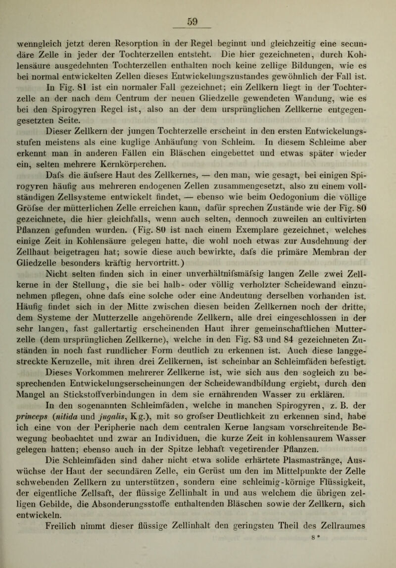 wenngleich jetzt deren Resorption in der Regel beginnt und gleichzeitig eine secun- däre Zelle in jeder der Tochterzellen entsteht. Die hier gezeichneten, durch Koh- lensäure ausgedehnten Tochterzellen enthalten noch keine zellige Bildungen, wie es bei normal entwickelten Zellen dieses Entwückelungszustandes gewöhnlich der Fall ist. In Fig. 81 ist ein normaler Fall gezeichnet; ein Zellkern liegt in der Tochter- zelle an der nach dem Centrum der neuen Gliedzelle gewendeten Wandung, wie es bei den Spirogyren Regel ist, also an der dem ursprünglichen Zellkerne entgegen- gesetzten Seite. Dieser Zellkern der jungen Tochterzelle erscheint in den ersten Entwickelungs- stufen meistens als eine kuglige Anhäufung von Schleim. In diesem Schleime aber erkennt man in anderen Fällen ein Bläschen eingebettet und etwas später wieder ein, selten mehrere Kernkörperchen. Dafs die äufsere Haut des Zellkernes, — den man, wie gesagt, bei einigen Spi- rogyren häufig aus mehreren endogenen Zellen zusammengesetzt, also zu einem voll- ständigen Zellsysteme entwickelt findet, — ebenso wie beim Oedogonium die völlige Gröfse der mütterlichen Zelle erreichen kann, dafür sprechen Zustände wie der Fig. 80 gezeichnete, die hier gleichfalls, wenn auch selten, dennoch zuweilen an cultivirten Pflanzen gefunden wurden. (Fig. 80 ist nach einem Exemplare gezeichnet, welches einige Zeit in Kohlensäure gelegen hatte, die wohl noch etwas zur Ausdehnung der Zellhaut beigetragen hat; sowie diese auch bewirkte, dafs die primäre Membran der Gliedzelle besonders kräftig hervortritt.) Nicht selten finden sich in einer unverhältnifsmäfsig langen Zelle zwei Zell- kerne in der Stellung, die sie bei halb- oder völlig verholzter Scheidewand einzu- nehmen pflegen, ohne dafs eine solche oder eine Andeutung derselben vorhanden ist. Häufig findet sich in der Mitte zwischen diesen beiden Zellkernen noch der dritte, dem Systeme der Mutterzelle angehörende Zellkern, alle drei eingeschlossen in der sehr langen, fast gallertartig erscheinenden Haut ihrer gemeinschaftlichen Mutter- zelle (dem ursprünglichen Zellkerne), welche in den Fig. 83 und 84 gezeichneten Zu- ständen in noch fast rundlicher Form deutlich zu erkennen ist. Auch diese langge- streckte Kernzelle, mit ihren drei Zellkernen, ist scheinbar an Schleimfäden befestigt. Dieses Vorkommen mehrerer Zellkerne ist, wie sich aus den sogleich zu be- sprechenden Entwickelungserscheinungen der Scheidewandbildung ergiebt, durch den Mangel an Stickstoffverbindungen in dem sie ernährenden Wasser zu erklären. In den sogenannten Schleimfäden, welche in manchen Spirogyren, z. B. der princeps (nitida und jugalis, Kg.), mit so grofser Deutlichkeit zu erkennen sind, habe ich eine von der Peripherie nach dem centralen Kerne langsam vorschreitende Be- wegung beobachtet und zwar an Individuen, die kurze Zeit in kohlensaurem Wasser gelegen hatten; ebenso auch in der Spitze lebhaft vegetirender Pflanzen. Die Schleimfäden sind daher nicht etwa solide erhärtete Plasmastränge, Aus- wüchse der Haut der secundären Zelle, ein Gerüst um den im Mittelpunkte der Zelle schwebenden Zellkern zu unterstützen, sondern eine schleimig-körnige Flüssigkeit, der eigentliche Zellsaft, der flüssige Zellinhalt in und aus welchem die übrigen zel- ligen Gebilde, die Absonderungsstoffe enthaltenden Bläschen sowie der Zellkern, sich entwickeln. Freilich nimmt dieser flüssige Zellinhalt den geringsten Theil des Zellraumes 8 *