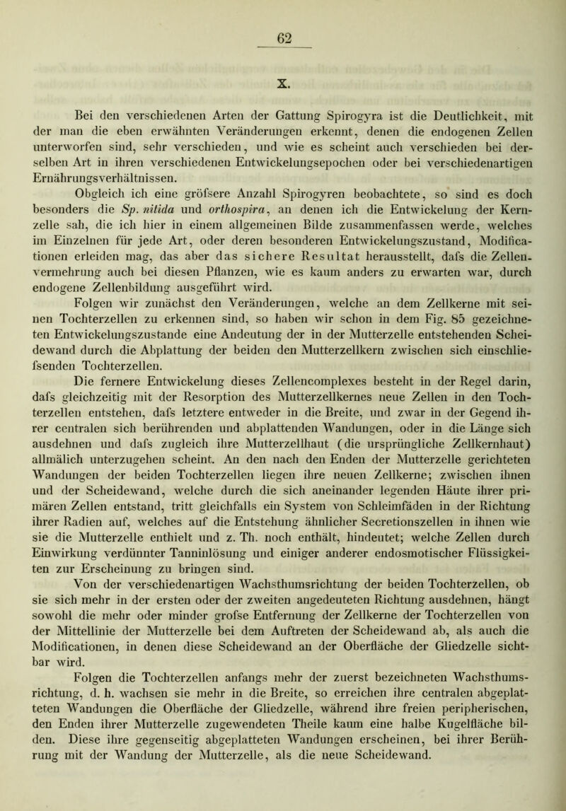 X. Bei den verschiedenen Arten der Gattung Spirogyra ist die Deutlichkeit, mit der man die eben erwähnten Veränderungen erkennt, denen die endogenen Zellen unterworfen sind, sehr verschieden, und wie es scheint auch verschieden bei der- selben Art in ihren verschiedenen Entwickeluugsepochen oder bei verschiedenartigen Ernährungsverhältnissen. Obgleich ich eine gröfsere Anzahl Spirogyren beobachtete, so sind es doch besonders die Sp. nitida und orthospira, an denen ich die Entwickelung der Kern- zelle sah, die ich hier in einem allgemeinen Bilde zusammenfassen werde, welches im Einzelnen für jede Art, oder deren besonderen Entwickelungszustand, Modifica- tionen erleiden mag, das aber das sichere Resultat herausstellt, dafs die Zellen- vermehrung auch bei diesen Pflanzen, wie es kaum anders zu erwarten war, durch endogene Zellenbildung ausgeführt wird. Folgen wir zunächst den Veränderungen, welche an dem Zellkerne mit sei- nen Tochterzellen zu erkennen sind, so haben wir schon in dem Fig. 85 gezeichne- ten Entwickelungszustande eine Andeutung der in der Mutterzelle entstehenden Schei- dewand durch die Abplattung der beiden den Mutterzellkern zwischen sich einschlie- fsenden Tochterzellen. Die fernere Entwickelung dieses Zellencomplexes besteht in der Regel darin, dafs gleichzeitig mit der Resorption des Mutterzellkernes neue Zellen in den Toch- terzellen entstehen, dafs letztere entweder in die Breite, und zwar in der Gegend ih- rer centralen sich berührenden und abplattenden Wandungen, oder in die Länge sich ausdehnen und dafs zugleich ihre Mutterzellhaut (die ursprüngliche Zellkernhaut) allmälich unterzugehen scheint. An den nach den Enden der Mutterzelle gerichteten Wandungen der beiden Tochterzellen liegen ihre neuen Zellkerne; zwischen ihnen und der Scheidewand, welche durch die sich aneinander legenden Häute ihrer pri- mären Zellen entstand, tritt gleichfalls ein System von Schleimfäden in der Richtung ihrer Radien auf, welches auf die Entstehung ähnlicher Secretionszellen in ihnen wie sie die Mutterzelle enthielt und z. Th. noch enthält, hindeutet; welche Zellen durch Einwirkung verdünnter Tanninlösung und einiger anderer endosmotischer Flüssigkei- ten zur Erscheinung zu bringen sind. Von der verschiedenartigen Wachsthumsrichtung der beiden Tochterzellen, ob sie sich mehr in der ersten oder der zweiten angedeuteten Richtung ausdehnen, hängt sowohl die mehr oder minder grofse Entfernung der Zellkerne der Tochterzellen von der Mittellinie der Mutterzelle bei dem Auftreten der Scheidewand ab, als auch die Modificationen, in denen diese Scheidewand an der Oberfläche der Gliedzelle sicht- bar wird. Folgen die Tochterzellen anfangs mehr der zuerst bezeichneteu Wachsthums- richtung, d. h. wachsen sie mehr in die Breite, so erreichen ihre centralen abgeplat- teten Wandungen die Oberfläche der Gliedzelle, während ihre freien peripherischen, den Enden ihrer Mutterzelle zugewendeten Theile kaum eine halbe Kugelfläche bil- den. Diese ihre gegenseitig abgeplatteten Wandungen erscheinen, bei ihrer Berüh- rung mit der Wandung der Mutterzelle, als die neue Scheidewand.